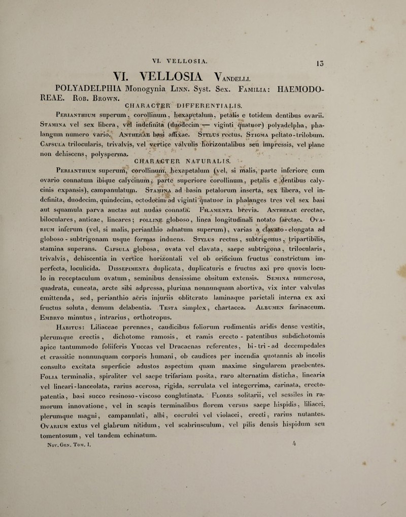 VI. VELLO SIA Vandelli. POLYADELPHIA Monogynia Linn. Syst. Sex. Familia: HAEMODO- REAE. Rob. Brown. CHARACTER DIFFERENTI ALIS. Perianthium superum, corollinum, liexapetalum, petalis e totidem dentibus ovarii. Stamina vel sex libera, vel indefinita (duodecim — viginti quatuor) polyadelpha, pha- langum numero vario. Antiierae basi affixae. Stylus rectus. Stigma peltato-trilobum. Capsula trilocularis, trivalvis, vel vertice valvulis horizontalibus seu impressis, vel plane non dehiscens, polysperma. CHARACTER NATURALTS. Perianthium superum, corollinum, hexapetalum (vel, si malis, parte inferiore cum ovario connatum ibique calycinum, parte superiore corollinum, petalis e dentibus caly- cinis expansis), campanulatum. Stamina ad basin petalorum inserta, sex libera, vel in¬ definita, duodecim, quindecim, octodecim ad viginti quatuor in phalanges tres vel sex basi aut squamula parva auctas aut nudas connata. Filamenta brevia. Antherae erectae, \ * biloculares, anticae, lineares; polline globoso, linea longitudinali notato farctae. Ova¬ rium inferum (vel, si malis, perianthio adnatum superum), varias a clavato - elongata ad globoso - subtrigonam usque formas induens. Stylus rectus , subtrigonus , tripartibilis, stamina superans. Capsula globosa, ovata vel clavata, saepe subtrigona, trilocularis, trivalvis, dehiscentia in vertice horizontali vel ob orificium fructus constrictum im¬ perfecta, loculicida. Dissepimenta duplicata, duplicaturis e fructus axi pro quovis locu¬ lo in receptaculum ovatum, seminibus densissime obsitum extensis. Semina numerosa, quadrata, cuneata, arcte sibi adpressa, plurima nonnunquam abortiva, vix inter valvulas emittenda, sed, perianthio aeris injuriis obliterato laminaque parietali interna ex axi fructus soluta, demum delabentia. Testa simplex, chartacea. Albumen farinaceum. Embryo minutus , intrarius, orthotropus. Habitus: Liliaceae perennes, caudicibus foliorum rudimentis aridis dense vestitis, plerumque erectis , dichotome ramosis, et ramis erecto - patentibus subdichotomis apice tantummodo foliiferis Yuccas vel Dracaenas referentes, bi-tri-ad decempedales ct crassilie nonnunquam corporis humani, ob caudices per incendia quotannis ab incolis consulto excitata superficie adustos aspectum quam maxime singularem praebentes. Folia terminalia, spiraliter vel saepe trifariam posita, raro alternatim disticha, linearia vel lineari-lanceolata, rarius acerosa, rigida, serrulata vel integerrima, carinata, ereclo- patenlia, basi succo resinoso-viscoso conglutinata. Flop.es solitarii, vel sessiles in ra¬ morum innovatione, vel in scapis terminalibus florem versus saepe Hispidis, liliacei, plerumque magni, campanulati, albi, coerulei vel violacei, erecti, rarius nutantes. Ovarium extus vel glabrum nitidum, vel scabriusculum, vel pilis densis hispidum seu tomentosum, vel tandem echinatum. 4