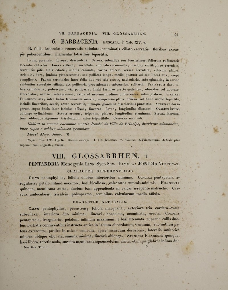 VII. BARBACENIA. VIII. GLOSSARRHEN. 6. BARBACENIA EXSCAPA. f Tab. XIV. 2. B. foliis lanceolatis recurvatis subulato - acuminatis ciliato - serratis, floribus exsca- pis pubescentibus, filamentis latissimis bipartitis. Radix perennis, fibrosa, descendens. Caudex subnullus seu brevissimus, foliorum rudimentis laceratis obtectus. Folia reflexa, lanceolata, subulato - acuminata, margine cartilagineo-serrulata, serraturis pilis albis ciliatis, subtus carinata, carina apicem versus serrulata, ceterum glabra, striatula, dura, juniora glauccscentia, sex pollices longa, medio quatuor ad sex lineas lata, saepe complicata. Flores terminales inter folia duo vel tria erecta, navicularia, subvaginantia, in carina evidentius serrulato- ciliata, vix pollicaria provenientes; subsessiles, solitarii. Perianthii flavi tu¬ bus cylindricus, pubescens, vix pollicaris; limbi laciniae erecto - patentes , obovatae vel obovato- lanceolatae, acutae, integerrimae, extus ad nervum medium pubescentes, intus glabrae. Stamina: Filamenta sex, infra basin laciniarum inserta, compresso-plana, tenera, ad basin usque bipartita, laciniis linearibus, acutis, acute serrulatis, utrinque glandulis discoloribus punctatis. Antherae dorso parum supra basin inter lacinias affixae, lineares, flavae , longitudine filamenti. Ovarium breve, oblongo-cylindricum. Stylus erectus, trigonus, glaber, longitudine staminum. Stigma incrassa¬ tum, oblongo-trigonum, trisulcatum , apice tripartibile. Capsulam non vidi. Ilabitat in summo cacumine montis Itambe da Villa do Principe, districtus adamantum, mter rupes e schisto micaceo granuloso. Floret Majo, Junio. 2J.. Explic. Tab. XIV Fig.II. Barbae, exscapa. 1. Flos dissectus. 2. Siamen. 3. Filamentum. 4. Styli pars superior cum stigmate, auctae. VIII. GLOSSARRHEN. t PENTANDRIA Monogynia Linn.Syst.Sex. Familia: JONIDIA Ventenat. CHARACTER DIFFERENTIALIS. Calyx pentaphyllus, foliolis duobus interioribus minimis. Corolla pentapetala ir¬ regularis ; petalo infimo maximo, basi bicalloso , #calcarato; summis minimis. Filamenta quinque, membrana aucta, duobus basi appendicula in calcar irrepente instructis. Cap¬ sula unilocularis, trivalvis, polysperma, seminibus valvularum medio affixis. CHARACTER NATURALIS. Calyx pentaphyllus, persistens; foliola inaequalia, exteriora tria cordato - ovata subreflexa, interiora duo minima, lineari - lanceolata, acuminata, erecta. Corolla pentapetala, irregularis; petalum infimum maximum, e basi attenuata, superne callis duo¬ bus barbatis conniventibus instructa antice in labium obeordatum, venosum, sub anthesi pa¬ tens extensum, postice in calcar conicum, apice incurvum decurrens; lateralia multolies minora oblique obovata, summa minima, lineari - oblonga. Stamina: Filamenta quinque, basi libera, tcretiuscula, sursum membrana squamaeformi aucta, utrinque glabra; infima duo Nov. Gen. Tom. I. f’
