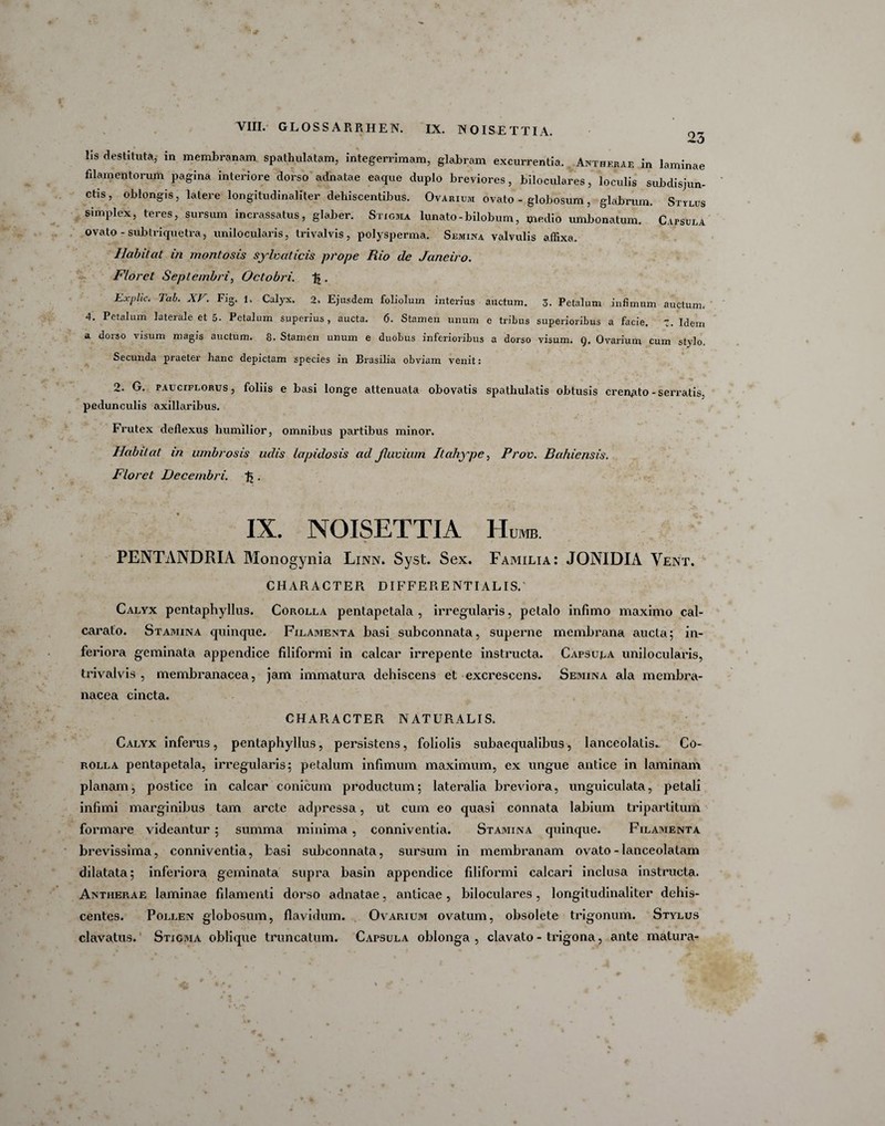 23 lis destituta, in membranam spathulatam, integerrimam, glabram excurrentia. Anthf.rae in laminae filamentorum pagina interiore dorso adnatae eaque duplo breviores, biloculares, loculis subdisjun- ctis, oblongis, latere longitudinaliter dehiscentibus. Ovarium ovato - globosum, glabrum. Stylus simplex, teres, sursum incrassatus, glaber. Stigma lunato-bilobum, medio umbonatum. Capsula ovato - subtriquetra, unilocularis, trivalvis , polysperma. Semina valvulis affixa. Habitat in montosis sylvaticis prope Rio de Janeiro. Floret Septembri, Octobri. . Exphc. Tah. XV. Fig. 1. Calyx. 2. Ejusdem foliolum interius auctum. 3. Petalum infimum auctum. 4. Petalum laterale et 5. Petalum superius, aucta. 6. Stamen unum e tribus superioribus a facie. 7. Idem a dorso visum magis auctum. 8. Stamen unum e duobus inferioribus a dorso visum. Q. Ovarium cum stylo. Secunda praeter hanc depictam species in Brasilia obviam venit: 2. G. pauciflorus, foliis e basi longe attenuata obovatis spathulatis obtusis cren^to - serratis, pedunculis axillaribus. Frutex deflexus humilior, omnibus partibus minor. Habitat in umbrosis udis lapidosis ad Jluviurn Itahype, Prov. Bahiensis. Floret Decembri, . IX. NOISETTIA Humb. PENTANDRIA Monogynia Linn. Syst. Sex. Familia: JONIDIA Vent. CHARACTER DIFFER ENTIALIS.' Calyx pentaphyllus. Corolla pentapetala , irregularis, pelalo infimo maximo cal- carafo. Stamina quinque. Filamenta basi subconnata, superne membrana aucta; in¬ feriora geminata appendice filiformi in calcar irrepente instructa. Capsula unilocularis, trivalvis , membranacea, jam immatura dehiscens et excrescens. Semina ala membra¬ nacea cincta. CHARACTER NATURALIS. Calyx inferus, pentaphyllus, persistens, foliolis subaequalibus, lanceolalis.. Co¬ rolla pentapetala, irregularis; petalum infimum maximum, ex ungue antice in laminam planam, postice in calcar conicum productum; lateralia breviora, unguiculata, petali infimi marginibus tam arcte adpressa, ut cum eo quasi connata labium tripartitum formare videantur ; summa minima , conniventia. Stamina quinque. Filamenta brevissima, conniventia, basi subconnata, sursum in membranam ovato -lanceolatam dilatata; inferiora geminata supra basin appendice filiformi calcari inclusa instructa. Antherae laminae filamenti dorso adnatae, anticae , biloculares, longitudinaliter dehis¬ centes. Pollen globosum, flavidum. Ovarium ovatum, obsolete trigonum. Stylus clavatus. Stigma oblique truncatum. Capsula oblonga , clavato - trigona, ante matura-