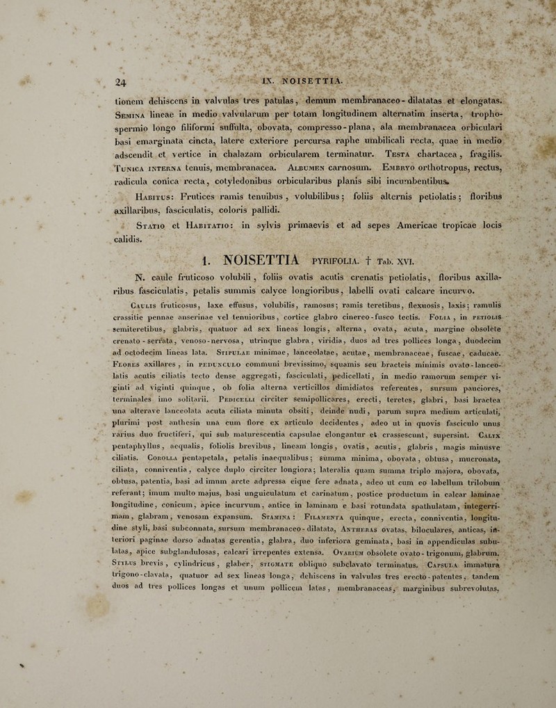 tionem dehiscens in valvulas tres patulas, demum membranaceo - dilatatas et elongatas. Semina lineae in medio valvularum per totam longitudinem alternatim inserta, tropho- spermio longo filiformi suffulta, obovata, compresso - plana, ala membranacea orbiculari basi emarginata cincta, latere exteriore percursa raphe umbilicali recta, quae in medio adscendit et vertice in chalazam orbicularem terminatur. Testa chartacea, fragilis. Tunica interna tenuis, membranacea. Albumen carnosum. Embryo orthotropus, rectus, radicula conica recta, cotyledonibus orbicularibus planis sibi incumbentibus* Habitus: Frutices ramis tenuibus, volubilibus; foliis alternis petiolatis; floribus axillaribus, fasciculatis, coloris pallidi. Statio et Habitatio: in sylvis primaevis et ad sepes Americae tropicae locis calidis. 1. NOISETTIA PYRIFOLIA. f Tab. XVI. N. caule fruticoso volubili , foliis ovatis acutis crenatis petiolatis, floribus axilla¬ ribus fasciculatis, petalis summis calyce longioribus, labelli ovati calcare incurvo. Caulis fruticosus, laxe effusus, volubilis, ramosus; ramis teretibus, flexuosis, laxis; ramulis crassitie pennae anserinae vel tenuioribus, cortice glabro cinereo-fusco tectis. Folia, in petiolis semiteretibus, glabris, quatuor ad sex lineas longis, alterna, ovata, acuta, margine obsolete crenato - serrata, venoso - nervosa, utrinque glabra, viridia, duos ad tres pollices longa, duodecim ad octodecim lineas lata. Stipulae minimae, lanceolatae, acutae, membranaceae, fuscae, caducae. Flores axillares , in pedunculo communi brevissimo, squamis seu bracteis minimis ovato-lanceo- latis acutis ciliatis tecto dense aggregati, fasciculati, pedicellati, in medio ramorum semper vi- ginli ad viginti quinque, ob folia alterna verticillos dimidiatos referentes, sursum pauciores, terminales imo solitarii. Pedicelli circiter semipollicares, erecti, teretes, glabri, basi bractea una alterave lanceolata acuta ciliata minuta obsiti, deinde nudi, parum supra medium articulati, plurimi post antliesin una cum flore ex articulo decidentes , adeo ut in quovis fasciculo unus rarius duo fructiferi, qui sub maturescentia capsulae elongantur et crassescunt, supersint. Calyx pentaphyllus, aequalis, foliolis brevibus, lineam longis, ovatis, acutis, glabris, magis minusve ciliatis. Corolla pentapetala, petalis inaequalibus; summa minima, obovata, obtusa, mucronata, ciliata, connivenlia, calyce duplo circiter longiora; lateralia quam summa triplo majora, obovata, obtusa, patentia, basi ad imum arcte adpressa eique fere adnata, adeo ut cum eo labellum trilobum referant; imum multo majus, basi unguiculatum et carinatum, postice productum in calcar laminae longitudine, conicum, apice incurvum, antice in laminam e basi rotundata spathulatam, integerri¬ mam, glabram, venosam expansum. Stamina: Filamenta quinque, erecta, conniventia, longitu¬ dine styli, basi subconnata, sursum membranaceo - dilatata, Antiieras ovatas, biloculares, anticas, in¬ teriori paginae dorso adnatas gerentia, glabra, duo inferiora geminata, basi in appendiculas subu- latas, apice subglandulosas, calcari irrepentes extensa. Ovarium obsolete ovato - trigonum, glabrum. Stylus brevis , cylindricus, glaber, stigmate obliquo subclavato terminatus. Capsula immatura trigono-clavata, quatuor ad sex lineas longa, dehiscens in valvulas tres erecto - patentes, tandem duos ad tres pollices longas et unum pollicem latas, membranaceas, marginibus subrevolutas,