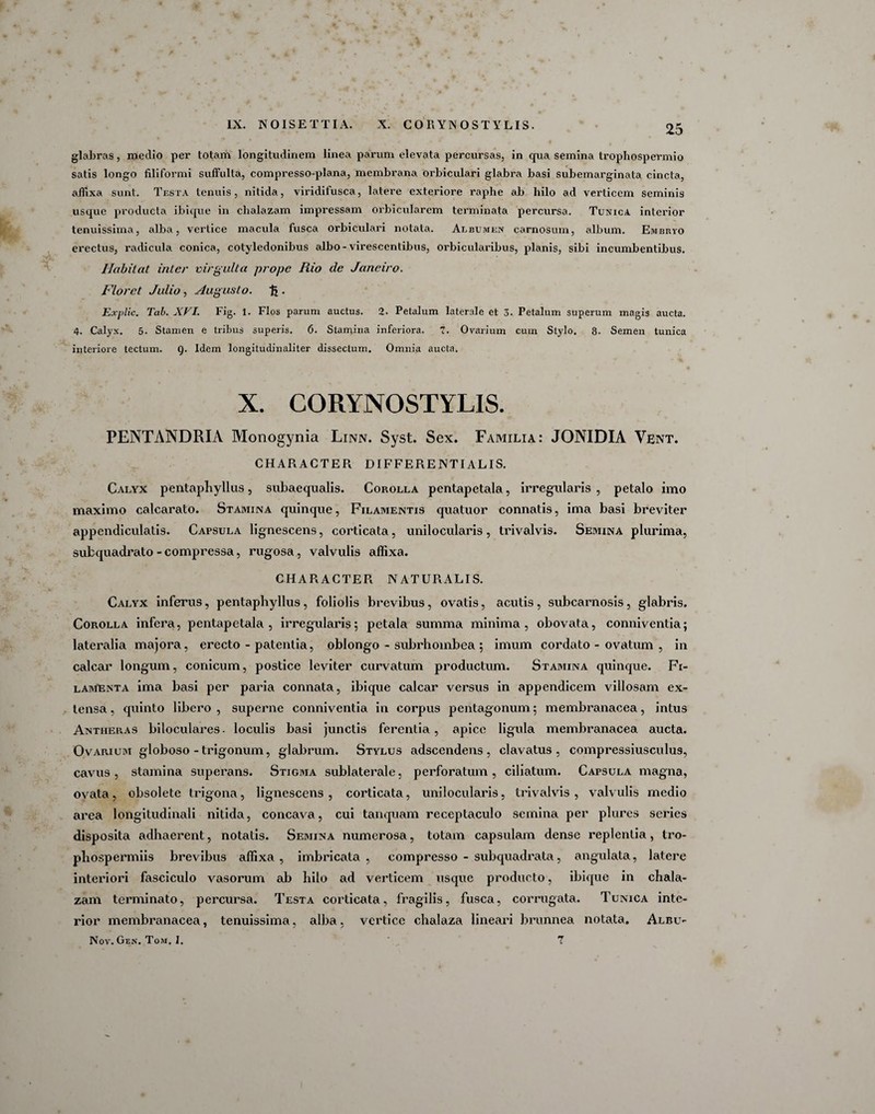 glabras, medio per totam longitudinem linea parum elevata percursas, in qua semina trophospermio satis longo filiformi suffulta, compresso-plana, membrana orbiculari glabra basi subemarginata cincta, affixa sunt. Testa tenuis, nitida, viridifusca, latere exteriore raphe ab hilo ad verticem seminis usque producta ibique in clialazam impressam orbicularem terminata percursa. Tunica interior tenuissima, alba, vertice macula fusca orbiculari notata. Albumen carnosum, album. Embryo erectus, radicula conica, cotyledonibus albo-virescentibus, orbicularibus, planis, sibi incumbentibus. Habitat inter virgulta prope Rio de Janeiro. Floret Julio, Augusto. % . Explic. Tai). XVI. Fig. 1. Flos parum auctus. 2. Petalum laterale et 3. Petalum superum magis aucta. 4. Calyx. 5. Stamen e tribus superis. 6. Stanfiria inferiora. 7. Ovarium cum Stylo. 8. Semen tunica interiore tectum. Q. Idem longitudinaliter dissectum. Omnia aucta. X. CORYNOSTYLIS. PENTANDRIA Monogynia Linn. Syst. Sex. Familia: JONIDIA Vent. CHARACTER DIFFERE NTI ALIS. Calyx pentaphyllus, subaequalis. Corolla pentapetala, irregularis , petalo imo maximo calcarato. Stamina quinque, Filamentis quatuor connatis, ima basi breviter appendiculatis. Capsula lignescens, corticata, unilocularis , trivalvis. Semina plurima, subquadrato - compressa, rugosa, valvulis affixa. CHARACTER NATURALIS. Calyx inferus, pentaphyllus, foliolis brevibus, ovatis, acutis , subcarnosis, glabris. CopiOlla infera, pentapetala, irregularis; petala summa minima, obovata, conniventia; lateralia majora, erecto - patentia, oblongo - subrhombea ; imum cordato - ovatum , in calcar longum, conicum, postice leviter curvatum productum. Stamina quinque. Fi¬ lamenta ima basi per paria connata, ibique calcar versus in appendicem villosam ex¬ tensa , quinto libero , superne conniventia in corpus pentagonum; membranacea, intus Antiieras biloculares. loculis basi junctis ferentia, apice ligula membranacea aucta. Ovarium globoso - trigonum, glabrum. Stylus adseendens , clavatus, compressiusculus, cavus, stamina superans. Stigma sublaterale, perforatum, ciliatum. Capsula magna, ovata, obsolete trigona, lignescens, corticata, unilocularis, trivalvis, valvulis medio area longitudinali nitida, concava, cui tanquam receptaculo semina per plures series disposita adhaerent, notatis. Semina numerosa, totam capsulam dense replentia, tro- phospermiis brevibus affixa, imbricata, compresso - subquadrata, angulata, latere interiori fasciculo vasorum ab hilo ad verticem usque producto, ibique in chala- zam terminato, percursa. Testa corticata, fragilis, fusca, corrugata. Tunica inte¬ rior membranacea, tenuissima, allia, vertice chalaza lineari brunnea notata. Albu- Nov. Gen. Tom, 1. ' 7 l
