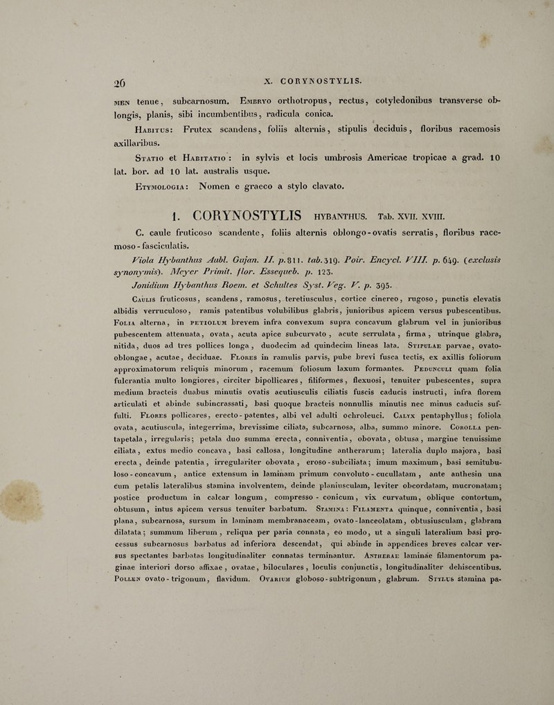 20 men tenue, subcarnosum. Embryo orthotropus, rectus, cotyledonibus transverse ob¬ longis, planis, sibi incumbentibus, radicula conica. Habitus: Frutex scandens, foliis alternis, stipulis deciduis, floribus racemosis axillaribus. Statio et Habitatio : in sylvis et locis umbrosis Americae tropicae a grad. 10 lat. bor. ad 10 lat. australis usque. Etymologia: Nomen e graeco a stylo clavato. 1. CORYNOSTYLIS hybanthus. Tab.xvn.xvin. C. caule fruticoso scandente, foliis alternis oblongo - ovatis serratis, floribus race¬ moso - fasciculatis. Viola Hybanthus Aubl. Gaj an. II. 311. tab. ,31Q. Poir. Encycl. VIII. p. 649- (exclusis synonymis'). Mcycr Primit. flor. Essec/ueb. p. 123. Jonidium Hybanthus Roem. et Schultes Syst. Veg. V. p. 395. Caulis fruticosus, scandens, ramosus, teretiusculus, cortice cinereo, rugoso, punctis elevatis albidis verruculoso, ramis patentibus volubilibus glabris, junioribus apicem versus pubescentibus. Folia alterna, in petiolum brevem infra convexum supra concavum glabrum vel in junioribus pubescentem attenuata, ovata, acuta apice subcurvato , acute serrulata , firma, utrinque glabra, nitida, duos ad tres pollices longa, duodecim ad quindecim lineas lata. Stipulae parvae, ovato- oblongae , acutae, deciduae. Flores in ramulis parvis, pube brevi fusca tectis, ex axillis foliorum approximatorum reliquis minorum , racemum foliosum laxum formantes. Pedunculi quam folia fulcrantia multo longiores, circiter bipollicares, filiformes, flexuosi, tenuiter pubescentes, supra medium bracteis duabus minutis ovatis acutiusculis ciliatis fuscis caducis instructi, infra florem articulati et abinde subincrassati, basi quoque bracteis nonnullis minutis nec minus caducis suf¬ fulti. Flores pollicares, erecto - patentes, albi vel adulti ochroleuci. Calyx pentaphyllus ; foliola ovata, acutiuscula, integerrima, brevissime ciliata, subcarnosa, alba, summo minore. Corolla pen- tapetala, irregularis; petala duo summa erecta, conniventia, obovata, obtusa, margine tenuissime ciliata, extus medio concava, basi callosa, longitudine anlherarum; lateralia duplo majora, basi erecta, deinde patentia, irregulariter obovata, eroso-subciliata; imum maximum, basi semitubu- loso - concavum , antice extensum in laminam primum convoluto - cucullatam , ante anlhesin una cum petalis lateralibus stamina involventem, deinde planiusculam, leviter obcordatam, mucronatam; postice productum in calcar longum, compresso - conicum, vix curvatum, oblique contortum, obtusum, intus apicem versus tenuiter barbatum. Stamina: Filamenta quinque, conniventia, basi plana, subcarnosa, sursum in laminam membranaceam, ovato-lanceolatam, obtusiusculam, glabram dilatata; summum liberum, reliqua per paria connata, eo modo, ut a singuli lateralium basi pro¬ cessus subcarnosus barbatus ad inferiora descendat, qui abinde in appendices breves calcar ver¬ sus spectantes barbatas longitudinaliter connatas terminantur. Antherae laminae filamentorum pa¬ ginae interiori dorso affixae , ovatae, biloculares , loculis conjunctis, longitudinaliter dehiscentibus. Pollen ovato - trigonum, flavidum. Ovarium globoso - subtrigonum , glabrum. Stylus stamina pa-