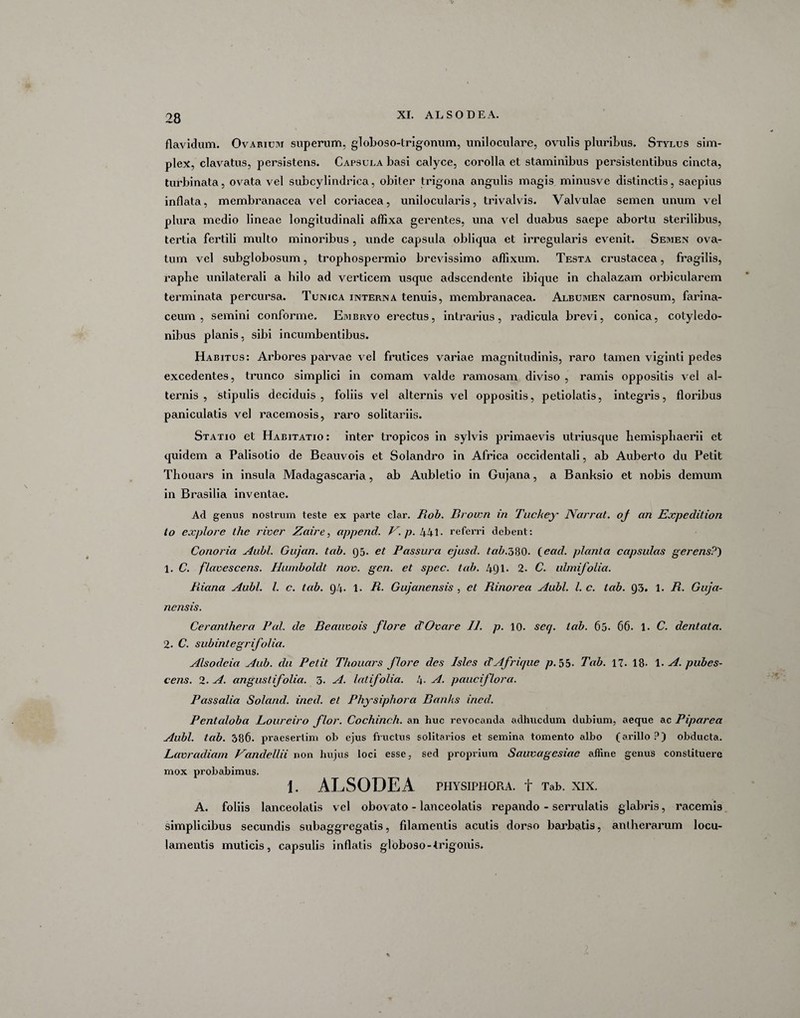 flavidum. Ovarium superum, globoso-lrigonum, unii oculare, ovulis pluribus. Stylus sim¬ plex, clavatus, persistens. Capsula basi calyce, corolla et staminibus persistentibus cincta, turbinata, ovata vel subcylindrica, obiter trigona angulis magis minusve distinctis, saepius inflata, membranacea vel coriacea, unilocularis, trivalvis. Valvulae semen unum vel plura medio lineae longitudinali affixa gerentes, una vel duabus saepe abortu sterilibus, tertia fertili multo minoribus , unde capsula obliqua et irregularis evenit. Semen ova¬ tum vel subglobosum, trophospermio brevissimo affixum. Testa crustacea, fragilis, rapbe unilaterali a hilo ad verticem usque adscendente ibique in chalazam orbicularem terminata percursa. Tunica interna tenuis, membranacea. Albumen carnosum, farina¬ ceum , semini conforme. Embryo erectus, intrarius, radicula brevi, conica, cotyledo¬ nibus planis, sibi incumbentibus. Habitus: Arbores parvae vel frutices variae magnitudinis, raro tamen viginti pedes excedentes, trunco simplici in comam valde ramosam diviso , ramis oppositis vel al¬ ternis , stipulis deciduis, foliis vel alternis vel oppositis, petiolatis, integris, floribus paniculatis vel racemosis, raro solitariis. Statio et Habitatio : inter tropicos in sylvis primaevis utriusque hemisphaerii et quidem a Palisotio de Beauvois et Solandro in Africa occidentali, ab Auberto du Petit Thouars in insula Madagascaria, ab Aubletio in Gujana, a Banksio et nobis demum in Brasilia inventae. Ad genus nostrum teste ex parte clar. Bob. Brown in Tuckey Narrat, oj an Expedition to explore the river Zaire, append. V. p. 441- referri debent: Conoria Aabl. Gujan. tab. 95. et Passura ejusd. tab.oftO. (ead. planta capsulas gerens?') 1. C. flavescens. Humboldt nov. geri, et spec. tab. 4Q1« 2. C. ulmifolia. Piiana Aubl. I. c. tab. 94. 1. R. Gujanensis , et Rinorea Aubl. I. c. tab. 93. 1. R. Guja- nensis. Ceranthera Pol. de Beauvois flore d?Ovare II. p. 10. sec/. tab. 65. 66. 1. C. dentata. 2. C. subintegrifolia. Alsodcia Aub. du Petit Thouars flore des Isles cTAfricjue p. 55. Tab. 17. 18. 1. A. pubes¬ cens. 2. A. angustifolia. 3. A. latifolia. !\. A. pauciflora. Passalia Soland. ined. et Pkysiphora Banks ined. Pentaloba Loureiro flor. Cochinch. an huc revocanda adhucdum dubium, aeque ac Piparea Aubl. tab. 386. praesertim ob ejus fructus solitarios et semina tomento albo (arillo ?) obducta. Lavradiam Pande Ilii non hujus loci esse, sed proprium Sauvagesiae affine genus constituere mox probabimus. 1. ALSODEA PHYSIPHORA. + Tab. XIX. A. foliis lanceolatis vel obovato - lanceolatis repando - serrulatis glabris, racemis simplicibus secundis subaggregatis, filamentis acutis dorso barbatis, antherarum locu¬ lamentis muticis, capsulis inflatis globoso-trigonis. %
