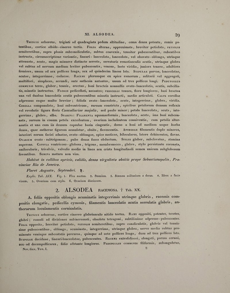 2(j Tp.uncus arboretis, triginti ad quadraginta pedum altitudine, coma densa patente, ramis pa¬ tentibus, cortice albido - cinereo tectis. Folia alterna, approximata, breviter petiolala, petiolis semiteretibus, supra planis subcanaliculatis, subtus convexis, tenuiter pubescentibus, rubentibus instructa, circumscriptione variantia, lineari - lanceolata, lanceolata, vel obovato- oblonga, utrinque attenuata, acuta, magis minusve distincte serrata, serraturis remotiusculis acutis, utrinque glabra vel subtus ad nervum medium leviter pubescentia, venosa, laete viridia, juniora tenera, adultiora firmiora, unum ad sex pollices longa, sex ad quindecim lineas lata. Stipulae parvae, lanceolatae, aculae, integerrimae, caducae. Racemi plerumque ex apice ramorum, solitarii vel aggregati, multiflori, simplices, secundi, ante anthesin nutantes, unum ad tres pollices longi. Pedunculus communis teres, glaber, tenuis, erectus, basi bracteis nonnullis ovato-lanceolatis, acutis, subcilia- tis, minutis instructus. Flores pedicellati, nutantes; pedicelli tenues, flore longiores, basi bractea una vel duabus lanceolatis acutis pubescentibus minutis instructi, medio articulati. Calyx corollae adpressus eaque multo brevior; foliola ovato - lanceolata, acuta, integerrima, glabra, viridia. Corolla campanulata, basi subventricosa, sursum constricta, apicibus petalorum demum reflexis vel revolutis figura floris Convallariae majalis, sed paulo minor; petala lanceolata, acuta, inte¬ gerrima, glabra, alba. Stamina: Filamenta squamaeformia, lanceolata, acuta, ima basi subcon- nata, sursum in conum petala excedentem, ovarium includentem conniventia, cum petalis alter¬ nantia et una cum iis demum capsulae basin cingentia, dorso a basi ad medium usque barba densa, quae antherae figuram aemulatur, obsita, flavescentia. Antherae filamentis duplo minores, interiori eorum faciei adnatae, ovato-oblongae, apice muticae, biloculares, latere dehiscentes, flavae. Ovarium ovato - subtrigonum , pube densa fusca obductum. Stylus glaber, sub clavatus, stamina superans. Capsula ventricoso - globosa , trigona, membranacea, glabra, stylo persistente coronata, unilocularis, trivalvis, valvulis medio in linea seu crista longitudinali semen unicum subglobosum foventibus. Semina matura non visa. Habitat in collibus apricis, calidis, denso virgulteto obsitis prope Sebastianopolin, Pro¬ vinciae Rio de Janeiro. Floret Augusto, Septembri, jj. Explic. Tab. XIX. Fig. 1. Flos auctus. 2. Stamina. 3. Stamen solitarium a dorso. 4. Idem a facie visum. 5. Ovarium cum stylo. 6. Ovarium discissum. 2. ALSODEA RACEMOSA, t Tab. XX. A. foliis oppositis oblongis acuminatis integerrimis utrinque glabris , racemis com¬ positis elongatis, pedicellis cymosis, filamentis lanceolatis aculis serrulatis glabris, an- therarum loculamentis corniculatis. Truncus arboreus, cortice cinereo glabriusculo nitido tectus. Rami oppositi, patentes, teretes, glabri; ramuli ad divisiones subincrassati, obsolete tetragoni, subtilissime adpresso-pubescentes. Folia opposita, breviter petiolata, petiolis semiteretibus, supra• canaliculatis, glabris vel tenuis¬ sime pubescentibus, oblonga, acuminata, integerrima, utrinque glabra, nervo medio subtus pro¬ minente venisque subcostatis percursa, quinque ad octo pollices longa, duos ad tres pollices lata. Stipulae deciduae, lineari-lanceolatae, pubescentes. Racemi extrafoliacei, elongati, parum cernui, sex-ad decempollicares, folio adstante longiores. Pedunculus communis filiformis, subangulatus, Nov. Gen. Tom. I. °
