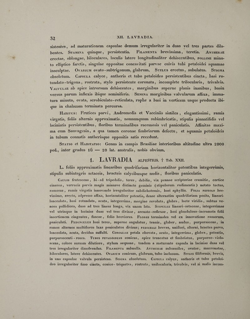 sistentes, ad maturationem capsulae demum irregulariter in duas vel tres partes dila- bentes. Stamina quinque, persistentia. Filamenta brevissima, teretia. Antherae erectae, oblongae, biloculares, loculis latere longitudinaliter dehiscentibus, polline minu¬ to elliptico farctis, singulae oppositae concavitati parvae cuivis tubi petaloidei squamae insculptae. Ovarilm ovato-subtrigonum, glabrum. Stylus erectus, subulatus. Stigma obsoletum. Capsula calyce, antheris et tubo petaloideo persistentibus cincta, basi ro¬ tundato- trigona, rostrata, stylo persistente coronata, incomplete trilocularis, trivalvis. Valvulae ab apice introrsum dehiscentes, marginibus superne planis inanibus, basin versus parum inflexis ibique seminiferis. Semina marginibus valvularum affixa, imma¬ tura minuta, ovata, scrobiculato - reticulata, raphe a basi in verticem usque producta ibi¬ que in chalazam terminata percursa. Habitus: Frutices parvi, Andromedis et Vacciniis similes, elegantissimi, ramis virgatis, foliis alternis approximatis, nonnunquam subimbricatis, stipulis pinnatifidis vel laciniatis persistentibus, floribus terminalibus racemosis vel paniculatis. Affinitas maxi¬ ma cum Sauvagesia, a qua tamen coronae fimbriarum defectu, et squamis petaloideis in tubum connatis antherisque oppositis satis recedunt. Statio et Habitatio: Genus in campis Brasiliae interioribus altitudine ultra 2000 ped., inter gradus 1 (j — 20 lat. australis, nobis obvium. I. LAVRADIA ALPESTRIS. t Tab. XXII. L. foliis approximatis linearibus quadrifariam horizontaliter patentibus integerrimis, stipulis subintegris setaceis, bracteis calycibusque nudis, floribus paniculatis. Caulis frutescens, bi-ad tripedalis, teres, debilis, vix pennae scriptoriae crassitie, cortice cinereo, verrucis parvis magis minusve distincte geminis (stipularum rudimentis) notato tectus, ramosus, ramis virgatis innovando irregulariter subdichotomis, basi aphvllis. Folia petiolo bre¬ vissimo, erecto, adpresso affixa, horizontaliter patentia, dense alternatim quadrifariam posita, lineari- ianceolata, basi rotundata, acuta, integerrima, margine revoluta, glabra, laete viridia, subtus ve¬ nosa pallidiora, duas ad tres lineas longa, vix unam lata. Stipulae lineari-setaceae, integerrimae vel utrinque in lacinias duas vel tres divisae, arcuato - reflexae , basi glanduloso-incrassata folii insertionem cingentes, fuscae , folio breviores. Flores terminales vel ex innovatione ramorum, paniculati. Pedunculus basi teres, superne angulatus, tenuis, glaber, nudus, purpurascens, in ramos alternos multifloros laxe paniculatos divisus; pedicelli breves, uniflori, alterni, bractea parva, lanceolata, acuta, decidua suffulti. Corollae petala obovata, acuta, integerrima, glabra, patentia, purpurascenti - rosea. Tubus petaloideus conicus, apice truncatus et fimbriatus, purpureo-viola- scens, colore sursum dilutiore, stylum aequans, tandem a maturante capsula in lacinias duas vel tres irregulariter dissolvendus. Filamenta subnulla. Antherae subsessiles, ovatae, mucronatae, biloculares, latere dehiscentes. Ovarium conicum, glabrum, tubo inclusum. Stylus filiformis, brevis, in una capsulae valvula persistens. Stigma obsoletum. Capsula calyce, antheris et tubo petaloi¬ deo irregulariter fisso cincta, conico - triquetra, rostrata, unilocularis, trivalvis, vel si malis incom-