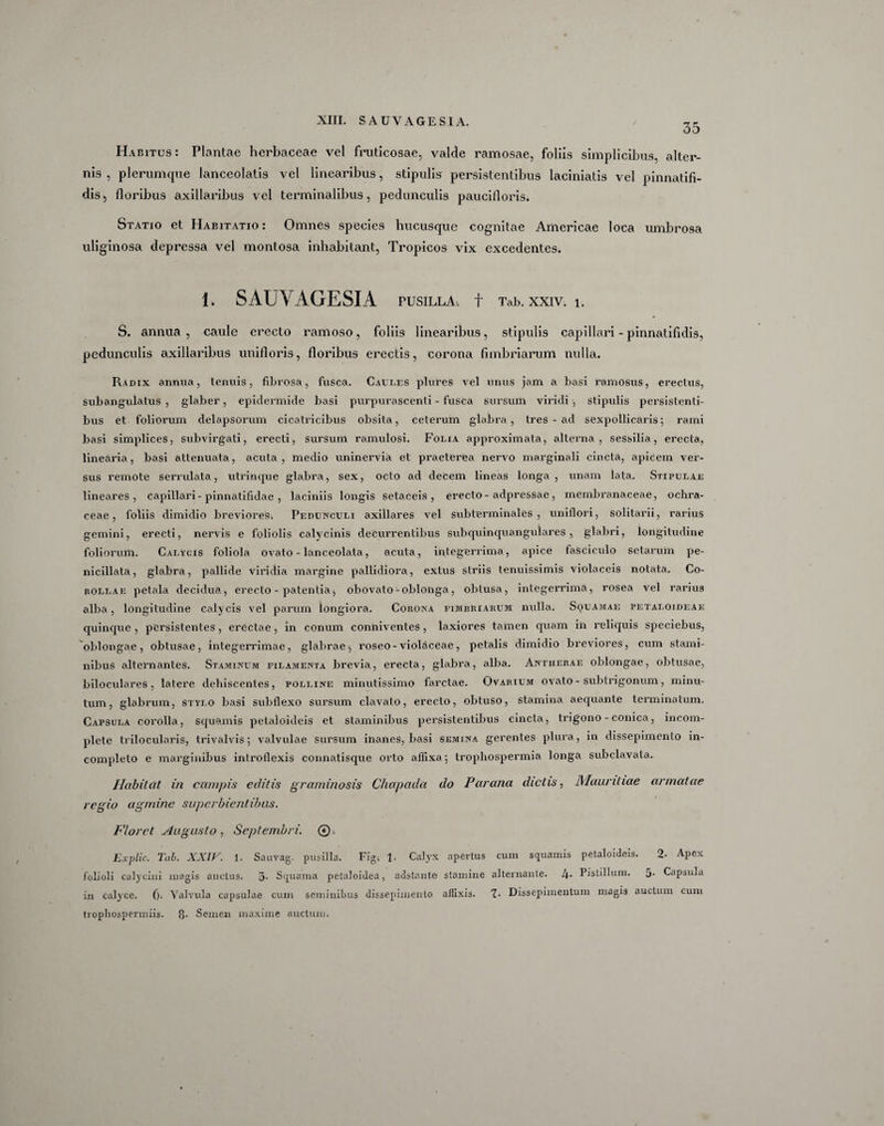35 Habitus: Plantae herbaceae vel fruticosae, valde ramosae, foliis simplicibus, alter¬ nis , plerumque lanceolatis vel linearibus, stipulis persistentibus laciniatis vel pinnatifi- dis^ floribus axillaribus vel terminalibus, pedunculis paucifloris. Statio et Habitatio: Omnes species hucusque cognitae Americae loca umbrosa uliginosa depressa vel montosa inhabitant, Tropicos vix excedentes. 1. SAUVAGESIA PUSILLA, f Tab. XXIV. l. S. annua, caule erecto ramoso, foliis linearibus, stipulis capillari - pinnatifidis, pedunculis axillaribus unifloris, floribus erectis, corona fimbriarum nulla. Radix annua, tenuis, fibrosa, fusca. Caules plures vel unus jam a basi ramosus, erectus, subanguiatus , glaber, epidermide basi purpurascenti - fusca sursum viridi, stipulis persistenti¬ bus et foliorum delapsorum cicatricibus obsita, ceterum glabra, tres - ad sexpollicaris; rami basi simplices, subvirgati, erecti, sursum ramulosi. Folia approximata, alterna, sessilia, erecta, linearia, basi attenuata, acuta, medio uninervia et praeterea nervo marginali cincta, apicem ver¬ sus remote serrulata, utrinque glabra, sex, octo ad decem lineas longa , unam lata. Stipulae lineares, capillari-pinnatifidae , laciniis longis setaceis , erecto - adpressae , membranaceae, ochra- ceae, foliis dimidio breviores. Pedunculi axillares vel subterminales , unillori, solitarii, rarius gemini, erecti, nervis e foliolis calycinis decurrentibus subquinquangulares , glabri, longitudine foliorum. Calycis foliola ovato - lanceolata, acuta, integerrima, apice fasciculo setarum pe¬ nicillata, glabra, pallide viridia margine pallidiora, extus striis tenuissimis violaceis notata. Co- p.ollae petala decidua, erecto - patentia j obovato - oblonga, obtusa, integerrima, rosea vel rarius alba, longitudine calycis vel parum longiora. Corona fimbriarum nulla. Squamae petaloideae quinque , persistentes, erectae, in conum conniventes, laxiores tamen quam in reliquis speciebus, oblongae, obtusae, integerrimae, glabrae * roseo-violaceae, petalis dimidio breviores, cum stami¬ nibus alternantes. Staminum filamenta brevia, erecta, glabra, alba. Antherae oblongae, obtusae, biloculares , latere dehiscentes, polline minutissimo farctae. Ovarium ovato - subtrigonum, minu¬ tum, glabrum, stylo basi subflexo sursum clavato, erecto, obtuso, stamina aequante terminatum. Capsula corolla, squamis petaloideis et staminibus persistentibus cincta, trigono - conica, incom¬ plete trilocularis, trivalvis; valvulae sursum inanes, basi semina gerentes plura, in dissepimento in¬ completo e marginibus inlrollexis connatisque orto affixa; trophospermia longa subclavata. Ilabilat in campis editis graminosis Chapada do Paralia dictis, Maurihae armatae regio agmine superbientibus. Floret Augusto , Septembri. 0, Explic. Tab. XXIV. 1. Sauvag. pusilla. Fig; 1. Calyx apertus cum squamis petaloideis. 2- Apex folioli calycini magis auctus. 3- Squama petaloidea, adstante» stamine alternante. l\. Pistillum. 5- Capsula in calyce, (j. Valvula capsulae cum seminibus dissepimento affixis. 1. Dissepimentum magi3 auctum cum trophospermiis. g. Semen maxime auctum.