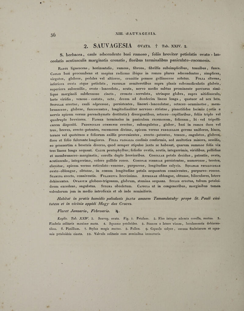 2. SAUVAGESIA OVATA, f Tab. XXIV. 2. S. herbacea, caule adscendente basi ramoso , foliis breviter petiolatis ovato - lan- ceolalis acutiusculis marginatis crenatis , floribus terminalibus paniculato-racemosis. Radix lignescens , horizontalis, ramosa, fibrosa, fibrillis subsimplicibus, tenuibus, fusca. Caulis basi procumbens et saepius radicans ibique in ramos plures adscendentes , simplices, virgatos, glabros, pedales vel altiores, crassitie pennae gallinaceae solutus. Folia alterna, inferiora ovata atque petiolata , petiolis semiteretibus supra planis subcanaliculatis glabris, superiora subsessilia, ovato - lanceolata, acuta, nervo medio subtus prominente percursa simi¬ lique marginali subflexuoso cincta, crenato - serrulata, utrinque glabra, supra nitidiuscula, laete viridia, venoso - costata, octo, decem ad duodecim lineas longa, quatuor ad sex lata. Stipulae erectae, cauli adpressae, persistentes, lineari - lanceolatae, setaceo-acuminatae , mem¬ branaceae, glabrae, fuscescentes, longitudinaliter nervoso - striatae , pinnatifidae laciniis (ortis e nervis apicem versus parenchymate destitutis) divergentibus, setaceo - capillaribus, foliis triplo vel quadruplo breviores. Flores terminales in paniculam racemosam, foliosam, bi - vel tripolli- carem dispositi. Pedunculus communis erectus, subangulatus , glaber, basi in ramos duos vel tres, breves, erecto-patentes, racemosos divisus, apicem versus pedicellos gerens unifloros, binos, ternos vel quaternos e foliorum axillis provenientes , erecto - patentes, tenues , angulatos, glabros, flore et folio fulcrante longiores. Folia floralia caulinis conformia, sed multoties minora, sessilia, eo praesertim a bracteis diversa, quod semper stipulas juxta se habeant, quarum summae folia vix tres lineas longa aequant. Calyx pentaphvllus \ foliolis ovatis, acutis, integerrimis, viridibus, pallidius et membranaceo - marginatis, corolla duplo brevioribus. Corollae petala decidua, patentia, ovata, acutiuscula, integerrima, colore pallide roseo. Coronae fimbriae persistentes, numerosae, teretes, clavatae, apicem versus reticulato-venosae, purpureae, longitudine calycis. Squamae petaloideae ovato - oblongae, obtusae, in conum longitudine petala aequantem conniventes, purpureo-roseae. Stamina erecta, conniventia. Filamenta brevissima. Antherae oblongae, obtusae, biloculares, latere dehiscentes. Ovarium globoso-trigonum, glabrum, stamina aequans. Stylus erectus, tubum petaloi- deum excedens, angulatus. Stigma obsoletum. Capsula ut in congeneribus, marginibus tamen valvularum jam in medio introflexis et ab inde seminiferis. Habitat in pratis humidis paludosis juxta amnem Tamandatahy prope St. Pauli civi¬ tatem et in vicinia oppidi Mogy das Cruces. Floret Januario, Februario. 2J.. Explic. Tab. XXIV. 2. Sauvag. ovata. Fig. 1. Petalum. 2. Flos integer ademta corolla, auctus. 3. Fimbria solitaria maxime aucta. 4. Squama petaloidea. 5. Stamen a latere visum, loculamentis dehiscen¬ tibus. 6. Pistillum. 7. Stylus magis auctus. 8- Pollen. Q. Capsula calyce , corona fimbriarum et squa¬ mis petaloideis cincta. 10. Valvula solitaria cum seminibus immaturis.