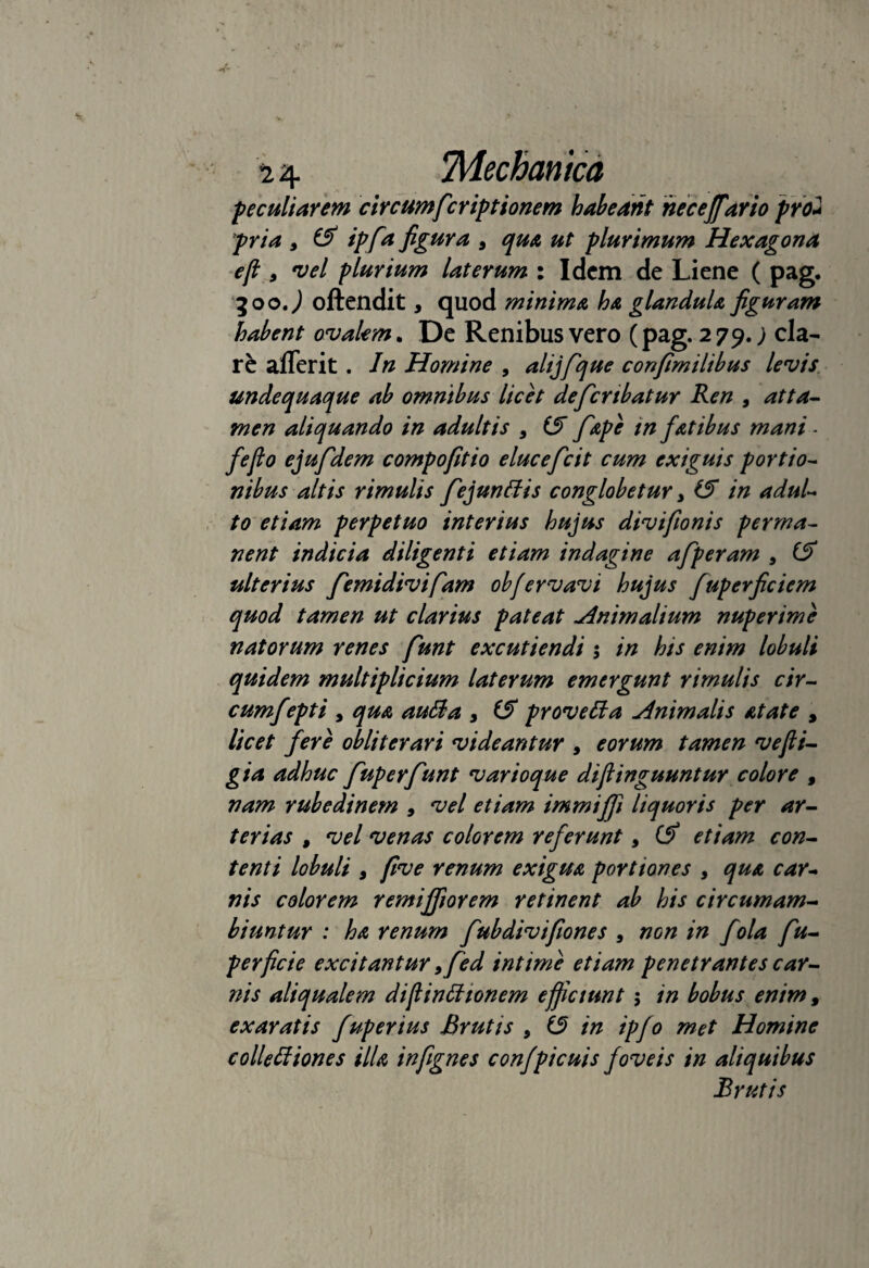 peculiarem circumficriptionem habeant heceffario pro* pria 9 & ipfia figura 9 qua ut plurimum Hexagona e(l 9 vel plurium laterum : Idem de Liene ( pag. 300.) oftendit, quod minima ha glandula figuram habent ovalem. De Renibus vero (pag. 279.; cla¬ re aflerit . In Homine , alijfque confimilibus levis undequaque ab omnibus licet deficrtbatur Ren , atta¬ men aliquando in adultis 9 (3 fiape tn fatibus mani - feflo ejufidem compofitio elueefeit cum exiguis portio¬ nibus altis rimulis fiejunBis conglobetur 9 (3 in adul¬ to etiam perpetuo interius hujus divifionis perma¬ nent indicia diligenti etiam indagine afperam 9 (3 ulterius fiemidivifiam obfervavi hujus fuperficiem quod tamen ut clarius pateat Animalium nuper ime natorum renes fiunt excutiendi ; in his enim lobuli quidem multiplicium laterum emergunt rimulis cir- cumfepti , qua auBa 9 (3 proveBa Animalis atate , licet fere obliterari videantur 9 eorum tamen vefii- gia adhuc fiup er fiunt var ioque diftinguuntur colore , nam rubedinem 9 vel etiam immiffi liquoris per ar¬ terias , vel venas colorem referunt, (3 etiam con¬ tenti lobuli 9 five renum exigua portiones , qua car¬ nis colorem remiffiorem retinent ab his circumam- biuntur : ha renum fiubdivifiones 9 non in fola fiu- perficte excitantur 9fied intime etiam penetrantes car¬ nis aliqualem diflinBtonem efficiunt 5 in bobus enim, exaratis fupertus Brutis , (3 in ipfo met Homine colle Bion es illa infignes confpicuis foveis in aliquibus Brutis