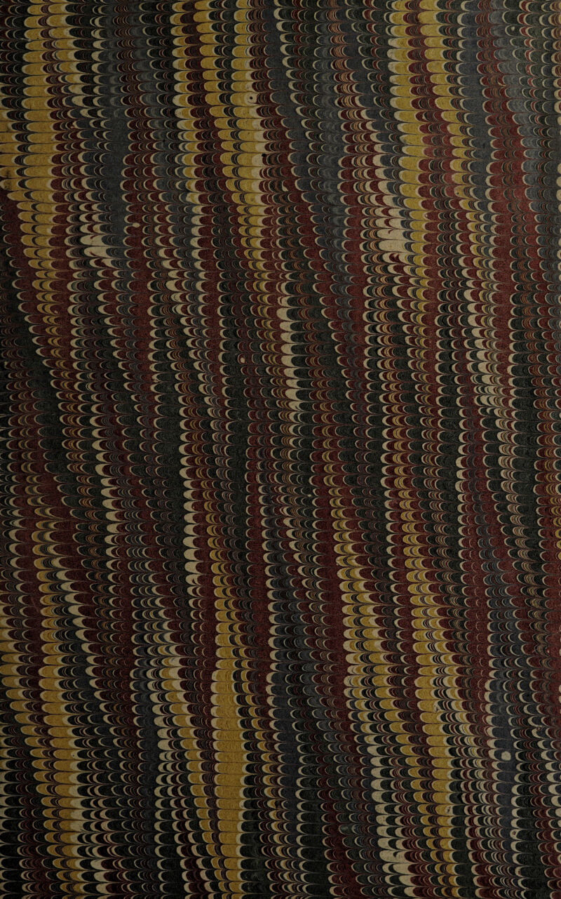 c<ECC c t r n m c EE C i ms m LC. C.-'C c C ‘ L c fe