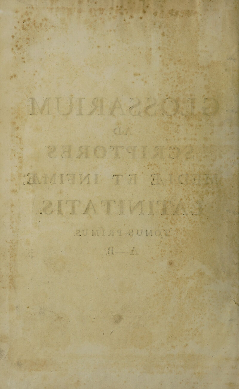 Vr ■i. « r4 4- ^ » I \ s ♦ « > . 4 r' f 1' t. it* *♦ I ••vi' f L >■' A I M i '^- ¥ 'W j A r I / S. ;