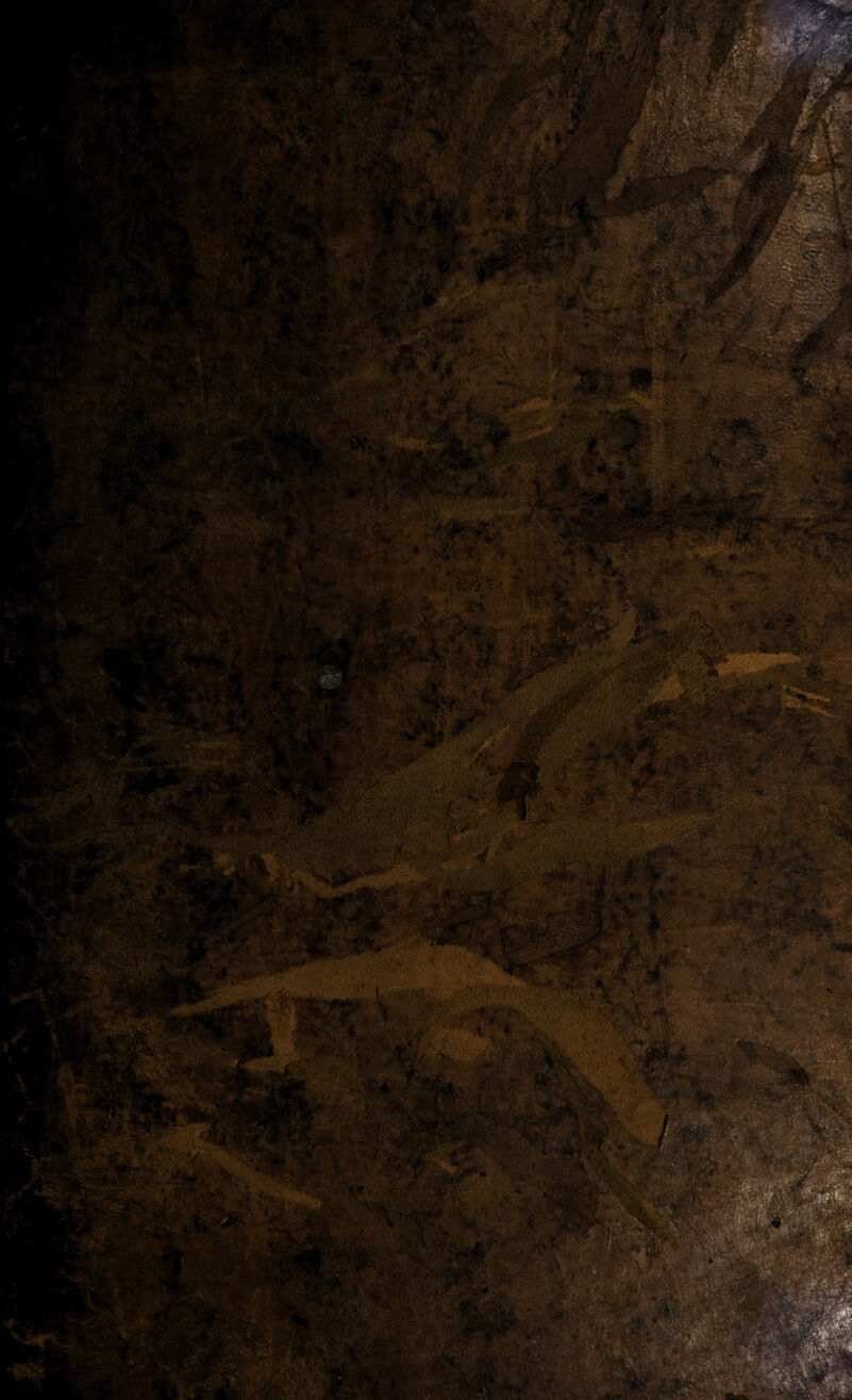 r; --V;.-.' . ,i<. ;4 . r/ ' .'•^-' ■■ . .‘ I' . ,U : :i\.. / H ■ crfs»jki' i- • ’. - '• ‘ •*^<’ N/