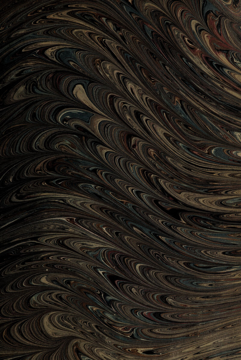 No text description is available for this image