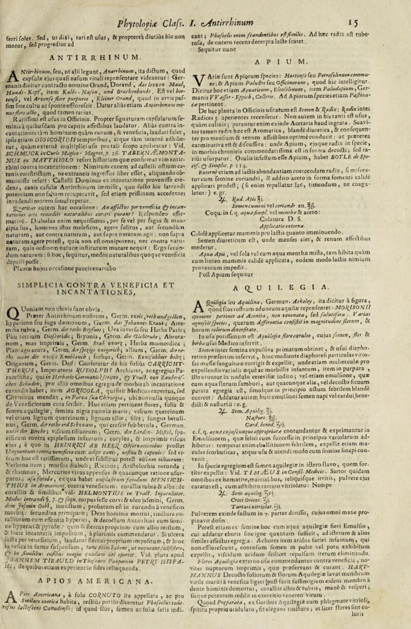 Phytolopix Clafs. ferri folet. Sed, ut dixi, rarieftufus, & propterea diutius hic non moror, fed progredior ad ANTIRRHINUM. AUtinbinum, feu, ut alii legunt, Anarrbinum, ita di£lum, quod capfuls ejusquafi nafum vituli reprsfentare videantur: Ger- manisdicitur contra£Io nomine Orand, Dorand , das lovvtn Maul, Hunds-Kopf, item Kalbs - Na/en , und Brackenbaubt. Eli vel bor- tenfe, vel Arvenfeflore purpureo , Kleiner Orand, quod io arvis paf- fim fine cultu ac fponteefFlorefcit. Datur alias etiam Antirrhinum mi¬ nus flore albo, quod tamen rarius. Rarirtimi efl ufusin Officinis. Propter lignaturam capfularum fe- minisa quibufdam pro capitis affie£libus laudatur. Aliks contra in¬ cantationes tam hominum quam canum, & veneficia, laudari folet, ipfis etiam DlOSCO^lDlStemporibus , atque tam interne adhibe¬ tur, quamexternk multiplici ufu protali fcopo applicatur: Vid. SCHMUCK inCuris Magico • Magne:, p. l6- T ABEl(N sJLMONT A- NUS MATTHIOLO refert hiftoriam qus confirmat vim antir- rhini contra incantationem: Nimirumcanem adcaftelli ofliumca- tenisconftri£lum, ne extraneis ingrefTus liber elTet, aliquandoob- mutuilfe refert: Caflelli Dominus ex incantatione provenilTe cre¬ dens, canis cafuls Antirrhinum immifit, quo fa£Io hic latrandi potentiam non fajtem recuperavit, fed etiam priltinum accedentes invadendi morem fimulrepetiit. e'1-'teritur autem hac occafione: An affeblus per veneficia (gyincan- lattones o-rt remediis naturalibus curari queant? Refpondeo affir¬ mative. Diabolus enim nequilfimus, per fevel per fagas Sc man¬ cipia fua, homines illos maleficos, agere folitus , aut fecundum naturam, aut contra naturam , aut fupra naturam agit; nonfupra n»turam agere potefl , quia non elt omnipotens; nec contra natu¬ ram, quia ordinem naturte infiitutum mutare nequit: Ergo fecun¬ dum naturam : li hoc , fequitur, mediis naturalibus quoque veneficia depelli pofTe. % Plancas hujus occafione paucisenarrabo SIMPUCIA CONTRA VENEFICIA ET I NCANTATIONES, QUoniam non ubivis funt obvia. Praeter Antirrhinum nollrum , Germ. vveisyrotbundgelben, hypericon feu fuga daemonum , Germ. das Jobannes KrautArte- rmfiarubra, Germ. der rotbe Beyfues ; Uva in verfa feu Herba Paris ; Phu tertium Viofcoridis ; Btyooia, Germ. die Gicbtrubc, Abrota- num , mas imprirais , Germ. Stab tvur% , Herba momordica ; Plantago acuta, Qeim.dcrfpifge vtrgericb^ allium, Germ. der ro¬ tbe ntcbt der vveije Knoblaucb ; forbus, Germ. Evvifnbbter bolt\\ Origanum, Germ. Dojl: Conferatur de his fufius CA^fCHT- THF.lfUS, Imperatoris IfUDOLPHI Archiater, acegregius Pa- racelfilia, qui in Herbario Germaniciferipto, fj-Trafl. von Tauberif- cben Scbaden\ prs aliis omnibus egregia de morbis ab incantatione curandis habet ; item AGRICOLA, qui fuit Medicusexpertus, fed Chymicus mendax, in Parva fua Chirurgia, ubinonnulia quoque de Veneficiorum curafcribit. Huc etiam pertinent flores, folia & femen aquilegis; femina nigra poconis maris,- vifcum quercinum vel etiam lignum quercinum; lignum tilias; filix; fungus betuli- nus, Germ. der rotbe erdSibvvam, qui crefcit fubbetula , German. unterder birche, vifcum tiliaceum , Germ. der Linden- Mi/iel, fpe- cificum contra epipleliam infamum,- corylus, & imprimis vifcus ejus > e quo in HElNf^ICI AB HEEl(_ Objervalionibus proflat (J nguentum contra veneficia cum adipe canis, urfina & caponis: fed vi¬ fcum hocefl rariffimum, undeei fubflitui potefl vifcum tiliaceum-. Verbena itero ; morfus diaboli; Ricinus; Ariflolochia rotunda ; & rhamnus; Mercurius vivusappenfus <St quacunque rationeufur- patusy afa foetida, ex qua habet emplaftrum fasttdum MTNSICH- THIUS in Arrnament. contra veneficium; corallia rubra & alba : de coralliis & fimilibus vid. HELMONTIUS in Trabi. Injaculator. Modus intrandi §. 7. fyfequ. corpus felle corvi & oleo jafmini, Germ. der» fejmin Oebl, inuhflum, probatum efl in curandis a veneficio morbi^.- fecundina primipars; Dens hominis mortui; tinflura co- ralliorum cumelfentia hyperici, &deco£Ium Antirrhini cum femi¬ ne nyperici & pyrols .• quin & fiercus proprium cum allio milium , Glocis incarnatis, impolitum, aplurimis commendatur. Si ulcera iafla per veneficium , laudatur fiercus proprium impofitutn , & hinc i 11 vefica in lumo fufpenfum , tunc fit:m habent 5 ut nequeant fubfijlere, cT in fimilibus cafibus magia quadam uti oportet. Vid. plura apud jOANNEM TIB AULI) inTbejauro Pauperum PETPJ HISPA¬ NI ; de quibus etiam experientis fides relinquenda. APIOS AMERICANA. Apios Americana , a folo CORNUTO ita appellata , ac pro Smilace exotica habita , re£tiiis porifis diceretur Pbafeolus tube, rojtts laclefcens Canadenfis-. id quod flos, femen a:folia fatis indi- /. Antirrhinum i 5 eant; Pbafeolis enim fcandentibus efifimilts. Ad hsc radix efl tube- rofa, de ccetero recens decerpta la£le fcatet. Sequitur nunc APIUM. VAris funt ApiQrum fpecies: H«rten/e(eu Petrofelinumcomtnu- ne\ & Apium Palutlre feu Officinarum , quod hic intelligitur . Dicitur hocetiam Aquaticum , E.lcofeltnurn, item Paludapiurn, Ger¬ manis VVaffer - Eppich, Cellene. Ad Apiorum fpeciesetiam Pajlina- ^pertinent. . De hac planta in Officinis ufitatum efl Semen Sd^adix: F(adix inter Radices 5. aperientes recenfetur. Non autem in his tanti efl ufus , quam culinis; paranturenim exinde Acetaria haud ingrata . Suavi- tertamen radix hsceft Aromatica, blandediuretica, Sc confequen ter pro menfium & renum affe£iibus optimeconducit; ac prsterea carminativa elt St difcuffiva; undeApium, ejuque radix in fpecie, in morbischronicis commendatiffima efl in forma deco£li; fed ra¬ rius ufurpatur . Oculis infeflumeffe Apium, habet BOTLE de Spe- (if fy Simplic. p i r 4. Externe etiam ad la£Iis abundantiam coercendam radix, fi mifcea- turcum femine coriandri, & addito aceto in forma fomenti calide applicari prodefl; (fi enim repellatur lac, timendum, ne coagu¬ letur.-) e. gr. yj-. ' Pjid. Apii^j. Semencurnini ve\coriandr an. Coqu. in f. q. aquit/itnpl. vel mentbre Sc aceto: Colatura D. S. Applicatio externa. Cdideapplicetur mammis pro la£Iis quanto imminuendo. Semen diureticum efl, unde menfes ciet, & renum affeflibus medetur. Aqua Apii, vel fola vel cum aqua menths mifla, tam bibitaquam cum linteo mammis calide applicata, eodem modolatlis nimium proventum impedit. Pofl A pium fequitur aq^uilegia. ACtuilegia feu Aquilina, German. Acheley, itadicitur a figura, quod flos roftrum ad uncum aquils reprsfentet • MOf(ISO NII opinione pertinet ad Aconita , non venenata, fed filutifera . i arias agnofeir fpecies, quarum differentia confiflii in magnitudine florum, & horum colorumdiverftate. In ufupotiffimum efl Aquilegta flore caeruleo , cujus femen, flos Sr herba ufui Medico infervit, Semen inter femina expulfiva primatum obtinet, &ufui diapho¬ retico prsfertim infervit, hinc mediantediaphorefi particulas virio- fas maffisfanguines corrigit & expellit; undeetiam muliercul® pro expellendis variolis squ^ac morbillis infantum, item in purpura , illo utuntur in nodulo cerevifis indito ; vel etiam emulfione, qus cum aquaflorum fambuci, aut quacunque alia, veldeco£lo ficuum parata egregia efl, fimulquein principio sftum febrilem blande coercet; Addaturautem huicemulfioni femen napi vel cardui bene- di£ti& nafturtii .-e.g. If. Sem. Aquileg. ^>. Najlurt. Card. bened. f\]. c. f'. q. aqus cujufcunqueappropriata contundantur & exprimantur in Emulfionem , qus felici cum fuccefluin principio variolarum ad¬ hibetur: temperat enimebullitionem tebrilem, expellit etiam ma¬ culas fcorbuticas, atque ufu & utendi modo cum femine li napi con¬ venit . In fpecieegregiumeft femen aquilegis in i£Iero flavo, quem for¬ titer expellit: \lid.T I mALU S in Confil. Medicis. Sartor quidam omnibus ex hsmatite,martial,bus, teliquifque irritis, pulveieejus curatuseft, cum adhibito tartaro vitriolato: Nempe Sem• aquileg. ^vj, Croci Orient. f). T artari vitriolat. H). Pulverem exindefa£Ium in 7. partes diviflit, cujusomni mane pro» pinavit dofin . Potefl etiam ex femine hoc cum aqua aquilegis fieri Emulfio , cui addatur eboris fineigne quantum fufficit, ad i£lerum Si alios fimilesaffe£Iusegregia. Achores item aridos faciei infantum, qui non efflorefcunt, contufum femen in pulte vel potu exhibitum expellit, vifeidum acidum fcilicet repulfum iterum eliminando. Flores Aquifgiaexternoufu conimendanturcontraveneficia , no- vitei nuptorum imprimis , qus prsfervant 6c curant . HAlfT- MANNUS Deco£Io foliorum & florum Aquilegis lavat membrum virile mariti k venefica ligati jpoft facit fuffimigium eidem membro a dente hominis demortui, coralliis albis & rubris, man£ & velperi; ficquepotentem reddit in exercitio venereo virum . Quoad Prgparata , ex floribus Aquilegi* cum phlegmate vitrioli,, fpitiru proprio acidulato, fit elegans tindlura; edicet flores fmt co¬ loris