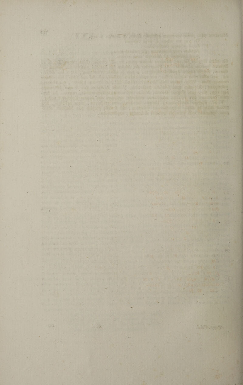 ' . . . \ - N ' ' ' ' . > , , ' • M 1-4.! . - • • •  -rm ■ * <*■ -. •u ■v ' • m