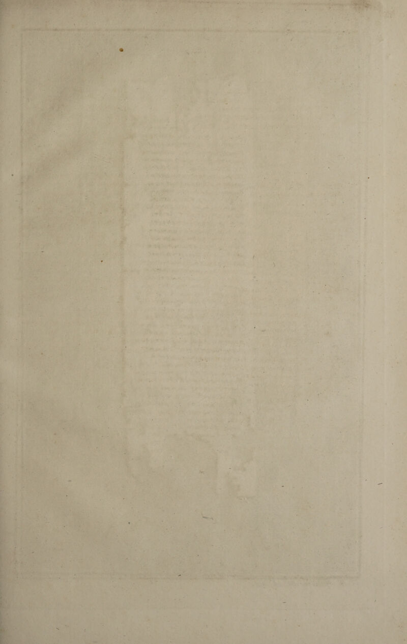 . . r- k ' . rr • « \ £ . .. . : .■ ' . • • ■ • ■ ■ • . V * ■ . . . * ’ t ' I V . . ■ - ' .1, ♦ . ■ . ■ .. • , ■ • . a- 'ff ■ * . . ■ «f- 1 ■