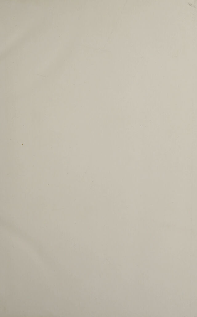 digitised image 3