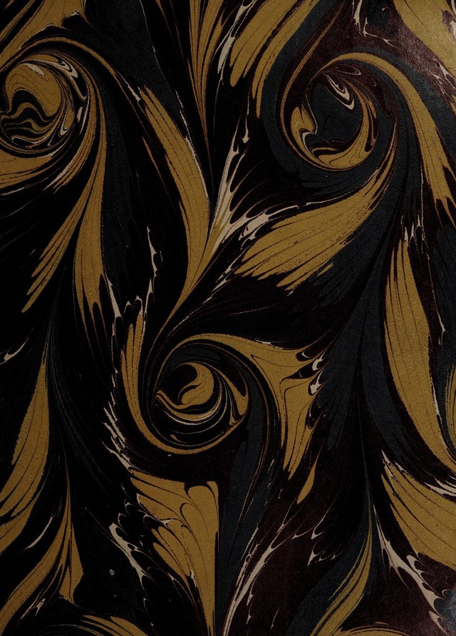 digitised image 3