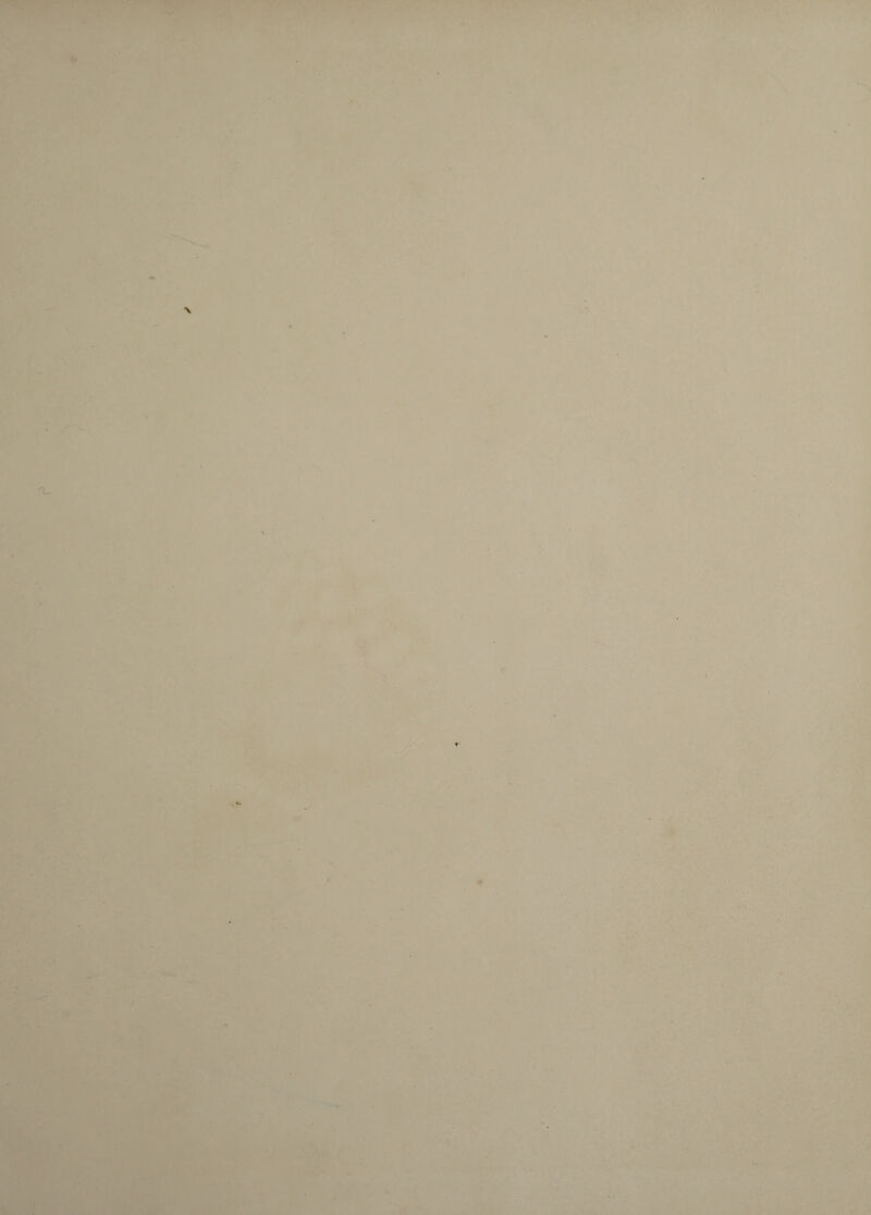 ■■ y>-, ,£fl ^ ^ v’ • ,,’A . w\\. ;*»X , i -fy* . '* •■'. ■ i!» - .tiSl't ** i'- . 'V kflra 4i i/Jt i ' '».» nWlwfc.T'HP'tSIBH^Bl i ^“-*. * ,• i i ' '*ifll^l ■ •■ HP-' ■' ■ ■ '■'' '«* ■• ■• - >■- ■ ■ >' ■ '■ Pi*'-''''' *'i»^‘^^’': ' ' '.. siaK:\, «>_i ■:,. :« ^ >:' .V- - -L 'v- V ••’' '-'OT iif ■ f V i'^ r. '’ -■■■ ■i.t., «'■ .:.-.e'‘ ■* •■■ ^ ' » >1 fw ^ ■ >.-> .-'■ 'r