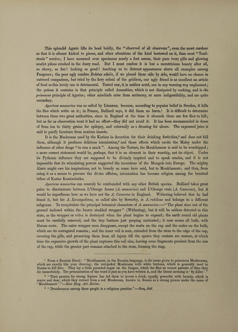 This splendid Agaric lifts its head boldly, the “ observed of all observers ”, even the most careless so that it is oftener kicked to pieces, and other attentions of the kind bestowed on it, than most “ Toad¬ stools ” receive; I have mourned over specimens nearly a foot across, their pure ivory gills and glowing scarlet pileus crushed in the dusty road. But I must confess it is but a meretricious beauty after all, so showy, so fair! looking so good! teacliing us to distrust appearances above all. examples among Funguses; the poor ugly sombre Boletus edulis, if we placed them side by side, would have no chance in outward comparison, but tried by the fiery ordeal of the gridiron, our ugly friend is as excellent an article of food as this lovely one is detrimental. Tasted raw, it is neither acrid, nor in any warning way unpleasant; the poison it contains is that principle called Amanitine, which is not dissipated by cooking, and is the poisonous principle of Agarics; other mischiefs arise from acrimony, or mere indigestibihty, and are quite secondary. Agaricus muscarius was so called by Linnaeus, because, according to popular behef in Sweden, it kills the flies which settle on it; in France, Bulhard says, it did them no harm.^ It is difficult to determine between these two great authorities, since in England at the time it abounds there are few flies to kill; but as far as observation went it had no effect—they did not avoid it. It has been recommended in doses of from ten to thirty grains for epilepsy, and externally as a dressing for ulcers. The expressed juice is said to purify furniture from noxious insects. It is the Mushroom used by the Koriacs in decoction for their drinking festivities,^ and does not kill them, although it produces delirious intoxication,® and those effects which excite the Malay under the influence of other drugs ^^to run a muck^\ Among the Tartars, the Moukhamorr is said to be worshipped; a more correct statement would be, perhaps, that it is an element in their worship, not its object. Under its Pythonic influence they are supposed to be divinely inspired and to speak oracles, and it is not impossible that its stimulating powers suggested the incursions of the Mongols into Europe. The mighty Alaric might owe his inspirations, not to brandy as some have said, but to Moukhamorr; and thus, from using it as a means to procure the divine afflatus, intoxication has become rehgion among the besotted tribes of Koriac Kamtschatka. Agaricus muscarius can scarcely be confounded with any other British species. BuUiard takes great pains to discriminate between L^Oronge fausse {A. mtcscarius) and L^Oronge vraie {A. Casareus), but it would be superfluous here as we have not the A. Casareus in England. Withering believed that he had found it, but his A. Xerampelinus, so called also by Sowerby, is A. rutilans and belongs to a different subgenus. To recapitulate the principal botanical characters of A. muscarius:—“ The plant rises out of the ground inclosed within the brown studded wrapper” (Withering), but it will be seldom detected in this state, as the wrapper or volva is destroyed when the plant begins to expand; the earth round old plants must be carefuUy removed, and the tiny buttons just peeping extricated; it now seems all bulb, with fibrous roots. The outer wrapper soon disappears, except the warts on the cap and the scales on the bulb, which are its corrugated remains; and the inner veil is seen, extended from the stem to the edge of the cap, covering the gills, and preserving them from aU injury till the spores they contain are mature, at wliich time the expansive growth of the plant ruptures this veil also, leaving some fragments pendent from the rim of the cap, while the greater part remains attached to the stem, forming the ring. ^ From a Russian friend: “ Moukhamorr, in the Russian language, is the name given to poisonous Mushrooms, which are exactly hke yom’ drawing; the red-jacket Mushroom with white buttons, which is generally used in Russia to kill flies. They lay a little pounded sugar on the fungus, which the flies no sooner partake of than they die immediately. The pronunciation of the word is just as you have written it, and the literal meaning is ‘ fly-killer 2 “ Their passion for strong liquors has led them to invent a drink, equally powerful with brandy, which is scarce and dear, which they extract from a red Mushroom, known in Russia as a strong poison under the name of ‘ Moukhamorr —Rees Ency. Art. Koriac. ® “ Drunkenness among these people is a religious practice.”—Rees, ibid.