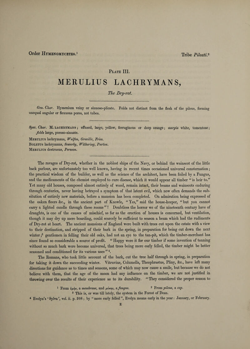 Order HrMENOMYCETEsd Tribe PileatiP' Plate III. MERULIUS LACHRYMANS, Tlie Dry-rot. Gen. Char, Hymenium veiny or sinuoso-plicate. Folds not distinct from the flesh of the pileus, forming unequal angular or flexuous pores, not tubes. Spec, Char. M. lacheymans ; effused, large, yellow, ferruginous or deep orange; margin white, tomentose; folds large, poroso-sinuate. Mekulius lachrymans, Wulfen, Greville, Fries. Boletus lachrymans, Sowerhy, Withering^ Purton. Merulius destruens, Persoon. The ravages of Dry-rot, whether in the noblest ships of the Navy, or behind the wainscot of the little back parlour, are unfortunately too well known, having in recent times occasioned universal consternation; the practical wisdom of the builder, as well as the science of the architect, have been foiled by a Fungus, and the medicaments of the chemist employed to cure disease, which it would appear all timber “ is heir to.” Yet many old houses, composed almost entirely of wood, remain intact, their beams and wainscots enduring through centuries, never having betrayed a symptom of that latent evil, which now often demands the sub- sitution of entirely new materials, before a mansion has been completed. On admiration being expressed of the oaken floors &c.^ in the ancient part of Knowle, “ Yes,” said the house-keeper, “ but you cannot carry a lighted candle through these rooms ” ! Doubtless the horror we of the nineteenth century have of draughts, is one of the causes of mischief, as far as the erection of houses is concerned, but ventilation, though it may dry up mere boarding, could scarcely be sufficient to season a beam which had the rudiments of Dry-rot at heart. The ancient mansions of England were built with trees cut upon the estate with a view to their destination, and stripped of their bark in the spring, in preparation for beiug cut down the next winter gentlemen in felling their old oaks, had not an eye to the tan-pit, which the timber-merchant has since found so considerable a source of profit. “ Happy were it for our timber if some invention of tanning without so much bark were become universal, that trees being more early felled, the timber might be better seasoned and conditioned for its various uses ” The Romans, who took little account of the bark, cut the tree half through in spring, in preparation for taking it down the succeeding winter. Vitruvius, Columella, Theoplirastus, Pliny, &c., have left many directions for guidance as to times and seasons, some of which may now cause a smile, but because we do not believe with them, that the age of the moon had any influence on the timber, we are not justified in throwing over the results of their experience as to its durability. “ They considered the proper season to ^ From v)i7)v, a membrane, and gvKi]s, fungus. ^ From pileus, a cap. ^ This is, or was till lately, the system in the Forest of Dean.