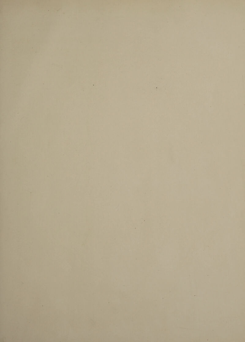 a,- I 'f' IIS m. \ 7 V I r r,.