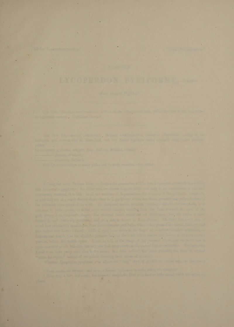 4. /. * * # • r ^ ^ : *1, : * ■ L VC opt-'- O'- .»v (ap.a .-iiC.'. »^ ,j - v Jt'«>ce:i». -.?! c^_v;.'. -‘•'■*THitf~^ * - .♦■: f. ' l\ w n •■ V . . ;-?r.'V. • . ■■. . j- > 'emi vii'i •'’:. i ’*-r. w;->^ ... « .' *. <6 ■■ ticrr^ 4jf w.uiv ■>•. ■•'j'lt ■•■ . i’ ■'^'■Wt^'. - ..'■n.*'-' »; »,,• •,--..Pv .-o-.^Ti ... •. -•■, ' liw' .ui 0 ^Vv- •' i. r<ctfiL-v H ^ ht« '.i • .• \ i-tbr/iitlipff •f' r^'Tse** '* ij ■.«■ »‘i-, -:m:V. • • 'iM* 5 » UlC'Wk'*^«# ^ ■ • . ..: . .'f' :Ky«i«r Jl: |;ii ■» 'iU'**'.'  ^7 .’i.^-Mri ■ :.■■•’■ *(9^1 ' yC-^C. i5oiH|pi'^ V- ■•■■‘rsv. •-, '-UM ?> ad;,-W ..■;■•• ..' .' * < fSWsssf v'u m <- ’*• • '■* ^ - ..a - ;» ■ti'! '■•KUt.’u.iiji' — ■ -ftk'C ‘V '■ ' ■'.■• ' ? (*1*0 \C^'< ' r-** U ■ i -*- , V.. ^''.ij-jojal.,:-' .»,*?; * .jOi V . X ■ t.'cd. ’.r^ii; ‘ki. ..' V . ;■• Ti^' *>*N , • .M - . ,C»), hu \ ' pu t - Ikumd it oi. ,-eci/ -- ‘ ** '•clow ’ ; • 't** •* •' A'/huiW “'*•• • ’ '.'»>• I »u;.' ^ i'. ail.,'. ,rtrr,.. '.- ' Mia r*‘ Tr-m' •'. ' ' ' UiiMri. . • a Jf.v u*' '■ —trift tk • -Ti' ' t V( '*/!« i-i. Vil. V ./.», *V .. ) . ...» Ai f .- .k <• .-‘I,**'' - V) ..•■'• ( ■ ^ •.4Vt...«!' ‘ - ^ ’ » • * ..* • #•! '..', 4iu ■''rV,. :