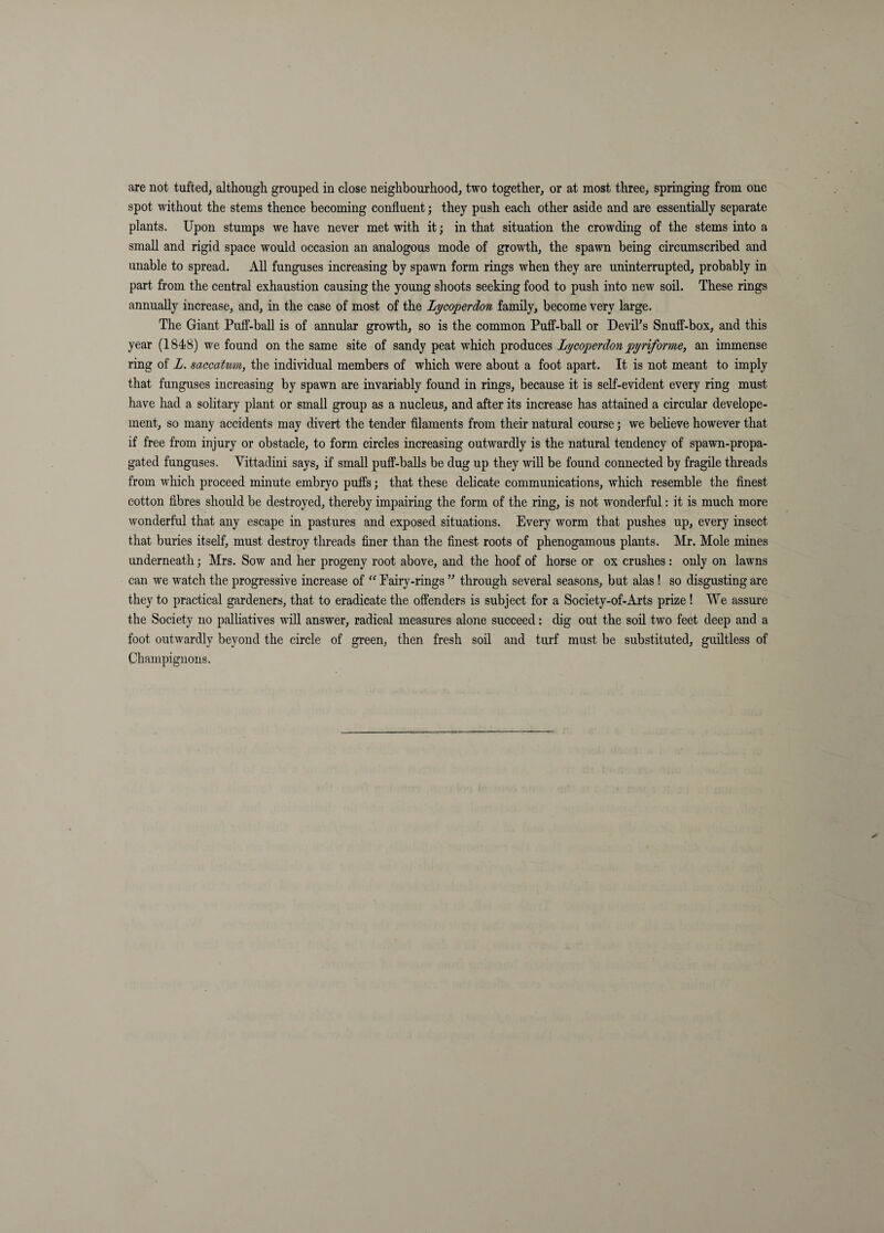spot without the stems thence becoming confluent; they push each other aside and are essentially separate plants. Upon stumps we have never met with it; in that situation the crowding of the stems into a small and rigid space would occasion an analogous mode of growth, the spawn being circumscribed and unable to spread. AU funguses increasing by spawn form rings when they are uninterrupted, probably in part from the central exhaustion causing the young shoots seeking food to push into new soil. These rings annually increase, and, in the case of most of the Lycoperdon family, become very large. The Giant Puff-ball is of annular growth, so is the common Puff-ball or Devifls Snuff-box, and this year (1848) we found on the same site of sandy peat which produces Lycoperdon pyriforme, an immense ring of L. saccdtmn, the individual members of which were about a foot apart. It is not meant to imply that funguses increasing by spawn are invariably found in rings, because it is self-evident every ring must have had a solitary plant or small group as a nucleus, and after its increase has attained a circular develope- ment, so many accidents may divert the tender filaments from their natural course; we believe however that if free from injury or obstacle, to form circles increasing outwardly is the natural tendency of spawn-propa¬ gated funguses. Vittadini says, if small puff-balls be dug up they will be found connected by fragile threads from which proceed minute embryo puffs; that these delicate communications, which resemble the finest cotton fibres should be destroyed, thereby impairing the form of the ring, is not wonderful: it is much more wonderful that any escape in pastures and exposed situations. Every worm that pushes up, every insect that buries itself, must destroy tlireads finer than the finest roots of phenogamous plants. Mr. Mole mines underneath; Mrs. Sow and her progeny root above, and the hoof of horse or ox crushes : only on lawns can we watch the progressive inerease of ‘‘ Eairy-rings through several seasons, but alas ! so disgusting are they to practical gardeners, that to eradicate the offenders is subject for a Society-of-Arts prize ! We assure the Society no palliatives will answer, radical measures alone succeed: dig out the soil two feet deep and a foot outwardly beyond the circle of green, then fresh soil and turf must be substituted, guiltless of Champignons.