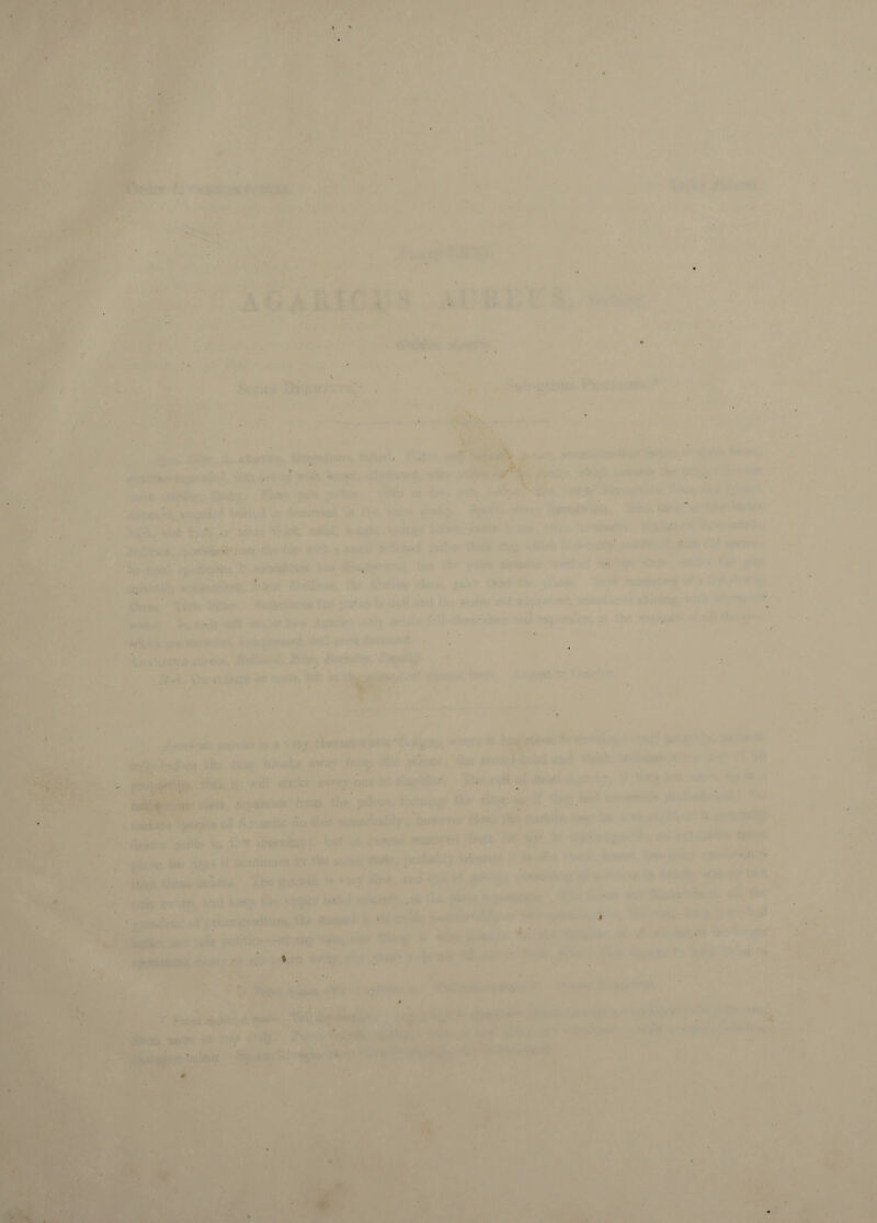 - T  V.. liv. .n' - - kGAUWh  'Ji'..' V^7: ' i»' '^n'»-1*# ■ • 1 A-. f. > , 1 ... 4.. ; •’. '•'•’• V';' ' I,. ... ' • • ' \ ■ r ■ ' 3tt *■•,.•• ,■ ^: >• ‘ • * \ * • » tiy{^ -‘w* S afV'‘!iJ*'W’.<1 ; y v.-i'wrf<* Av. ' H' •> . > * l^.'- •d <•- . •V *r-' \ V • ^ ^ , »>5U' ' ■ *•*!«?» * V’ ■ 'th , -.i'- • • *, .t ■' ; 'J . . I .' u ■ --.v« I .■ I - t -1. L. .> > . ' ..... tVt. ;; m * '0..C •*1^ kuii l &■»< 'i *- .■••1.. .V.' ..of' '•>.'- ] ' • •-:«1.'.T b» A. ®Jlli»* ''U>' * * '••■ ■ 1'!' Vi. v’ ^ '••»'■ • *.• ;• : r*. -.• . i* ^ JU-^ »iwi. i •v.i> • < I >.••.'r: 8 •*• !''> '0 , '•** ' ■ ' V8. 11 v yr “* •»* /r. f I .0 -4. • ..V. ... !«».••■.. »..'••• .. '. ■ ■■ i. • I rl4..V:. r I ' ■'* - > J*i • <• tf ... I tL . . W ? lU a-; ■ jVl „-'-p Ti:-*. »% - ..c^ 11. /I k i A' r 4 - > .< . <