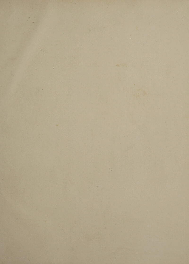 . / W'-: : ‘if V ■■  Y- l’’ ■  *»■ • V ^ *• ’ “ - . • Jh’*-- V r > r- '■■,•4 4t y ^ ■ '■ < ■■ ■ —I - I * k, .‘'A . --jm;- V \ - • ■'• .■>A V • ;> 'WW :{t : '* -•-••• W-'^ A •.j^ »» r •< is *. ■:'k^v, i^>. -' ,’^f.'■ JifiSr *“ i' •■ ••' ji* * i vf*: ilk>’ .r<' »’«*• •* -Ar* ■ r' rijrf! fn  > « * ^ ;■ - .'^- ‘ ■ t ' ■ r . ^ »A . r % r. •_¥ r \ / > K« ^^9 m k Aj V A *k w •iHN * -A '^'^' ^‘8: > ■- v^iSf l!- jt'St-',/. ^ -r^^' ® '■' >. k.^.., , , 'V’ *”'• * L.'j&. ■ • V ' •■'S^-r^. .'.„ • A . • ‘ *■ ' ■ ■•* '^^■•'/'k - •■^«;l^ _fr^*-*' '«•■ ' '*■ ; i, -'^ ^ 1. ■■'■'Jr,, ? '* f»r* f\ 6 - .-k •'f «• ■* ^ 4?l ' :i 4, ^ % * VsAk'iyk, . ^ ^ '4 , • 1 . . ii ■■ • ■ s <~:- -i^ “* _ '■■•>, ■- S. . ■ -' ‘ • i ■■» %«» . • #■ - ,'■■►.'■* .^v '  - ’ ^1* * ^ ■ Sli . : V . .- ’• *• t >% * t k • ..IK- ..:s^- ■ T. — ^ ^ C' x/VPf: ^ ik 4 k. 1 ',* ■ ■ ,*■ i*'. .• . -s i' ■ • ‘ ♦ ,. * «■*- ’ • 1 ' • * V ' ■ » *, 'i ittl-*” T S' ■- I f •< >- • '■ t. )i s ' i . ^- . \V^ -s .‘t I > • ..f W * ' 'V ii ■ki ■> *s? ■ I * .'.  '' ■ 4 ;r. » , • « «• .' ’* . *t ^: :-<?38/.Sv ;.s !&'•'■ ■... .i'-''.'■ ' T'■' '..Sc.v .v:--. . >., •, T . .\.;. .^■■4l»'...k^ak... v^ ; k . v , ' f .'r , .■' 'i',’. J BB><^ ^'K^-WSk^ - •' -.i ®*r1t,’‘'''‘ ■ ^ a,.; ^ ^ ■ ‘ “i .J'-iffli jA- . S '• . *^ V,.vj'- ' ..IK: '•■ *• .' . • ;■• ■'XS:''?: irt' - 'S*. .1 '- ^ . * p K.*/ -f.. -'»» k_ • .^Tk .‘. ■• ■ . t, \ - . '^ »* / ,v< .- . . _ *. >k it-i - . k- .' k.^ fc':. ' ,'.'V** ■■■ i*. <..* ffrf,-, i * t,. .'. .‘/A ;.: .'='?r^4. “4.^* ir . V . A ..J .r ••# ■fk,: KSi . ‘i lhv , ■ R. V...' S. . ' 'SvK M.',- ‘..as A’ 4: .- «• • T-.- J*t-''v,