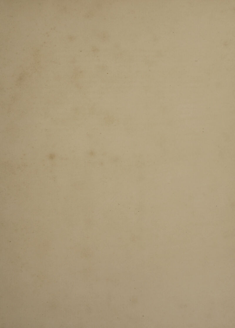 t f ., ■ f \ ■’^ ■■ ;..4 . .ry* > f?' '#■''' * ^ r '. -A*' ' r ’4 1 ■■r..r ‘/t • ^ < ,r-s ^ • Tr» »i?- # ■ . 4v .^ V ■ ***!*'. ' «-'-s. >■ *■»-' • ' • - r ,■ '5^—1^ • *'**’ ‘^'4' .v. , - •'?^ ' -' ,. ■*- , ' .* % . .tT^. * • 1 * ■ * n\ • ^ • p. V - - P* ' ^«'- ‘ i ^ ^  jL ‘ ' , ^TIC fv 'f^ S V ^ -, ;i V - ^, tef- - Tjr •»* i . *i- » t’J^ ir- ^.r'* m B . -■_4'' V ■' •' 'ik’-i t •^- ‘'v- , •: * 'v - ‘ '> • ■f p 1 * t i.f.' ■*5ic -■ r-. ■ * y. ' ■ ’’a — ‘T^x'.>,v .“••^1 .6&( ^ ‘ ‘ .*-* ‘;*' V ..V .-M k. ' *1- ;- « V ' P. .lai \ ' ^ir • V> w> '- yy •. .- ■''t-:i_ ■ i t '..<L^'p-r- 4 . > .t: ^ *lP^” *1 .