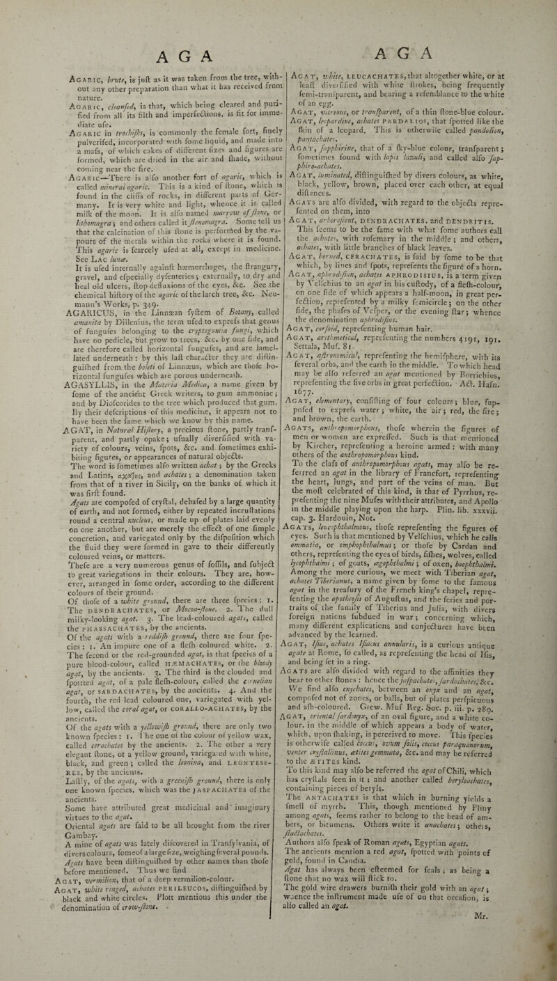 Agaric, brute, is juft as it was taken from the tree, with¬ out any other preparation than what it has received from nature. Agaric, cleanfed, is that, which being cleared and puri¬ fied from all its filth and imperfections, is fit lor imme¬ diate ufe. Agaric in trochifks, is commonly the female fort, finely pulverifed, incorporated with fome liquid, and made into a mafs, of which cakes of different lizes and figures are formed, which are dried in the air and lhade, without coming near the fire. Agaric—There is alfo another fort of agaric, which is called mineral agaric. This is a kind of ftone, which is found in the clifi's of rocks, in different paits of Ger¬ many. It is very white and light, whence it is called milk of the moon. It is alfo named marrow of ftone, or lithomagra’, and others called it Jlenornagr a. Some tell us that the calcination of this ftone is performed by the va¬ pours of the metals within the rocks where it is found. This agaric is fcarcely ufed at all, except in medicine. See Lac lunee. It is ufed internally againft haemorrhages, the ftrangury, gravel, and efpecially dyfenteries; externally, to dry and heal old ulcers, flop defiuxions of the eyes, &c. See the chemical hiftory of the agaric of the larch tree, &c. Neu¬ mann’s Works, p. 349. AGARICUS, in the Linnsean fyftem of Botany, called amanita by Dillenius, the term ufed to exprefs that genus of fungules belonging to the cryptogamia fungi, which have no pedicle, but grow to trees, &c. by one fide, and are therefore called horizontal fungufes, and are lamel- Jated underneath : by this laft character they are diftin- guifhed from the boleti of Linnaeus, which are thofe ho¬ rizontal fungufes which are porous underneath. AGASYLL1S, in the Materia Medico, a name given by fome of the ancient Greek writers, to gum ammoniac; and by Diofcorides to the tree which produced that gum. By their deferiptions of this medicine, it appears not to have been the fame which we know by this name. AGAT, in Natural Hifory, a precious ftone, partly tranf- parent, and partly opake; ufually diverfified with va¬ riety of colours, veins, fpots, See. and fometimes exhi¬ biting figures, or appearances of natural objects. The'word is fometimes alfo written achat ; by the Greeks and Latins, anc^ achates ; a denomination taken from that of a river in Sicily, on the banks of. which it was firft found. Agats are compofed of cryftal, debafed by a large quantity of earth, and not formed, either by repeated incruftations round a central nucleus, or made up of plates laid evenly on one another, but are merely the effeCt of one fimple concretion, and variegated only by the difpofition which the fluid they were formed in gave to their differently coloured veins, or matters. Thefe are a very numerous genus of foftils, and fubjeCt to great variegations in their colours. They are, how¬ ever, arranged in fome order, according to the different colours of their ground. Of thofe of a white ground, there are three fpecies : 1. The dendR achates, or Mocoa-Jlone. 2. The dul milky-looking agat. 3. The lead-coloured agats, called the fhassachates, by the ancients. Of the agats with a reddijh ground, there aie four fpe¬ cies: 1. An impure one of a fleffi coloured white. 2. The fecond or the red-grounded agat, is that fpecies of a pure bicod-colour, called h^machates, or the bloody agat, by the ancients- 3. The third is the clouded and fpottted agat, of a pale flefh-colour, called the cornelian agat, or sardaciiates, by the ancients. 4. And the fourth, the red lead coloured one, variegated with yel¬ low, called the coral agat, os coRALLO-achates, by the ancients. Of the agats with a yellowifh ground, there are only two known fpecies: 1. I he one of the colour of yellow wax, called cerachates by the ancients. 2. The other a very elegant ftone, ot a yellow ground, variegaied with white, black, and green; called the leonina, and leontese- res, by the ancients. Laftly, of the agats, with a greenijh ground, there is only one known fpecies, which was the ] aspactiates of the ancients. .Some have attributed great medicinal and ’ imaginary virtues to the agat. Oriental agats are faid to be ail brought fiom the river Gambay. A mine of agats was lately difeovered in Tranfylvania, of clivers colours, fomeof alargefize, weighingfeveral pounds. A'ats have been diftinguilhed by other names than thofe before mentioned. Thus we find Agat, vermilion, that of a deep vermilion-colour. Agat, white ringed, achates perileucos, diftinguilhed by black and white circles. Plott mentions this under the denomination of crow-Jlont. - Agat, white, leucachates,that altogether white, or at leaf!; diverfified with white ftrokes, being frequently femi-tranfparent, and bearing a refemblance to the white of an egg. Agat, vitreous, or tranfparcnt, of a thin ftone-fclue colour. Agat, leepardine, achates pardai.ios, that fpotted like the Ikin of a leopard. This is otherwife called pandalion, pantackatcs. Agat, fappbirine, that of a flcy-blue colour, tranfparent; fometimes found with lapis lazuli, and called alfo Jap- pbiro-aebates. Agat, luminated, diftinguilhed by divers colours, as white, black, yellow, brown, placed over each other, at equal diftances. Agats are alfo divided, with regard to the objeCts repre- fented on them, into Agat, arborefeent, d endr achates, and dendritis. This feems to be the fame with what fome authors call the aihates, with rofemary in the middle ; and others, achates, with little branches of black leaves. Agat, homed, cerachates, is faid by fome to be that which, by lines and fpots, reprefents the figure of a horn. Agat, aphrodftan, achates aphrodisius, is a term given by Yelichius to an agat in his cuftody, of a flelh-colour, on one fide of which appears a half-moon, in great per¬ fection, reprefented by a milky fimicircle; on the other fide, the phafes of Vefper, or the evening liar; whence the denomination aphrodiftus. Agat, corfbid, reprefenting human hair. Agat, arithmetical, reprefenting the numbers 4191, iqi. Settala, Muf. 8 1. Agat, agronomical, reprefenting the hemifphere, with its feveral orbs, and the earth in the middle. To which head may be alfo referred an agat mentioned by Borrichius, reprefenting the five orbs in great perfection. Act. Hafn. 1677. Agat, elementary, confifling of four colours; blue, fup- pofed to exprefs water; white, the air; red, the fire; and brown, the earth. Agats, antlv opomorphous, thofe wherein the figures of men or women are exprefled. Such is that mentioned by Kircher, reprefenting a heroine armed : with many others of the anthropomorphous kind. To the clafs of anthropomorphous agats, may alfo be re¬ ferred an agat in the library of I'rancfort, reprefenting the heart, lungs, and part of the veins of man. But the moft celebrated of this kind, is that of Pyrrhus, re¬ prefenting the nineMufes with their attributes, and Apollo in the middie playing upon the harp. Plin. lib. xxxvii. cap. 3. Plardouin, Not. Ag ats, leucophthalmous, thofe reprefenting the figures of eyes. Such is that mentioned by Velfchius, which he calls ommatia, or omphophthalmus; or thofe by Cardan and others, reprefenting the eyes of birds, fifties, wolves, called lycophthalmi; of goats, eegophthalmi ; of oxen, boophtbalmi. Among the more curious, we meet with Tiberian agat, aihates Tiberianus, a name given by fome to the famous agat in the treafury of the French king’s chapel, repre¬ fenting the apoiheojis of Auguftus, and the feries and por¬ traits of the family of Tiberius and Julia, with divers foreign nations fubdued in war; concerning which, many different explications and conjectures have been advanced by the learned. Agat, Jftac, achates lftacus annularis, is a curious antique agate at Rome, fo called, as reprefenting the head of Ifis, and being fet in a ring. Agats are alfo divided with regard to the affinities they bear to other ftones : hence the jafpachates,fardochates;See. We find alfo cnychates, between an onyx and an agat, compofed not of zones, or balls, but of plates perfpicuous and afh-coloured. Grew. Muf Reg. Soc. p. iii. p. 289. Agat, orientalfardonyx, of an oval figure, and a white co¬ lour, in the middle of which appears a body of water, which, upon fliaking, is perceived to move. This fpecies is otherwife called toccus, ovum foils, coccus paraquanorum, venter cryflallinus, ettiles gemmata, See. and may be referred to the .etites kind. To this kind may alfo be referred the agat of Chili, which has cry Hals feen in it ; and another called beryloachates, containing pieces of beryls. The antachates is that which in burning yields a fmell of myrrh. This, though mentioned by Pliny among agats, feems rather to belong to the head of am¬ bers, or bitumens. Others write it anaebates-, others, Jladlacbates. Authors alfo fpeak of Roman agats, Egyptian agats. The ancients mention a red agat, fpotted with points cf gold, found in Candia. Agat has always been efteemed for feals ; as being a ftone that no wax will flick to. The gold wire drawers burnifb their gold with an agat; w.ience the inftrument made ufe of on that occalion, is alfo called an agat. Mr.