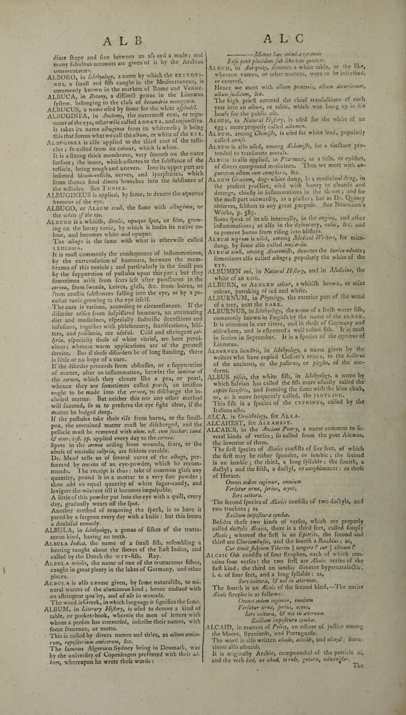 ALB A L C (Hate {bane and fize between an afti and a mule; and many fabulous accounts are given of It by the Arabian commentator5. ALBORO, in Ichthyology, a name by which the erythRi- ,NUS) a fmall red fifh caught in the Mediterranean, is commonly known in the markets of Rome and Venice. ALBUCA, in Botany, a diftindl genus in the Linnaean fyftem, belonging to the clafs of hexandria moncgynia. ALBUGUS, a name ufed bv fome for the white afphodel. ALBUGINEA, in Anatomy, the outermoft coat, or tegu¬ ment of theeye, otherwife called adnat a, and conjunctiva. It takes its name albuginea from its whitenefs ; it being this that forms what we call the album, or white of the eye. Albuginea is alfo applied to the third coat of the telli- cles ; fo called from its colour, which is white. It is aftrong thick membrane, very fmooth on the outer furface ; the inner, which adheres to the fubftance of the teflide, being rough and uneven. Into its upper part are inferred blood-veflels, nerves, and lymphatics, which from thence fend divers branches into the luoftance of the tefticles. See Iunica. ALBUGINEUS is applied, by fome, to denote the aqueous humour of the eye. ALBUGO, or Album oculi, the fame with albuginea, or the white of the eye. Albugo is a whitifh, d'enfe, opaque fpot, or film, grow¬ ing on the horny tunic, by which it looles its native co¬ lour, and becomes white and opaque. The albugo is the fame with what is otherwife called LEUCOMA. It is mod commonly the confequence of inflammations, by the extravafation of humours, between the mem¬ branes of this tunicle ; and particularly in the fmall pox by the fuppuration of puftules upon this part; but they fometimes arife from fears left after pun£lures in the cornea, from fwords, knives, glafs, See. from burns, or from cauftic fubftances falling into the eye, or by a pe¬ culiar tunic growing to the eye itfelf. The cure is various, according to circumftances. If the diforder arifes from infpifiated humours, an attenuating diet and medicines, efpecially fudorific decodbions and infufions, together with phlebotomy, fcarifications, blif- ters, and pediluvia, are ufeful. Cold and aflringent col- lyria, efpecially thofe of white vitriol, are here perni¬ cious ; whereas warm applications are of the greateft fervice. But if thefe diforders be of long handing, there is little or no hope of a cure. If the diforder proceeds from abfeeffes, or a fuppuration of matter, after an inflammation, betwixt the lamina of the cornea, which they elevate like a pea, or pearl, whence they are fometimes called pearls, an incifion ought to be made into the cornea, to difeharge the in¬ cluded matter. But neither this nor any other method will fucceed, fo as to preferve the eye fight clear, if the matter be lodged deep. If the puftules take their rife from burns, or the fmall- pox, the contained matter muft be difeharged, and the pellicle muft be removed with alum. u/l. atm faccbar. cand. cA over. tejl. pp. applied every day to the cornea. Spots in the cornea arifing from wounds, fears, or the abufe of vitriolic collyria, are feldom curable. Dr. Mead tells us of feveral cures of the albugo, per¬ formed by means of an eye-powder, which he recom¬ mends. The receipt is thus: take of common glafs any quantity, pound it in a mortar to a very fine powder ; then add an equal quantity of white fugar-candy, and levigate the mixture till it becomes impalpable. A little of this powder put into theeye with a quill, every day, gradually wears off the fpot. Another method of removing the fpeck, is to have it pared by a furgeon every day with a knife : but this feems a doubtful remedy. ALBULA, in Ichthyology, a genus of fifties of the trutta- ceous kind, having no teeth. Albula lndica, the name of a fmall fifh, refembling a herring caught about the fhores of the Eaft Indies, and called by the Dutch the wiT-fifh. Ray. Albula nobilis, the name of one of the truttaceous fifties, caught in great plenty in the lakes of Germany, and other places. Albula is alfo aname given, by fome naturalifts, to mi¬ neral waters of the aluminous kind ; hence endued with an aflringent qua'ity, and of ufe in wounds. The word isGreek, in which language it fignifies the fame. ALBUM, in Literary Hijlory, is ufed to denote a kind of table, or pocket-book, wherein the men of letters with whom a perfon has converfed, inferibe their names, with fome femence, or motto. This is called by divers names and titles, as album amico- rum, repofitorium amicorum, See. The famous Algernon Sydney being in Denmark, was by the univerfity of Copenhagen prefented with their al¬ bum, whereupon he wrote thefe words : -Manus hac ini mi a iyrannit F.nfe petitplacidam fub libertate quieten:. Album, in Antiquity, denotes a white table, or the like, whereon names, or other matters, were to be inferibed, or entered. Hence we meet with album pratoris, album decurionum, albumjudicum, Scc. The high prieft entered the chief tranfadlions of each year into an album, or table, which was hung up in h:s houfe for the public ufe. Album, in Natural Hijlory, is ufed for the white of an egg ; more properly called albumen. Album, among Chemijls, is ufed for white lead, popularly called cemfs. Album is alfo ufed, among Aubemijls, for a tin£lure pre¬ tended to tranfmute metals. Album is alfo applied, in Pharmacy, as a title, or epithet, of divers compound medicines. Thus we meet with un- guent mn album cum camphor a, Sc c. Album Gracum, dogs white dung, is a medicinal drug, in the prefent practice, ufed with honey to cleanfe and deterge, chiefly in inflammations in the tlnoat ; and for the moft part outwardly, as a plaller ; but as Dr. Quincy obferves, feldom to any great purpofe. See Neumann’s Works, p. 585. Some (peak of its ufe internally, in the angina, and other inflammations; as alfo in the dyfentery, colic, &c. and to prevent burns from rifing into blifters. Album nigrum is ufed, among Medaal 1 Enters, for mice- dung, by fome alfo called muferda. Album oculi, among Anatomi/ls, denotes the tunica adnata', fometimes alfo called albugo; popularly the white of the EYE. ALBUMEN ovi, in Natural Hiftory, and in Medicine, the white of an egg. ALBURN, or Auburn colour, a whitifh brown, or mixt colour, partaking of t ed and white. ALBURNUM, in Phytology, the exterior part of the wood of a tree, next the bark. ALBURNUS, in Ichthyology, the name of a frefin water fifh, commonly known in Englifh by the name of the bleak. It is common in our rivers, and in thofe of Germany and elfewhere, and isefteemeda well tafted-fifh. Ic is moft in feafon in September. It is a fpecies of the cyprinus of Linnaeus. Alburnus lacuflris, in Ichthyology, a name given by the writers who have copied Gefner’s errors, to the bullous of the ancients, or the palierus, or pleyjla, cf the mo¬ derns. AJLBUS pifeis, the white fifh, in Ichthyology, a name by which Salvian has called the fifh more ufually called the capito lacujlris, and feeming the fame with the biue chub, or, as it more frequently called, the jentling. This fifh is a fpecies of the cyprinus, called by the Italians alba. ALCA, in Ornithology, fee Alka. ALCAHEST, fee Alkahest. ALCAICS, in the Ancient Poetry, a name common to fe¬ veral kinds of verfes ; fo called from the poet Alcaeus, the inventor of them. The firft fpecies of Alcaics confifts of five feet, of which the firft may be either fpondee, or iambic ; the fecond is an iambic ; the third, a long fyllable ; the fourth, a da£tyl; and the fifth, a datftyl, or amphimaccr: as thefe of Horace. Omnes eodem cogimur, omnium Verfatur urna, ferius, ocyus, Sors exitura. The fecond fpecies of Alcaics confifts of two da&yls, and two trochees ; as Exilium hnpofitura cymba. Befides thefe two kinds of verfes, which are properly called dattylic Alcaics, there is a third fort, called Amply Alcaic; whereof the firft is an Epitrite, the fecond and third are Choriambujes, and the fourth a Bacthius as. Cur limit fla\vum Ttberim \ tangere ? cur | olivum ? Alcaic Ode confifts of four ftrophes, each of which con¬ tains four verfes: the two firft ■mu Alcaic verfes of the firft kind; the third an iambic dimeter hypercataledic, i. e. of four feet, and a long fyllable : as, Sors exitura, 'A nos in aterrium. The fourth is an Alcaic of the fecond kind.—The entire Alcaic ftropheis as follows : Omnes eodem cogimur, omnium Verfatur urna, ferius, ocyus, Sors exitura, Of nos in ceternum Exilium hnpofitura cymba. ALCAID, in matters of Policy, an officer of juftice among the Moors, Spaniards, and Portuguefe. The word is alfo written aleade, alcalde, and alcayd: fome¬ times a!fo alvacide. It is originally Arabic, compounded of the particle al, and the verb kad, or akad, to rule, govern, adminifler.