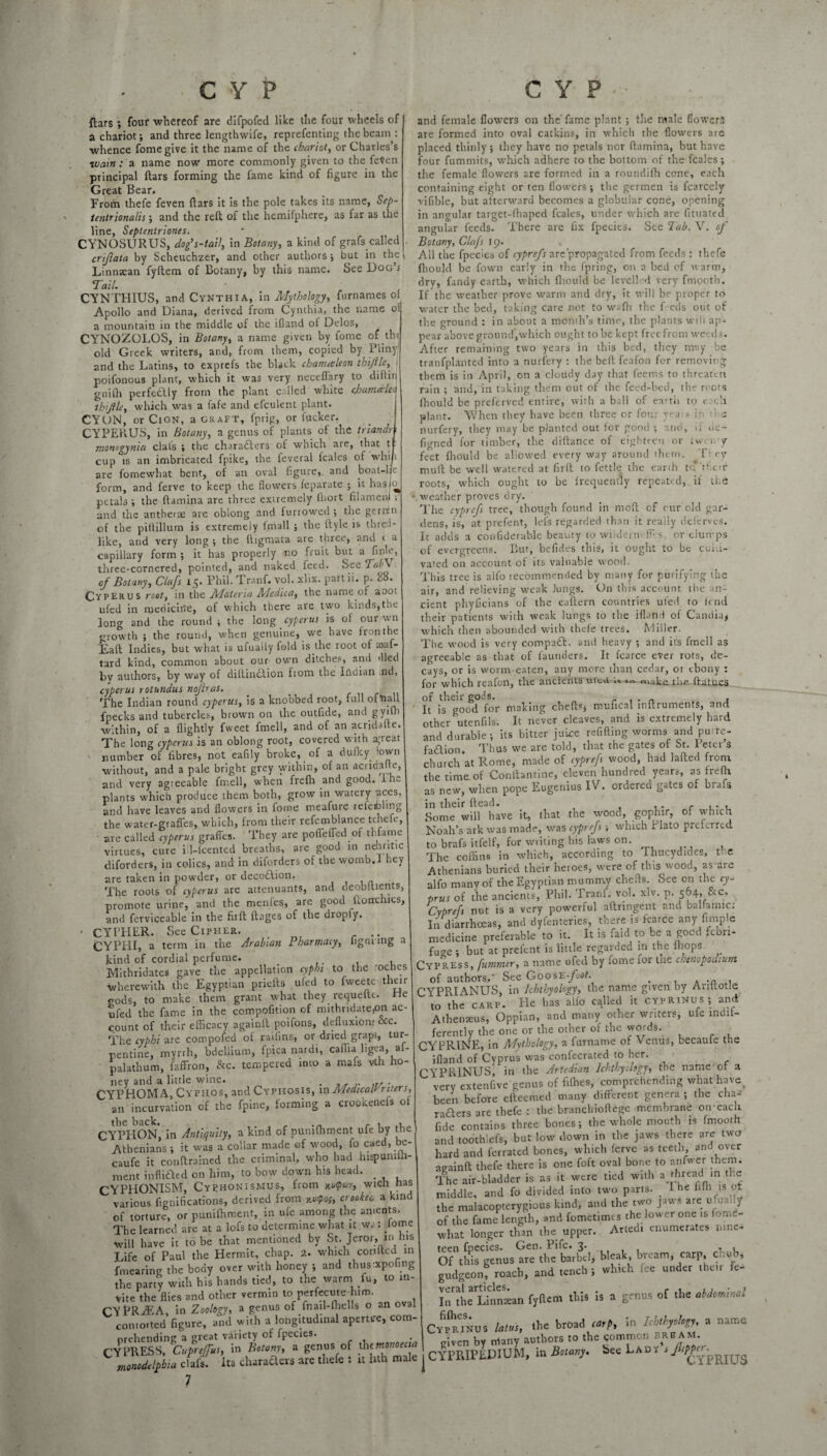 ftars ; four whereof are difpofed like tlie four wheels of a chariot; and three lengthwife, reprefenting thebeain: whence fomegive it the name of the chariot, or Charles’s wain: a name now more commonly given to the fe«cn principal liars forming the fame kind of figure in the Great Bear. From thefe feven liars it is the pole takes its name, Sep- tentrionalis; and the reft of the hemifphere, as far as the line, Septenlriones. CYNOSURUS, dog's-tail, in Botany, a kind of grafs called criflata by Scheuchzer, and other authors ; but in the Linnsan fyftem of Botany, by this name. See Uog’j 4Tail. CYNTHIUS, and Cynthia, in Mythology, furnames of Apollo and Diana, derived from Cynthia, the name oi a mountain in the middle of the ifland of Delos, CYNOZOLOS, in Botany, a name given by fome of th old Greek writers, and, from them, copied by^ Pliny and the Latins, to exprefs the black chanueleon thijlle, poifonous plant, which it was very neceflary to diftin guilh perfectly from the plant called white efamede' thijlle, which was a fafe and efculent plant. CYON, or Cion, a graft, fprig, or fucker. CYPERUS, in Botany, a genus of plants of the triandr monogynia clals ; the characters of which are, that tj cup is an imbricated fpike, the feveral feales of whip are fomewhat bent, of an oval figure, and boal-ue form, and ferve to keep the flowers feparate ; it hasic petals ; the ftamina are three extremely fliort filamenf ; and the antheiae are oblong and furiowed ; the gerrtn of the piltillum is extremely lmall ; the ftyle is thred- like, and very long; the lligmata are three, and i a capillary form ; it has properly no fruit but a finle, three-cornered, pointed, and naked feed. See Yia/Y of Botany, Clafs 15. Phil. Tranf. vol. xlix. partii. p. Cyperus root, in the Materia Mcdica, the name of aoot ufed in medicine, of which there are two kinds,the long and the round; the long _ cyperus is of ourwn growth ; the round, when genuine, we have fronthe Eaft Indies, but what is ufuaily fold is the root of toaf- tard kind, common about our own ditches, and died by authors, by way of dillinction from the Ihdian .nd, cyperus rotundus nojbas. The Indian round cyperus, is a knobbed root, full ofhall fpecks and tubercles, brown on the outfide, and g yiDi within, of a Rightly fweet fmell, and of an acridafte. The long cyperus is an oblong root, covered with apeat number of fibres, not eafily broke, of a dufley 'own without, and a pale bright grey within, of an acridafte, and very agieeable fmell, when frefh and good, ihe plants which produce them both, grow in watery aces, and have leaves and flowers in fome meafure releiblmg the water-graffes, which, from their refemblance tchefe, are called cyperus graffes. They are poflefled or thfame virtues, cure iil-fcented breaths, are good in neuritic diforders, in colics, and in diforders of the wornb.l hey are taken in powder, or decoftion. The roots of cyperus are attenuants, and deobltients, promote urine, and the menfes, are good ftonrchics, and ferviceable in the firft ftages of the dropiy. • CYPHER. See Cipher. . CYPIII, a term in the Arabian Pharmacy, lignnng kind of cordial perfume. _ Mithridates gave the appellation cyphi to the roches wherewith the Egyptian priefts ufed to fweete their gods, to make them grant what they requellt. tie ufed the fame in the compofition of mithridatepn ac¬ count of their efficacy againll poifons, defluxion; occ. The cyphi are compofed of raifins, or dried grapj, tur¬ pentine, myrrh, bdellium, fpica nardi, caffia ligea, af- palathum, faffron, &c. tempered into a mafs vth ho¬ ney and a little wine. . ,, . CYPHOM A, Cyphos, and Cyphosis, in MedtcalVriters, an incurvation of the fpine, forming a crookenefs of CYPHON, in Antiquity, a kind of punifhment ufe by the Athenians ; it was a collar made of wood, fo caed, be- caufe it couftrained the criminal, who bad hispumih- ment inflifted on him, to bow down his head. _ CYPHONISM, CyEHONISMUS, from wich has various fignifications, derived from xvtpos, crookea a kind of torture, or punifhment, in ufe among the an.ents. The learned are at a lofs to determine what it wa: fome will have it to be that mentioned by St. Jeror, in his Life of Paul the Hermit, chap. 2. which coofted in fmearing the body over with honey ; and thusxpofing the party with his hands tied, to the warm fu, to in¬ vite the flies and other vermin to^erfecute him. CYPRaEA, in Zoology, a genus of fnail-fhells o an oval contorted figure, and with a longitudinal apertire, com¬ prehending a great variety of fpecies. CYPRESS, Cupreffus, in Botany, a genus of thtmonoecia monodelpbia clafs. its charafters are thefe : n luh male 7 and female flowers on the' fame plant ; the male flowers are formed into oval catkins, in which the flowers are placed thinly ; they have no petals nor ftamina, but have four fummits, which adhere to the bottom of the feales; the female flowers are formed in a roundifh cone, each containing eight or ten flowers; the germen is l'carcely vifible, but afterward becomes a globular cone, opening in angular target-ffiaped feales, under which are fituated angular feeds. There are fix fpecies. See lab. V. of Botany, Clafs 19. All the fpecies of cyprefs are propagated from feeds: thefe fliould be fown early in the fpring, on a bed of warm, dry, fandy earth, which fliould be levelled very fmooth. If the weather prove warm and dry, it will be proper to water the bed, taking care not to walh the feeds out of the ground : in about a month’s time, the plants will ap¬ pear above ground,which ought to be kept free from weeds. After remaining two years in this bed, they may be tranfplantcd into a nurlery : the beft feafon for removing them is in April, on a cloudy day that feems to threaten rain ; and, in taking them out of the feed-bed, the mots ffiould be preferved entire, with a ball of eanu to c c'l plant. When they have been three or fou: yea s if e nurfery, they may be planted out for good ; and, .1 ile- figned for timber, the diftance of eighteen or twt n-y feet fliould be allowed every way around them. T;ey mull be well watered at firft to fettle the earth to their roots, which ought to be frequently repeated, it the .weather proves dry. The cyprefs tree, though found in moft cf cur old gar¬ dens, is, at prefent, Ids regarded than it really tJeferves. It adds a conGderable beauty to wiiderm ff s or clumps of evergreens. But, befides this, it ought to be culti¬ vated on account of its valuable wood. This tree is alfo recommended by many for purifying the air, and relieving weak Jungs. On this account the an¬ cient phyficians of the eaftern countries ufed to lend their patients with weak lungs to the ifl.md of Candia; which then abounded with thefe trees. Miller. The wood is very compaft. anti heavy ; and its fmell as agreeable as that of launders. It fcarce ever rots, de¬ cays, or is worm-eaten, any more than cedar, 01 ebony : for which reafon, the ancients ufed u to make the ftatues of their gods. , . n . , It is good for making chefts* mufical inflruments, and other utenfils. It never cleaves, and is extremely hard and durable; its bitter juice refilling worms and putte- fadlion. Thus we are told, that the gates of St. Peter’s church at Rome, made of cyprefs wood, had lafled from, the time of Conftantine, eleven hundred years, as frefh as new, when pope Eugenius IV. ordered gates of brafs in their {lead. Some will have it, that the wood, gophir, of which Noah’s ark was made, was cyprefs -, which Plato preferred to brafs itfelf, for writing his laws on. The coffins in which, according to Thucydides, the Athenians buried their heroes, were of this wood, as are alfo manvof the Egyptian mummy chefts. See on the cy- prus of the ancients, Phil. Tranf. vol. xlv. p. 5&4».&c. Cyprefs nut is a very powerful aftringent and balfamic; In diarrhoeas, and dyfenteries, there is fcarce any fimple medicine preferable to it. It is faid to be a good febri¬ fuge ; but at prefent is little regarded m the {hops Cypress, fummer, a name ufed by fome ior tne chenopodium of authors,.* See Goose-foot. , CYPRIANUS, in Ichthyology, the name given by Ariitotle to the carp, tie has alio called it cyprinus; and Athenseus, Oppian, and many other writers, ufe indif¬ ferently the one or the other of the words. CYPRINE, in Mythology, a furname of Venus, became the ifland of Cyprus wasconfecrated to her. CYPRINUS, in the Artedian Ichthyology, the name of a very extenfive genus of fiffies, comprehending what have been before elleemed many different genera ; the cha- rafters are thefe : the branchiollege membrane on each fide contains three bones; the whole mouth is fmooth and toothlefs, but low down in the jaws there are two hard and ferrated bones, which ferve as teeth and over aeainft thefe there is one foft oval bone to anfwer them. The air-bladder is as it were tied with a thread m the middle, and fo divided into two parts. I he iilh is flt the malacopterygious kind, and the two jaws are ufua f of the fame length, and fometimes the lower one is ton.e- what longer than the upper. Artedi enumerates nine¬ teen fpecies. Gen. Pifc. 3* , , , , Of this genus are the barbel; bleak, bream, carp, c.m> , gudgeon, roach, and tench; which fee under their fe- I^theLinnsean fyftem this is a genus of the abdominal Cyprus latus, the broad carp, in Ichthyology, a name given by many authors to the Common BREAM jCYPRIPEDIUM, in Botany, bee Lady