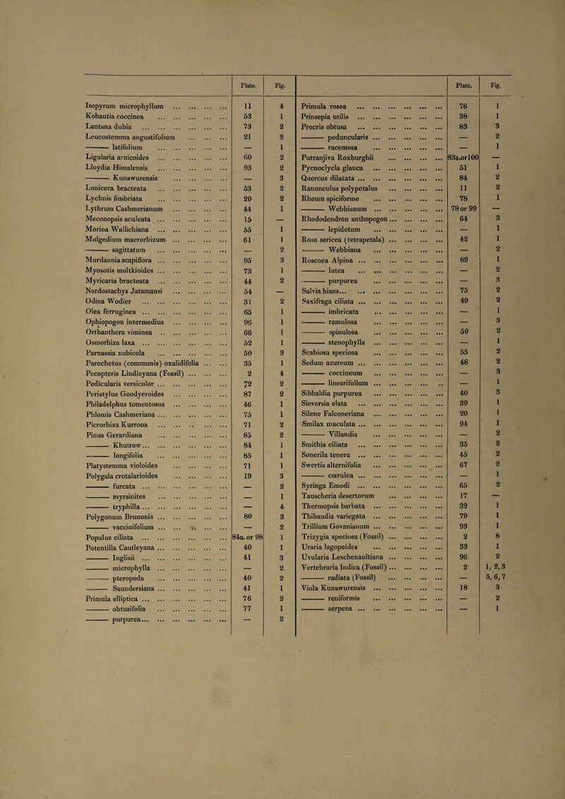 Plate. Fig. Plate. Fig. Isopyrum microphyllum . 11 4 Primula rosea . 76 1 Kohautia coccinea . 53 1 Prinsepia utilis . 38 1 Lantana dubia . 73 2 Procris obtusa . 83 3 Leucostemma angustifolium . 21 2 - peduncularis. — 2 - latifolium . — 1 - racemosa . — 1 Ligularia arnicoides . 60 2 Putranjiva Roxburghii . 83a.orl00 — Lloydia Himalensis . 93 2 Pycnoclycla glauca . 51 1 - Kunawurensis . — 3 Quercus dilatata. 84 2 Lonicera bracteata . 53 2 Ranunculus polypetalus . 11 2 Lychnis fimbriata . 20 2 Rheum spiciforme . 78 1 Lythrum Cashmerianum . 44 1 - Webbianum . 78 or 99 — Meconopsis aculeata . 15 — Rhododendron anthopogon. 64 3 Morina Wallichiana . 55 1 - lepidotum . — 1 Mulgedium macrorhizum . 61 1 Rosa sericea (tetrapetala). 42 1 - sagittatum . — 2 - Webbiana . — 2 Murdannia scapiflora . 95 3 Roscoea Alpina. 89 1 Myosotis moltkioides. 73 1 - lutea . — 2 Myricaria bracteata . 44 2 - purpurea . — 3 Nardostachys Jatamansi . 54 — Salvia hians. 75 2 Odina Wodier . 31 2 Saxifraga ciliata. 49 2 Olea ferruginea . 65 1 - imbricata . — 1 Ophiopogon intermedius . 96 1 - ramulosa . — 3 Orthanthera viminea . 66 1 - spinulosa . 50 2 Osmorhiza laxa . 52 1 - stenophylla . — 1 Parnassia nubicola . 50 3 Scabiosa speciosa . 55 2 Parochetus (communis) oxalidifolia. 35 1 Sedum azureum. 48 2 Pecopteris Lindleyana (Fossil). 2 4 - coccineum . — 3 Pedicularis versicolor. 72 2 - linearifolium. — 1 Peristylus Goodyeroides . 87 2 Sibbaldia purpurea . 40 3 Philadelphus tomentosus . 46 1 Sieversia elata . 39 1 Phlomis Cashmeriana. 75 1 Silene Falconeriana . 20 1 Picrorhiza Kurrooa . . 71 2 Smilax maculata. 94 1 Pinus Gerardiana . 85 2 ■- Villandia . — 2 - Khutrow. 84 1 Smithia ciliata . 35 2 - longifolia . 85 1 Sonerila tenera . 45 2 Platystemma violoides . 71 1 Swertia alternifolia . 67 2 Polygala crotalarioides . 19 3 - ccerulea. — 1 - furcata . — 2 Syringa Emodi . 65 2 - myrsinites . — 1 Tauscheria desertorum . 17 — - tryphilla. — 4 Thermopsis barbata . 32 1 Polygonum Brunonis. 80 3 Thibaudia variegata . 79 1 - vaccinifolium. — 2 Trillium Govanianum. 93 1 Populus ciliata . 84a. or 98 1 Trizygia speciosa (Fossil). 2 8 Potentilla Cautleyana. 40 1 Uraria lagopoides . 33 1 - Inglisii . 41 3 Uvularia Leschenaultiana. 96 2 - microphylla . — 2 Vertebraria Indica (Fossil). 2 1,2,3 - pteropoda . 40 2 - radiata (Fossil) . — 5, 6,7 - Saundersiana. 41 1 Viola Kunawurensis . 18 3 Primula elliptica. 76 2 - reniformis . — 2 - obtusifolia . 77 1 — 1 - purpurea.