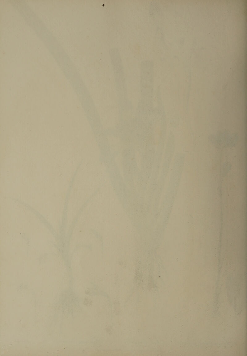 . . * * « ' ■ ' * . ■ . *