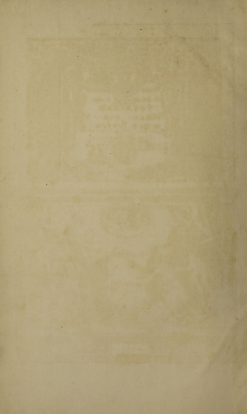 A •• * . ' ' -v . • * . • ’i'* . • ' f\ * 1. ' ' 1 ■ r ■ ■■ ■*;■ ‘V ■< i- j # >f • 'Si' . * { •. ti t • ■