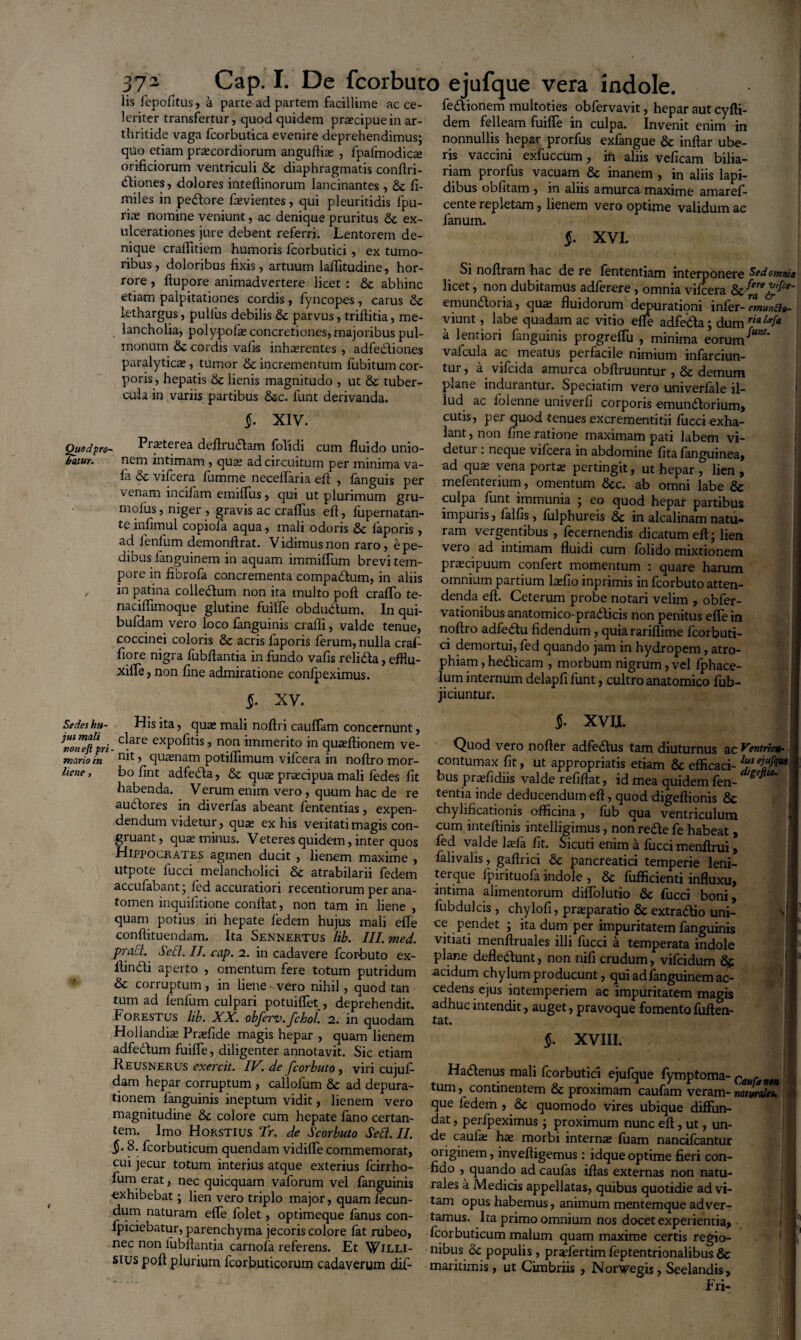 lis fepofltus, a parte ad partem facillime ac ce- fedionem multoties obfervavit, heparautcvfti- lenter transfertur, quod quidem praecipue in ar- dem felleam fuiffe in culpa. Invenit enim in thritide vaga fcorbutica evenire deprehendimus; nonnullis hepar prorfus exfangue & inflat* ube- quo etiam prtecordiorum anguftia; , fpafmodica» ris vaccini exfuccum , in aliis veficam bilia- ormciorum ventriculi & diaphragmatis conflri- riam prorfus vacuam & inanem , in aliis lapi- dhones, dolores inteftinorum lancinantes , & fi- dibus oblitam , in aliis amurca maxime amaref- miles in pedore fatvientes, qui pleuritidis lpu- cente repletam, lienem vero optime validum ac rite nomine veniunt, ac denique pruritus & ex- fanum. ” ulcerationes jure debent referri. Lentorem de- f XVL nique craflitiem humoris fcorbutici, ex tumo¬ ribus , doloribus fixis, artuum lafiitudine, hor¬ rore , llupore animadvertere licet : & abhinc etiam palpitationes cordis , fyncopes, carus & lethargus, pullus debilis 8c parvus, trilfitia, me- lancholia, polypola; concretiones, majoribus pul¬ monum & cordis vafis inhterentes , adfediones paralytica, tumor & incrementum fubitum cor¬ poris, hepatis & lienis magnitudo , ut & tuber¬ cula in variis partibus &c. lunt derivanda. §• XIV. Quod pro- Praeterea deftrudam lolidi cum fluido unio- butur. nem intimam , qua; ad circuitum per minima va- fa & vifcera fumme neceffaria efl , fanguis per venam incifam emiffus, qui ut plurimum gru- molus, niger , gravis ac crafliis efl, fupernatan- teinfimul copiofa aqua, mali odoris & laporis , ad fenlum demonftrat. Vidimus non raro, e pe¬ dibus fanguinem in aquam immiffum brevi tem¬ pore in fibrofa concrementa compadum, in aliis / in patina colledum non ita multo pofl craffo te- naciflimoque glutine fuiffe obduaum. In qui- bufdam vero loco fanguinis crafli, valde tenue, coccinei coloris & acris faporis ferum, nulla craf fiore nigra fubflantia in fundo vafis relida, efflu- xiffe, non fine admiratione confp eximus. $. XV. Sedes ku- His ita, quae mali noftri cauflam concernunt, onlftpri. clare exP°iitis j non immerito in qua;ftionem ve- marioin nit, quamarn potillimum vifcera in noflro mor- liene, bo fint adfeda, & quae praecipua mali fedes fit habenda. Verum enim vero, quum hac de re audores in diverfas abeant fententias, expen¬ dendum videtur, quae ex his veritati magis con¬ gruant, quae minus. Veteres quidem, inter quos Hippocrates agmen ducit , lienem maxime , utpote fucci melancholici &c atrabilarii fedem accufabant; led accuratiori recentiorum per ana- tomen inquifitione conflat, non tam in liene , quam potius iri hepate fedem hujus mali effe conftituendam. Ita Sennertus lib. III. med. praei. Sebi. II. cap. 2. in cadavere fcorbuto ex- lbndi aperto , omentum fere totum putridum & corruptum, in liene-vero nihil, quod tan tum ad lenium culpari potuiffet, deprehendit. Forestus lib. XX. obferv. fchol. 2. in quodam Hollandiae Praffide magis hepar , quam lienem adfedum fuiffe, diligenter annotavit. Sic etiam Reusnerus exercit. IV. de fcorbuto , viri cujuf- dam hepar corruptum , callofum & ad depura- tionem fanguinis ineptum vidit, lienem vero magnitudine Sc colore cum hepate fano certan¬ tem. Imo Horstius Tr. de Scorbuto Sebi. II. 8. fcorbuticum quendam vidiffe commemorat, cui jecur totum interius atque exterius fcirrho- fum erat, nec quicquam vaforum vel fanguinis exhibebat; lien vero triplo major, quam fecun¬ dum naturam efle folet, optimeque fanus con- fpiciebatur, parenchyma jecoris colore fat rubeo, nec non fubflantia carnofa referens. Et 'Willi- sius pofl plurium lcorbuticorum cadaverum dif- Si noflram hac de re fententiam interponere S*domna. licet, non dubitamus adferere, omnia vifcera emundoria, qua fluidorum depurationi infer- emunftt- viunt, labe quadam ac vitio effe adfeda; dum rial*f* a lentiori fanguinis progreffu , minima eorum ^ vafcula ac meatus perfacile nimium infarciun¬ tur , a vifeida amurca obflruuntur , & demum plane indurantur. Speciatim vero univerfale il¬ lud ac folenne univerfi corporis emundorium, cutis, per quod tenues excrementitii fucci exha¬ lant , non fine ratione maximam pati labem vi- detui . neque vifcera in abdomine fita fanguinea, ad qua; vena porta; pertingit, ut hepar , lien , mefenterium, omentum &c. ab omni labe & culpa funt immunia ; eo quod hepar partibus impuris, falfis, fulphureis & in alcalinam natu¬ ram vergentibus , fecernendis dicatum efl; lien vero ad intimam fluidi cum folido mixtionem praecipuum confert momentum : quare harum omnium partium l^fio inprimis in fcorbuto atten¬ denda efl. Ceterum probe notari velim , obfer- vationibus anatomico-pradicis non penitus effe in noflro adfbdu fidendum, quia rariflime fcorbuti¬ ci demortui, fed quando jam in hydropem, atro¬ phiam , hedicam , morbum nigrum, vel fphace- lum internum delapfi funt, cultro anatomico fub- jiciuntur. $. XVU. I Quod vero nofler adfedus tam diuturnus ac Ventiicib J contumax fit, ut appropriatis etiam & efficaci- l£■ bus pryfidiis valde refiftat, id mea quidem fen- tentiainde deducendum efl, quod digeftionis & chylificationis officina , fub qua ventriculum cum inteffinis intelligimus, non rede fe habeat, fed valde laria fit. Sicuti enim a fucci menftrui > falivalis, gaftrici &c pancreatici temperie leni- teique fpirituofa indole , & fufficienti influxu, intima alimentorum diffolutio &c fucci boni, fub dulcis , chylofi, prreparatio & extra&io uni¬ ce pendet ; ita dum per impuritatem fanguinis vitiati menftruales illi fucci a temperata indole plane defledunt, non nifi crudum, vifeidum 85 acidum chylum producunt, qui adfanguinem ac¬ cedens ejus intemperiem ac impuritatem magis adhuc intendit, auget, pravoque fomento fuften- tEt» §. XVIII. Hadenus mali fcorbutici ejufque fymptoma- Qaufann J tum, continentem & proximam caufam veram- naturales. que fedem , &c quomodo vires ubique diffun¬ dat , perfpeximus; proximum nunc efl, ut, un- de caula; ha; morbi internas fuam nancifcantur onginem, invefligemus : idque optime fieri con¬ fido , quando ad caufas iftas externas non natu¬ rales a Medicis appellatas, quibus quotidie ad vi¬ tam opus habemus, animum mentemque adver¬ tamus. Ita primo omnium nos docet experientia, fcorbuticum malum quam maxime certis regio¬ nibus & populis, pratfertim feptentrionalibus & maritimis, ut Cimbriis , Nor^egis, Seelandis, _- r« ' Fri-