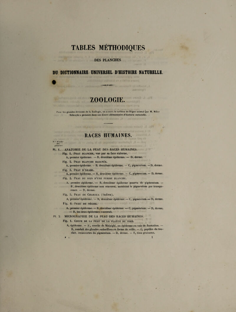 TABLES MÉTHODIQUES DES PLANCHES DU DICTIONNAIRE UNIVERSEL D’HISTOIRE NATURELLE. ZOOLOGIE. l’otu les grandes divisions de la Zoologie, on a suivi le luhleau du Règne animal que M. Milue Edwards a présente dans son Cours élémentaire d’histoire naturelle. RACES HUMAINES. Nv» d'ordre des planches PI. I. ANATOMIE DE LA PEAU DES RACES HUMAINES. Fig. 1. Peau blanche, vue par sa face externe. A, premier épiderme. —B, deuxième épiderme. — D, derme. Fig. 2. Peau blanche basanée. A, premierépiderme. — B. deuxième épiderme. — C, pigmentum. —D, derme. Fig. 3. Peau d’Arabe. A, premierépiderme. — B, deuxième épiderme. — C, pigmenlum.— D, derme. Fig. k. Peau du sein d’une femme blanche. A, premier épiderme. — B, deuxième épiderme pourvu de pigmentum. — B , deuxième épiderme non renversé, montrant le pigmentum par transpa¬ rence. — D, derme. Fig. 5. Peau de Charrva (Indien). A, premier épiderme. — B, deuxième épiderme.— C, pigmentum.— D, derme. Fig. 6. Peau df. nègre. A, premier épiderme. — B, deuxième épiderme. — C, pigmenlum. — D, derme. — B, les deux épidermes renversés. PI. 2. MICROGRAPHIE DE LA PEAU DES RACES HUMAINES. Fig. 1. Coupe de la peau de la plante du pied. A, épiderme. — A', couche de Malpighi, ou épiderme en voie de formation. — B, conduit des glandes sudorifères en forme de vrille. — C, papilles du lou¬ cher, recouvertes du pigmentum. — D, derme. — E, tissu graisseux. 1