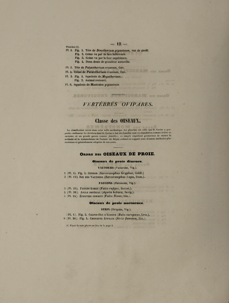 Planches (1). P). 2. Fig. 1. Tète de Dinothérium giganteum, vue de profil. Fig. 2. Crâne vu par la face Inférieure. Fig. 3. Crâne vu par la face supérieure. F’ig. 4. Deux dents de grandeur naturelle. J’I. 3. Tête de Palœotherium crassum, Cuv. PI. 4. Crâne de Palœotherium crassum, Cuv. PI. 5. Fig. 1. Squelette de Mégathérium. Fig. 2. Animal restauré. PI. 6. Squelette de Mastodon giganteum VERTÉBRÉS OVIPARES. Classe des 01SKAIX. La classification suivie dans cette table méthodique des pluuches esl celle que G. Cuvier a pro¬ posée: seulement les divisions dont G. Cuvier a fait des familles sont ici considérées comme tribus ou sections, et ses grands genres comme familles , ce simple expédient permettant de mettre la méthode et la nomenclature de l’auteur du Règne animal en rapport avec d’autres méthodes pins modernes et généralement adoptées de nos jours. Ordre des OISEAUX DE PROIE. Oiseaux de proie diurnes. VAUTOURS (Vulluridæ, Vig.). 1 (PI. l). Fig. 1. Condor (Sarcoramphus Gryphus, Goldf.) 2 (PI. 13). Rot des Vautours (Sarcoramphus l apa, Dum.). FAUCONS (Falconidœ, Vig.). 3 (PI. 23). Faucon Kobez (Falco rufipes, Bechst.). 4 (PI. 28). Aigle impérial (Aquila heliaca, Savig.). 5 (PI. 24). Épervier commun (Falco Nisus, Lin.). Oiseaux de proie nocturnes. STRIA (Strigidœ, Vig.). (PI. I). Fig. 2. Grand-Duc d’Europe (Bubo europœus, Less.). 0 (PI. 26). Fig. 1. Chouette Effraie (Slrix flammea, Lin.). (I) Voyez la note placée au bus de lu page 4.