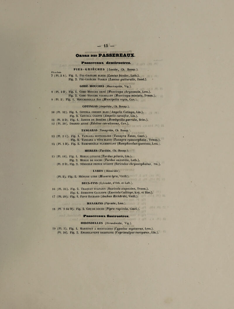 Ordre des PASSEREAUX. Passereaux dentirostres. PIES-GRIÈCHES (Lanidœ, Ch. Bonap.). Planches. 7 (P). 2 A). Fig. 1. Pie-Grièche bleue (Lanius bicolor, Lalli.). Fig. 2. Pie-Grièche Perrin (Lanius gutturalis, Dand.). GOBE-MOUCHES (Muscicapidœ, Vig). S (PI. 2 B,'. Fig. 1. Gobe-Mouche orné [Muscicapa chrysomela, Less.). Fig. 2. Gobe-Mouche vermillon (Muscicapa miniata, Temm.). 9 (PI. 2). Fig. 1. Moucherolle Iloi (Muscipetta regia, Cuv.l. COTINGAS (Ampelidœ, Ch. Bonap.). 10 (PI. 32). Fig. 1. Cotinga cordon bleu (Ampelis Cotinga, Lin.). Fig. 2. Cotinga Ouette (Ampelis carnifex, Lin.). 11 (PI. 2 D). Fig. 1. Jaseur de Bohème (Bombycilla garrula, Briss.). 12 (PI. 20). Dronzo azuré (Edolius cœrulescens, Cnv.). TANGARAS (Tanagridœ, Ch. Bonap.'. 13 (PI. 2 C). Fig. 1. Tangara seuticolore (Tanagra Talao, Gmel.). Fig. 2. Tangara a tète bleue (Tanagra cyanocephala, Temm.). I/i (PI. 3 B). Fig. 2. Ramphocèle flamboyant (Ramphocelusignescens,Less.'j. MERLES (Turdidœ, Ch. Bonap.). 15 (PI. 18). Fig. 1. Merle litorne (Tardas pilarin, Lin.). Fig. 2. Merle de roche (Turdus saxatilis, Latli.). (PI. 2 D). Fig. 2. Séricule prince régent (Sericulus chrysocephalus, Svv.). LYRES (Menuridœ). (PI. 2). Fig. 2. Ménure lyre (Menura lyra, Vieill.). BECS-FINS (Sylviadœ, d’Orb. et Lafr.). 10 (PI. 35). Fig. 2. Traquet stapazin [Saxicola slapazina, Temm.). Fig. 1. Rubif.tte Calliope {Lusciola Calliope, Key. et Blas.). 17 (PI. 29). Fig. 1. Pipit Richard (Aiuhus RichOrdii, Vieill.). MANAKINS (Pipradæ, Less.). 18 (PI. 3 bis B). Fig. 2. Coq de roche (Pipra rupicola, Gmel.). Passereaux fissirostres. HIRONDELLES (Uirundinidœ, Vig.). 19 (PI. 3). Fig. 1. Martinet a moustaches (Cypselus mystaceus, Less.).