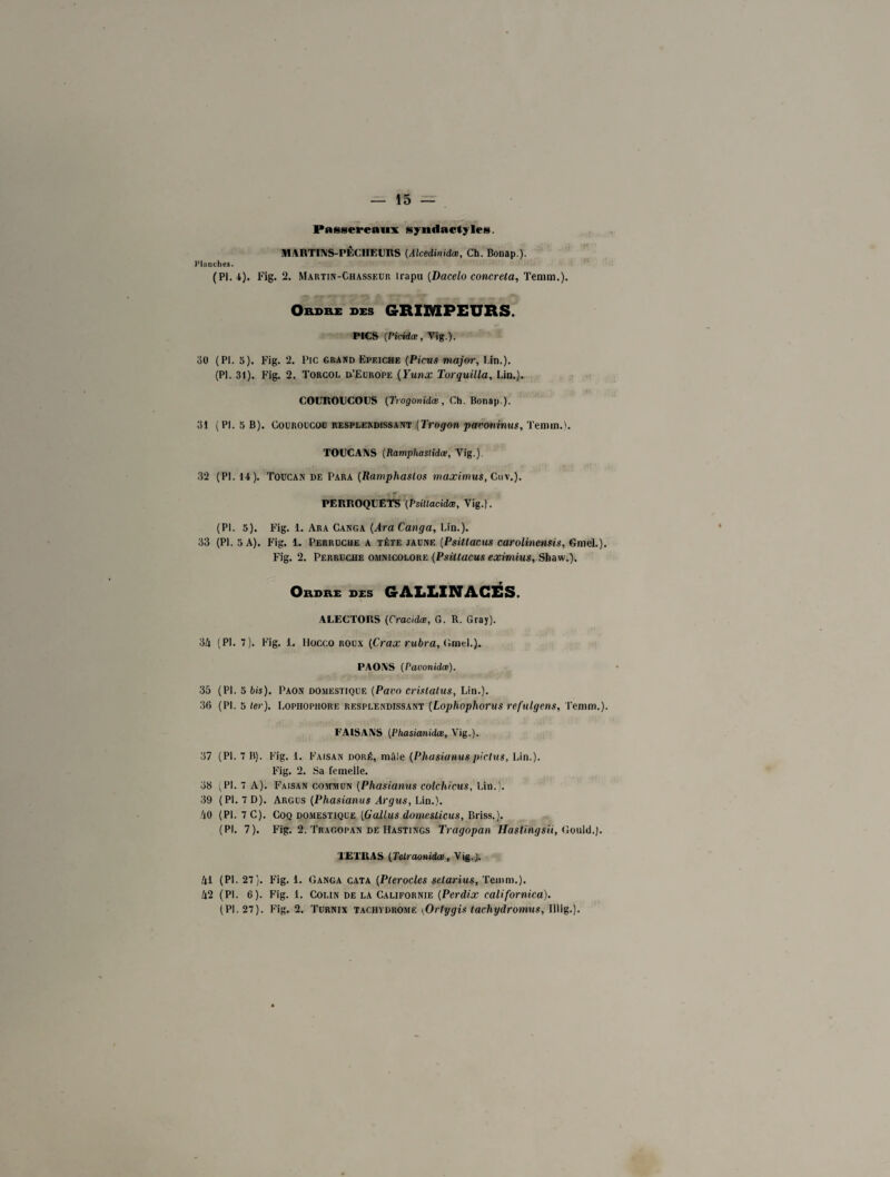 Passereaux syndactyles. MARTINS-PECHEURS (Alcedinidœ, Ch. Bonap.). Planches. (PI. 4). Fig. 2. Martin-Chasseur trapu (Dacelo concrela, Temm.). Ordre des GRIMPEURS. PICS (Picidœ, Vig.). 30 (PI. 5). Fig. 2. Pic grand Epeiche (Picvs major, Un.). (PI. 31). Fig. 2. Torcol Di’Europe (Yunx Torquilla, Lin.). COUROUCOUS (Trogonidœ, Ch. Bonap.). 31 (PI. 5 B). Couroucou resplendissant [Trogon pavonimis, Temm.). TOUCANS (Ramphastidœ, Vig.). 32 (PI. 14). Toucan de Para (Ramphaslos maximus,Cux.). . h . PERROQUETS (Psitlacidæ, Vig.). (PI. 5). Fig. 1. Ara Canga (Ara Canga, Lin.). 33 (PI. 3 A). Fig. 1. Perruche a tête jaune (Psiltacus carolinensis, Gniel.). Fig. 2. Perruche omnicolore (Psülacus eximius, Shaw.). Ordre des GALLINACÉS. ALECTORS (Cracidæ, G. R. Gray). 34 (PI. 7). Fig. 1. llocco roux (Crax rubra, Gmel.}. PAONS (Pavonidæ). 35 (PL 3 bis). Paon domestique (Para crislalus, Lin.). 36 (PI. 5 ter). Lophophore resplendissant (Lophophorus refulgens, Temm.). FAISANS (Phasianidœ, Vig.). 37 (PL 7 B). Fig. 1. Faisan doré, mâle (Phasianus pictus, Lin.). Fig. 2. Sa femelle. 38 ^Pl. 7 A). Faisan commun (Phasianus colchicus. Lin.). 39 (PI.7D). Argus (Phasianus Argus, Lin.). 40 (PL 7 C). Coq domestique (Gallus dornesticus, Briss.). (PI. 7). Fig. 2. Tragopan de Hastings Tragopan Hastingsii, Gould.). TETRAS (Telraonidœ, Vig.)» 41 (PL 27). Fig. 1. Ganga cata (Pterocles selarius, Temm.). 42 (PI. 6). Fig. 1. Colin de la Californie (Perdix californica). (PI. 27). Fig. 2. Turnix tachydrome yOrtygis tachydromus, Illig.).