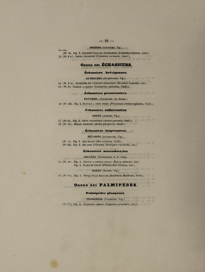 PIGEONS (Columbidce, Vig.; Planches. (PI. 6). Fig. 2. Colombi-Galline poignardée (Columba cruenla, Lath.). A3 (PI. 6 A). Goura couronné (Columba coronala, Gmel.). Ordre des ÉCHASSIERS. Échassiers brévipennes, AUTRUCHES (Slruthionidæ, Vig.). M (Pl. 8 A). Autruche de l'ancien continent (Strulhio Camehis, Lin.). 45 (Pl. 8). Casoar a casque (Casuarius galealus, Vieill.). Échassiers pressirostres. PLUVIERS (Charadridœ, Ch. Bonap.). 46 (PI. 22). Fig. 1. Pluvian a tète noire (Pluvianus melanocephalus, Vieill.). Échassiers cultrirostres. GRUES (Ardeidœ, Vig.). 47 (PI. 9). Fig. 1. Grue couronnée (Ardea pavonia, Gmel.). US (PI. 15). Héron pourpré (Ardea purpurea, Gmel.). Échassiers longirostres. BÉCASSES (Scolopacidœ, Vig.). (Pl. 9). Fig. 2. Ibis huppé (Ibis cristata, Vieill.). (PI. 22). Fig. 2. Bécasse d’Europe (Scolopax rusticola, Lin.). Échassiers macrodactyles. JACANAS (Palamedeidœ, G. R. Gray). V.» (Pl. 10). Fig. 1. Jacana a longue queue (Parra sinensis. Lin.). Fig. 2. Kamichi cornu (Palamcdea eornuta. Lin ). RALES (Rallidæ, Vig.). f>0 (PL 17). Fig. 1. Poule d’eau Bâillon (Gallinula Baillonii, Vieill.). Ordre des PALMIPÈDES Palmipèdes plongeurs. PLONGEONS (Colymbidœ, Vig.).