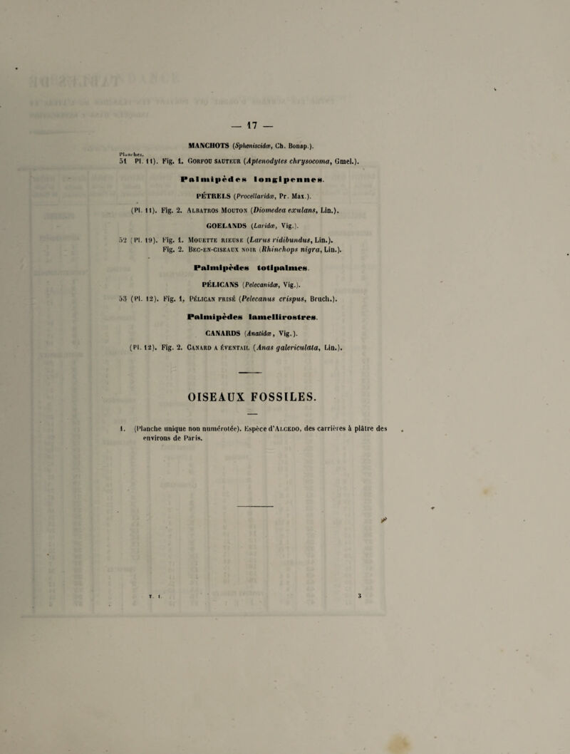 MANCHOTS (Spheniscidœ, Ch. Bonap). Planches. 51 PI. il). Fig. 1. Gorfoü sauteur (Aplenodyles chrysocoma, Gmel.). Palmipèdes I ongi pen nés. PÉTRELS (Procellaridœ, Pr. Max.). (PI. il). Fig. 2. Albatros Mouton [Diomedea ecctilans, Lin.). GOELANDS (Laridce, Vig.). 52 (PI. 19). Fig. 1. Mouette rieuse (Larus ridibundus, Lin.). Fig. 2. Bec-en-ciseaux noir (Rhinchops nigra, Lin.). Palmipèdes totipalmes. PÉLICANS (Pelecanidœ, Vig.). 53 (PI. 12). Fig. 1. Pélican frisé (Pelecanus crispus, Bruch.). Palmipèdes lamellirostres. CANARDS (Anatidce, Vig.). (Pl. 12). Fig. 2. Canard a éventail (Anas galericulata, Lin.). OISEAUX FOSSILES. I. (Planche unique non numérotée). Espèce (I’Alcedo, des carrières à plâtre des environs de Paris. T. I 3