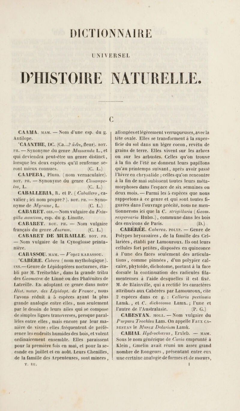 UNIVERSEL D’HISTOIRE NAT I G CAAMA. mam. — Nom d’une esp. du g. Antilope. C A AM UE, DC. (Ca...? avO/3, fleur), bot. pu. — Synonyme du genre Mussœnda L., et qui deviendra peut-être un genre distinct, lorsque les deux espèces qu’il renferme se¬ ront mieux connues. (C. L.) CAAPEBA, Plum. (nom vernaculaire). bot. ph. — Synonyme du genre Cissampe- los, L. (C. L.) CABALLERÏA, R. et P. ( Caballero , ca¬ valier ; ici nom propre ? ). bot. ph. — Syno¬ nyme de My vaine, L. (C. F,.) CAB A B ET. ois.—Nom vulgaire du Frin- gilla montium, esp. du g. Linotte. CABARET, bot. ph. — Nom vulgaire français du genre Asarum. (C. L.) CABARET DE MURAILLE. BOT. PII. — Nom vulgaire de la Cynoglosse printa¬ nière. CABASSOU. mam. — Voyez kabassou. CABÈBE. Cubera ( nom mythologique ). ins.—Genre de Lépidoptères nocturnes, éta¬ bli par M. Treitschke, dans la grande tribu des Geomeirœ de Linné ou des Phalénites de Latreille. En adoptant ce genre dans notre Hisi. natur. des Lépidopt. de France, nous l’avons réduit à 5 espèces ayant la plus grande analogie entre elles, non seulement par le dessin de leurs ailes qui se compose de simples lignes transverses, presque paral¬ lèles entre elles, mais encore par leur ma¬ nière de vivre : elles fréquentent de préfé¬ rence les endroits humides des bois, et volent ordinairement ensemble. Elles paraissent pour la première fois en mai, et pour la se¬ conde en juillet et en août. Leurs Chenilles, de la famille des Arpenteuses, sont minces, allongées etlégèrement verruqueuses,avecla tête ovale. Elles se transforment à la super¬ ficie du sol dans un léger cocon, revêtu de grains de terre. Elles vivent sur les arbres ou sur les arbustes. Celles qu’on trouve à la fin de l’été ne donnent leurs papillons qu’au printemps suivant, après avoir passé l’hiver en chrysalide ; celles qu’on rencontre à la fin de mai subissent toutes leurs méta¬ morphoses dans l’espace de six semaines ou deux mois. — Parmi les 5 espèces que nous rapportons à ce genre et qui sont toutes fi¬ gurées dans l’ouvrage précité, nous ne men¬ tionnerons ici que la C. strigülaria ( Geom. respersaria Hubn.), commune dans les bois des environs de Paris. (D.) CABÉRÉE. Caberea. polyp. — Genre de Polypes bryozoaires , de la famille des Cel- lariées, établi par Lamouroux. Ils ont leurs cellules fort petites, disposées en quinconce à l’une des faces seulement des articula¬ tions , comme pinnées , d’un polypier cal¬ caire, phytoïde, dichotome, portant à la face dorsale la continuation des radicules fila¬ menteuses à l’aide desquelles il est fixé. M. de Blainville, qui a rectifié les caractères attribués aux Cabérées par Lamouroux, cite 2 espèces dans ce g. : Cellaria peciinata Lamk. , et C. dichoioma Lamx. -, l’une et l’autre de l’Australasie. (P. G.) CABESTAN, moll.— Nom vulgaire du Purpura Trochlea Lam. On appelle Faux ca¬ bestan le Murex Dolariurn Lamk. CABLAI. Hydrochærus, Erxleb. — mam. Sous le nom générique de Cavia emprunté à Klein , Gmelin avait réuni un assez grand nombre de Rongeurs , présentant entre eux une certaine analogie de formes et de mœurs,