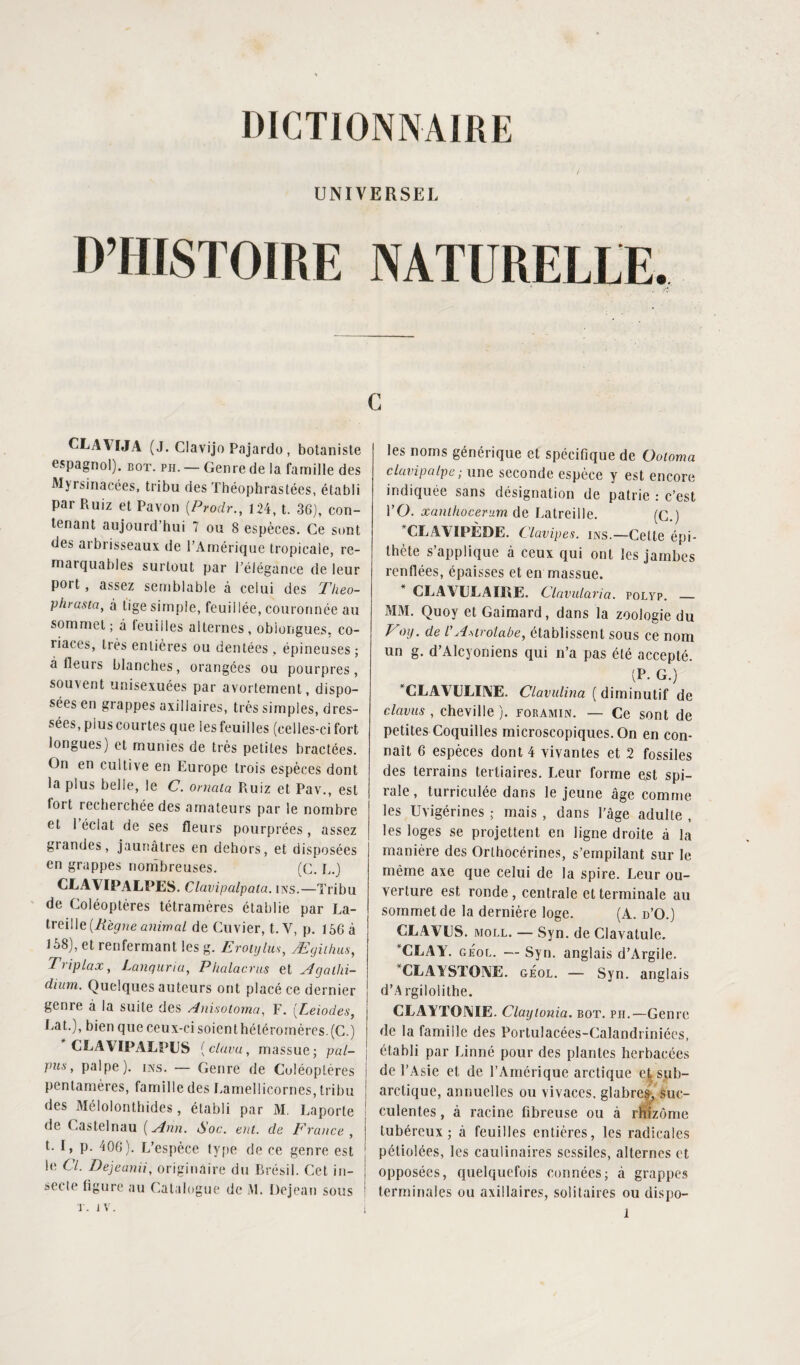 UNIVERSEL D’HISTOIRE NATURELLE, G LEAYIJA (J. Clavijo Pajardo , botaniste espagnol), bot. pu. — Genre de la famille des Myrsinacées, tribu des Théophrastées, établi par Ruiz et Pavon (.Prodr., 124, t. 36), con¬ tenant aujourd’hui 7 ou 8 espèces. Ce sont des arbrisseaux de l’Amérique tropicale, re¬ marquables surtout par l’élégance de leur port, assez semblable à celui des Theo- phrasta, à tige simple, feuillée, couronnée au sommet ; à feuilles alternes , obiongues. co¬ riaces, très entières ou dentées, épineuses; à lleurs blanches, orangées ou pourpres, souvent unisexuées par avortement, dispo¬ sées en grappes axillaires, très simples, dres¬ sées, plus courtes que les feuilles (celles-ci fort longues) et munies de très petites bractées. On en cultive en Europe trois espèces dont la plus belle, le C. oniciia Ruiz et Pav., est fort recherchée des amateurs par le nombre et 1 éclat de ses fleurs pourprées, assez glandes, jaunâtres en dehors, et disposées en grappes nombreuses. (C. L.) CLAVIPALPES. Clavipalpata. ins.—Tribu de Coléoptères tétramères établie par I^a- treill& (Règne animal de Cuvier, t.Y, p. 156 à 158), et renfermant les g. Erotylm, Æyiihus, Triplax, Lunquria, Phalacrus et Agalhi- dium. Quelques auteurs ont placé ce dernier genre à la suite des Anisotorna, F. (Leiodes, Fat.), bien que ceux-ci soient hélérornéres.(C.) CLAYIPALPUS (clavu, massue; pal- j pus, palpe), ins. — Genre de Coléoptères j pentamères, famille des Lamellicornes, tribu j des Mélolonthides, établi par M. Laporte | de Castelnau [Ann. iSoc. eut. de France , t. I, p. 406). L’espèce type de ce genre est le Cl. Dejeami, originaire du Brésil. Cet in- j secte ligure au Catalogue de M. Dejean sous * les noms générique et spécifique de Ootoma clavipalpe ; une seconde espèce y est encore indiquée sans désignation de patrie : c’est l’O. xanihocerum de Latreille. (C.) CEAY IPÈDE. Clavipes. ins.—Cette épi¬ thète s’applique à ceux qui ont les jambes renflées, épaisses et en massue. CEAY CLAIRE. Clavularia. polyp. _ MM. Quoy et Gaimard, dans la zoologie du Voij. de VAstrolabe, établissent sous ce nom un g. d’Alcyoniens qui n’a pas été accepté. (P. G.) *CLAY7CEI]\E. Clavulina ( diminutif de clavus , cheville ). foramin. — Ce sont de petites Coquilles microscopiques. On en con¬ naît 6 espèces dont 4 vivantes et 2 fossiles des terrains tertiaires. Leur forme est spi¬ rale , turriculée dans le jeune âge comme les Uvigérines ; mais , dans l’âge adulte , les loges se projettent en ligne droite à la manière des Orthocérines, s’empilant sur le même axe que celui de la spire. Leur ou¬ verture est ronde , centrale et terminale au sommet de la dernière loge. (A. d’O.) CEA Y CS. MOLL. — Syn. de Clavatule. CEA Y. géol. — Syn. anglais d’Argile. *CLAYSTOïVIE. géol. — Syn. anglais d’Argilolithe. CEAYTOJYIE. Claytonia. bot. pii.—Genre de la famille des Portulacées-Calandriniées, établi par Linné pour des plantes herbacées de l’Asie et de l’Amérique arctique et sub¬ arctique, annuelles ou vivaces, glabres;, suc¬ culentes , à racine fibreuse ou à rhizome tubércux ; à feuilles entières, les radicales pétiolées, les caulinaires scssiles, alternes et opposées, quelquefois connées; à grappes terminales ou axillaires, solitaires ou dispo-