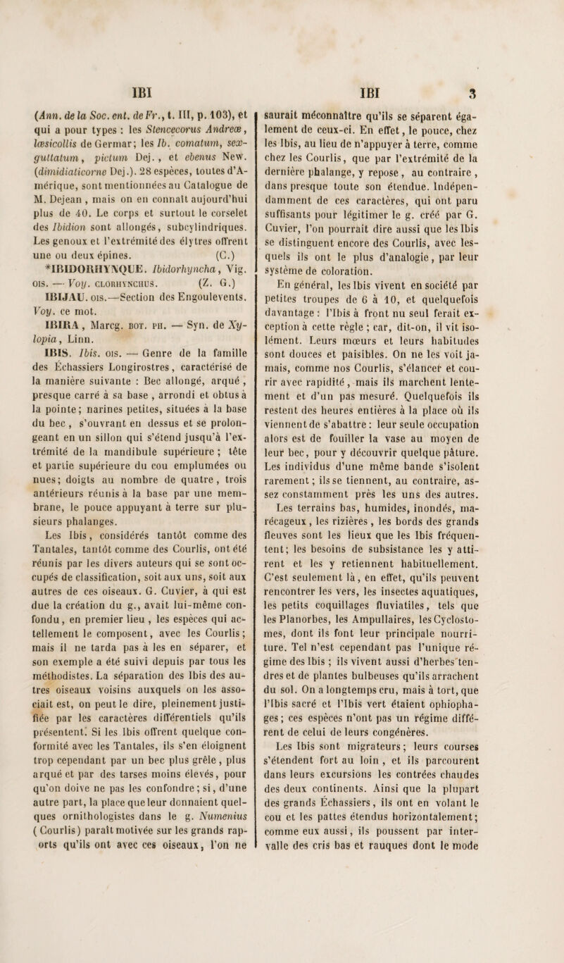 (Ann. de la Soc. ent, de Fr.y t. III, p. 103), çt qui a pour types : les Slencecorus Ândreæ, lœsicollis deGerniar; les Ib. comatum, sex~ guUatum y pictuni Dej. , et chenus New. {dimidialicorne Dej.). 28 espèces, toutes d’A¬ mérique, sont mentionnées au Catalogue de M. Dejean , mais on en connaît aujourd’hui plus de 40. Le corps et surtout le corselet des Ibidion sont allongés, subcylindriques. Les genoux et l’extrémité des élytres offrent une ou deux épines. (G.) '^IBlDOiUIYAQUE. Ibidorhyncha, Vig. OIS. — Voy. CLoniiYNCHUS. (Z. G.) IBIJAU. OIS.—Section des Engoulevents. Voy. ce mot. IBIBA, Marcg, bot. ph. — Syn. de Xy- lopia, Linn. IBIS. Ibis. OIS. — Genre de la famille des Échassiers Longirostres, caractérisé de la manière suivante : Bec allongé, arqué , presque carré à sa base , arrondi et obtus à la pointe; narines petites, situées à la base du bec , s’ouvrant en dessus et se prolon¬ geant en un sillon qui s’étend jusqu’à l’ex¬ trémité de la mandibule supérieure ; tête et partie supérieure du cou emplumées ou nues ; doigts au nombre de quatre, trois antérieurs réunis à la base par une mem¬ brane, le pouce appuyant à terre sur plu¬ sieurs phalanges. Les Ibis, considérés tantôt comme des Tantales, tantôt comme des Courlis, ont été réunis par les divers auteurs qui se sont oc¬ cupés de classification, soit aux uns, soit aux autres de ces oiseaux. G. Cuvier, à qui est due la création du g., avait lui-même con¬ fondu , en premier lieu , les espèces qui ac- tellement le composent, avec les Courlis; mais il ne tarda pas à les en séparer, et son exemple a été suivi depuis par tous les méthodistes. La séparation des Ibis des au¬ tres oiseaux voisins auxquels on les asso¬ ciait est, on peut le dire, pleinement justi¬ fiée par les caractères différentiels qu’ils présentent! Si les Ibis offrent quelque con¬ formité avec les Tantales, ils s’en éloignent trop cependant par un bec plus grêle, plus arqué et par des tarses moins élevés, pour qu’on doive ne pas les confondre; si, d’une autre part, la place que leur donnaient quel¬ ques ornithologistes dans le g. Numenius ( Courlis) paraît motivée sur les grands rap- orts qu’ils ont avec ces oiseaux, l’on ne saurait méconnaître qu’ils se séparent éga¬ lement de ceux-ci. En effet, le pouce, chez les Ibis, au lieu de n’appuyer à terre, comme chez les Courlis, que par l’extrémité de la dernière phalange, y repose , au contraire , dans presque toute son étendue. Indépen¬ damment de ces caractères, qui ont paru suffisants pour légitimer le g. créé par G. Cuvier, l’on pourrait dire aussi que les Ibis se distinguent encore des Courlis, avec les¬ quels ils ont le plus d’analogie, par leur système de coloration. En général, les Ibis vivent en société par petites troupes de 6 à 10, et quelquefois davantage : l’Ibis à front nu seul ferait ex¬ ception à cette règle ; car, dit-on, il vit iso¬ lément. Leurs mœurs et leurs habitudes sont douces et paisibles. On ne les voit ja¬ mais, comme nos Courlis, s’élance!’ et cou¬ rir avec rapidité , mais ils marchent lente¬ ment et d’un pas mesuré. Quelquefois ils restent des heures entières à la place où ils viennent de s’abattre ; leur seule occupation alors est de fouiller la vase au moyen de leur bec, pour y découvrir quelque pâture. Les individus d’une même bande s’isolent rarement; ils se tiennent, au contraire, as¬ sez constamment près les uns des autres. Les terrains bas, humides, inondés, ma¬ récageux , les rizières, les bords des grands fleuves sont les lieux que les Ibis fréquen¬ tent; les besoins de subsistance les y atti¬ rent et les y retiennent habituellement. C’est seulement là, en eflet, qu’ils peuvent rencontrer les vers, les insectes aquatiques, les petits coquillages fluviatiles, tels que les Planorbes, les Ampullaires, lesCyclosto- mes, dont ils font leur principale nourri¬ ture. Tel n’est cependant pas l’unique ré¬ gime des Ibis ; ils vivent aussi d’herbes'ten- dres et de plantes bulbeuses qu’ils arrachent du sol. On a longtemps cru, mais à tort, que l’Ibis sacré et l’Ibis vert étaient ophiopha- ges ; ces espèces n’ont pas un régime diffé¬ rent de celui de leurs congénères. Les Ibis sont migrateurs; leurs courses s’étendent fort au loin , et ils parcourent dans leurs excursions les contrées chaudes des deux continents. Ainsi que la plupart des grands Échassiers, ils ont en volant le cou et les pattes étendus horizontalement; comme eux aussi, ils poussent par inter¬ valle des cris bas et rauques dont le mode