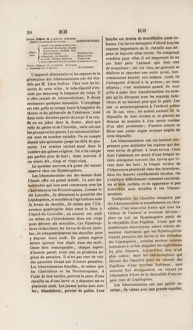 Çalpcs laî#n«« (te 4 artirles. Abdamejti inséré à l'extrémité (lu tliorax. . . . ICHNEtMONlDES. inséré à la partie postéro-sU péi ieurc du thorax. Cuisses postérieures renflées. Pal¬ pes très longs.STKPHANtTKS. comprimé , en faucille. . . OPHiomTES. «iioiidi. Tarière saillante. . PlMmTB.s. non comprimé.Turièi e caclu’e Iciiwl!nMOî;lïES. Palpe.s labiaux de 4 articles. Abdomen , [ implanté sur le thorax.TVANlILiES. L’appareil alimentaire et les organes de la génération des Ichneumoniens ont été étu¬ diés par M. Léon Dufour. Chez tous les in¬ sectes de cette tribu, le tube digestif n ex¬ cède pas beaucoup la longueur du corps. Il n’offre jamais de circonvolutions. Il décrit seulement quelques sinuosités. L’œsophage est très grêle et occupe toute la longueur du thorax et du pédoncule de l’abdomen; mais dans cette dernière partie du corps il se ren¬ fle en un jabot dont la forme, ainsi que celle du gésier et de l’intestin , varie suivant les groupes et les genres.Les vaisseaux biliai¬ res sont en nombre variable. On en compte depuis une quinzaine jusqu’au-delà de qua¬ rante. Les ovaires varient aussi dans le nombrcdes gainesovigères. On n’en compte pas parfois plus de huit ; mais souvent il en existe dix, vingt et vingt-cinq. Le système nerveux n’a point été encore observé chez ces Hyménoptères. Les Ichneumoniens ont des mœurs dont l’étude offre un grand intérêt. Ce sont des habitudes qui leur sont communes avec les Chalcidienset lesProctotrupiens. Comme le dit Latreille , ils détruisent la postérité des Lépidoptères, si nuisibles à l’agriculture sous la forme de chenille, de même que Vlch- neumon quadrupède était censé le faire à l’égard du Crocodile , en cassant ses œufs ou même en s’introduisant dans son corps pour dévorer ses entrailles. Ces Hyménop¬ tères recherchent les larves de divers insec¬ tes ; ils attaquent souvent des chenilles pour y déposer leurs œufs. De petites espèces même opèrent leur dépôt dans des œufs. Chose bien remarquable , chaque espèce d’insecte paraît avoir une ou plusieurs es¬ pèces de parasites. Il n’est pas rare de voir des parasites vivant sur d’autres parasites. Les Ichneumoniens femelles , de même que les Chalcidiens et les Proctotrupiens, à l’aide de leur tarière^ percent la peau d’une chenille ou d’une larve et y déposent un ou plusieurs œufs. Les jeunes larves sont mol¬ les , blanchâtres, privées de pattes. Leur Abtlo- men bouche est munie de mandibules assez ro* bustes. Ces larves ménagent d’abord tous les organes importants de là chenille aux dé¬ pens de laquelle elles vivent. On comprend combien pour elles il est important de ne pas faire périr l’animal qui leur sert de nourriture ; car ces vers, ne pouvant se déplacer et chercher une autre proie, suc¬ comberaient bientôt eux-mêmes. Aussi ils s’attaquent d’abord à la graisse, au tissu adipeux; c’est seulement quand ils sont prêts à subir leur transformation en nym¬ phe qu’ils dévorent tous les organes inté¬ rieurs et ne laissent plus que la peau. Les uns se métamorphosent à l’endroit même où ils ont vécu ; les autres sortent de la dépouille de leur victime et se placent au dessous de manière à s’en servir comme d’un abri protecteur ; d’autres encore se filent une petite coque soyeuse auprès de cette dépouille. Les Ichneumoniens ont un instinct sur¬ prenant pour atteindre les especes qui doi¬ vent servir de pâture à leurs larA'es. Ceux dont l’abdomen est muni d’une longue ta¬ rière atteignent souvent des larves qui vi¬ vent dans des bois , la longue tarière de l’Ichneumon pénétrant dans des interstices, dans des fissures extrêmement étroites. On s’explique difficilement comment ces retrai¬ tes si bien cachées et en apparence si peu accessibles sont décelées à ces Ichneu¬ moniens. Quelquefois les Chenilles attaquées par des Ichneumoniens se transforment en chry¬ salides. C’est sous cette forme que tous les viscères de l’animal se trouvent dévorés : alors on voit un Hyménoptere sortir de la chrysalide d’un Papillon. Avant que de nombreuses observations soient venues dé¬ montrer clairement que ces Hyménoptères étaient parasites des larves et des nymphes des Lépidoptères, certains anciens auteurs donnaient à ce fait singulier les explications les plus bizarres. Aujourd’hui rien n’es't plus connu; mais les entomologistes qui élèvent des Chenilles pour en obtenir des Papillons d’une extrême fraîcheur, sont souvent fort désappointés en voyant un Ichneumon éclore de la chrysalide d’une es¬ pèce rare de Lépidoptère. Les Ichneumoniens ont une agilité ex¬ trême; ils volent avec une grande rapidité.