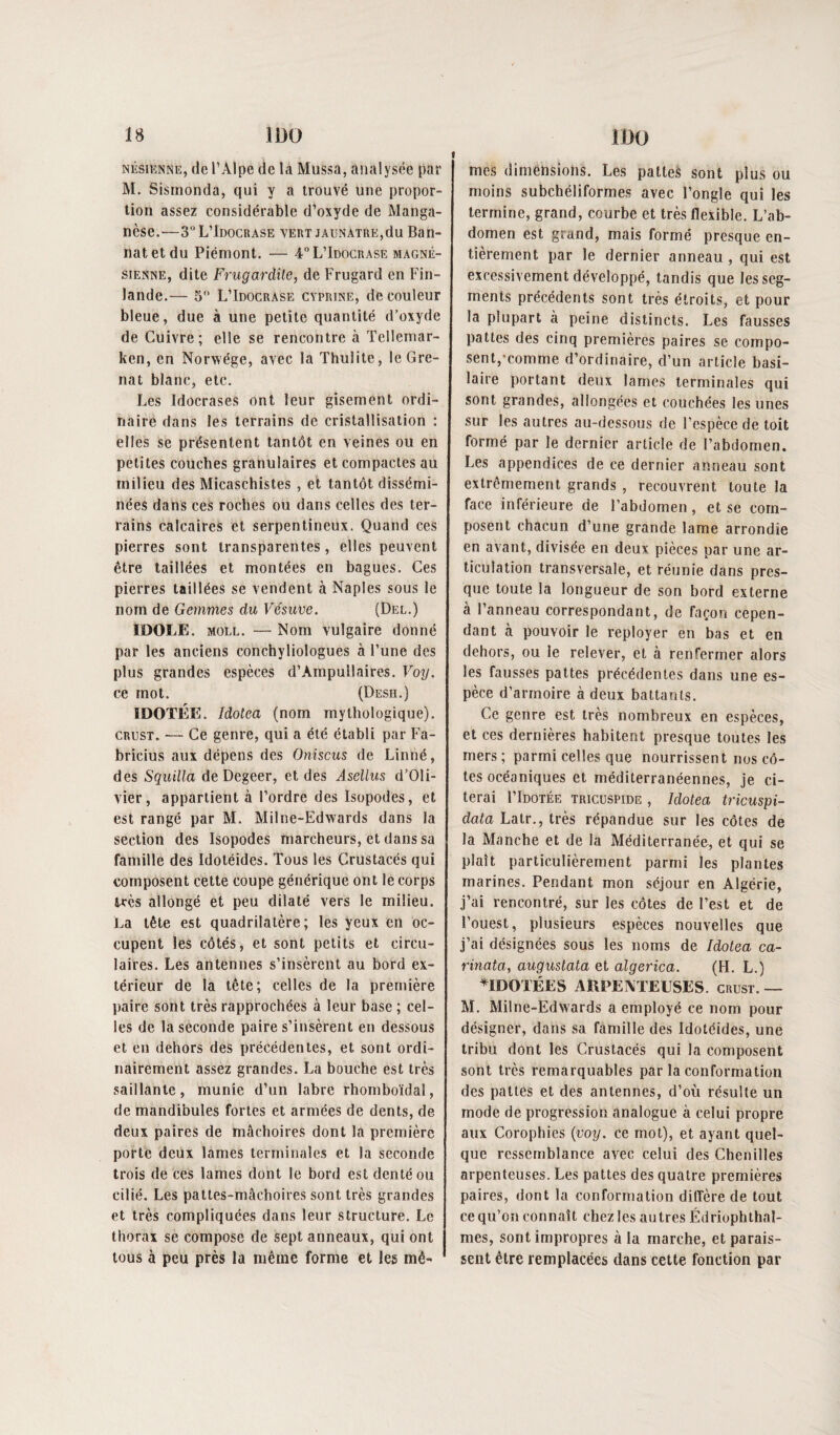 t NÊsiENNE, de TAlpe de la Mussa, analysée par M. Sismonda, qui y a trouvé une propor- lion assez considérable d’oxyde de Manga¬ nèse.—3“ L’Idocrase vert jaunâtre,du Ban- natetdu Piémont. — 4” L’Idocrase magné¬ sienne, dite Frugardite, de Frugard en Fin¬ lande.— 5 L’Idocrase cyprine, de couleur bleue, due à une petite quantité d’oxyde de Cuivre; elle se rencontre à Tellemar- ken, en Norwége, avec la Thulite, le Gre¬ nat blanc, etc. Les IdocraseS ont leur gisement ordi¬ naire dans les terrains de cristallisation ; elles se présentent tantôt en veines ou en petites couches granulaires et compactes au milieu des Micaschistes , et tantôt dissémi¬ nées dans ces roches ou dans celles des ter¬ rains calcaires et serpentineux. Quand ces pierres sont transparentes, elles peuvent être taillées et montées en bagues. Ces pierres taillées se vendent à Naples sous le nom de Gemmes du Vésuve, (Del.) IDOLE. MOLL. — Nom vulgaire donné par les anciens conchyliologues à l’une des plus grandes espèces d’Ampullaires. Voy. ce mot. (Desh.) ÏDOTÉE. Idotea (nom mythologique). CRUST. — Ce genre, qui a été établi par Fa- bricius aux dépens des Oniscus de Liniié, des Squilla de Degeer, et des Asellus d’Oli¬ vier, appartient à l’ordre des Isopodes, et est rangé par M. Milne-Edwards dans la section des Isopodes tnarcheurs, et dans sa famille des Idotéides. Tous les Crustacés qui composent cette coupe générique ont le corps très allongé et peu dilaté vers le milieu. La tête est quadrilatère; les yeuS en oc¬ cupent les côtés, et sont petits et circu¬ laires. Les antennes s’insèrent au bord ex¬ térieur de la tète; celles de la première paire sont très rapprochées à leur base ; cel¬ les de la seconde paire s’insèrent en dessous et en dehors des précédentes, et sont ordi¬ nairement assez grandes. La bouche est très saillante, munie d’un labre rhomboïdal, de mandibules fortes et armées de dents, de deux paires de mâchoires dont la première porté deux lames terminales et la seconde trois de ces lames dont le bord est denté ou cilié. Les pattes-mâchoires sont très grandes et très compliquées dans leur structure. Le thorax se compose de sept anneaux, qui ont tous à peu près la même forme et les mê¬ mes dimensions. Les patteS sont plus ou moins subchéliformes avec l’ongle qui les termine, grand, courbe et très flexible. L’ab¬ domen est grand, mais formé presque en¬ tièrement par le dernier anneau , qui est excessivement développé, tandis que les seg¬ ments précédents sont très étroits, et pour la plupart à peine distincts. Les fausses pattes des cinq premières paires se compo- sent,-comme d’ordinaire, d’un article basi¬ laire portant deux lames terminales qui sont grandes, allongées et couchées les unes sur les autres au-dessous de l’espèce de toit formé par le dernier article de l’abdomen. Les appendices de ce dernier anneau sont extrêmement grands , recouvrent toute la face inférieure de l’abdomen, et se com¬ posent chacun d’une grande lame arrondie en avant, divisée en deux pièces par une ar¬ ticulation transversale, et réunie dans pres¬ que toute la longueur de son bord externe à l’anneau correspondant, de façon cepen¬ dant à pouvoir le reployer en bas et en dehors, ou le relever, et à renfermer alors les fausses pattes précédentes dans une es¬ pèce d’armoire à deux battants. Ce genre est très nombreux en espèces, et ces dernières habitent presque toutes les mers; parmi celles que nourrissent nos cô¬ tes océaniques et méditerranéennes, je ci¬ terai I’Idotée TRICÜSPIDE , Idoteu tricuspi- data Latr., très répandue sur les côtes de la Manche et de la Méditerranée, et qui se plaît particulièrement parmi les plantes marines. Pendant mon séjour en Algérie, j’ai rencontré, sur les côtes de l’est et de l’ouest, plusieurs espèces nouvelles que j’ai désignées sous les noms de Idotea ca¬ rinata, augustata et algerica. (H. L.) ^IDOXÉES ARPENTELSES. crust. — M. Milne-Edwards a employé ce nom pour désigner, dans sa famille des Idotéides, une tribu dont les Crustacés qui la composent sont très remarquables par la conformation des pattes et des antennes, d’où résulte un mode de progression analogue à celui propre aux Corophies {voy. ce mot), et ayant quel¬ que ressemblance avec celui des Chenilles arpenteuses. Les pattes des quatre premières paires, dont la conformation diffère de tout ce qu’on connaît chez les au très Édriophthal- mes, sont impropres à la marche, et parais¬ sent être remplacées dans cette fonction par