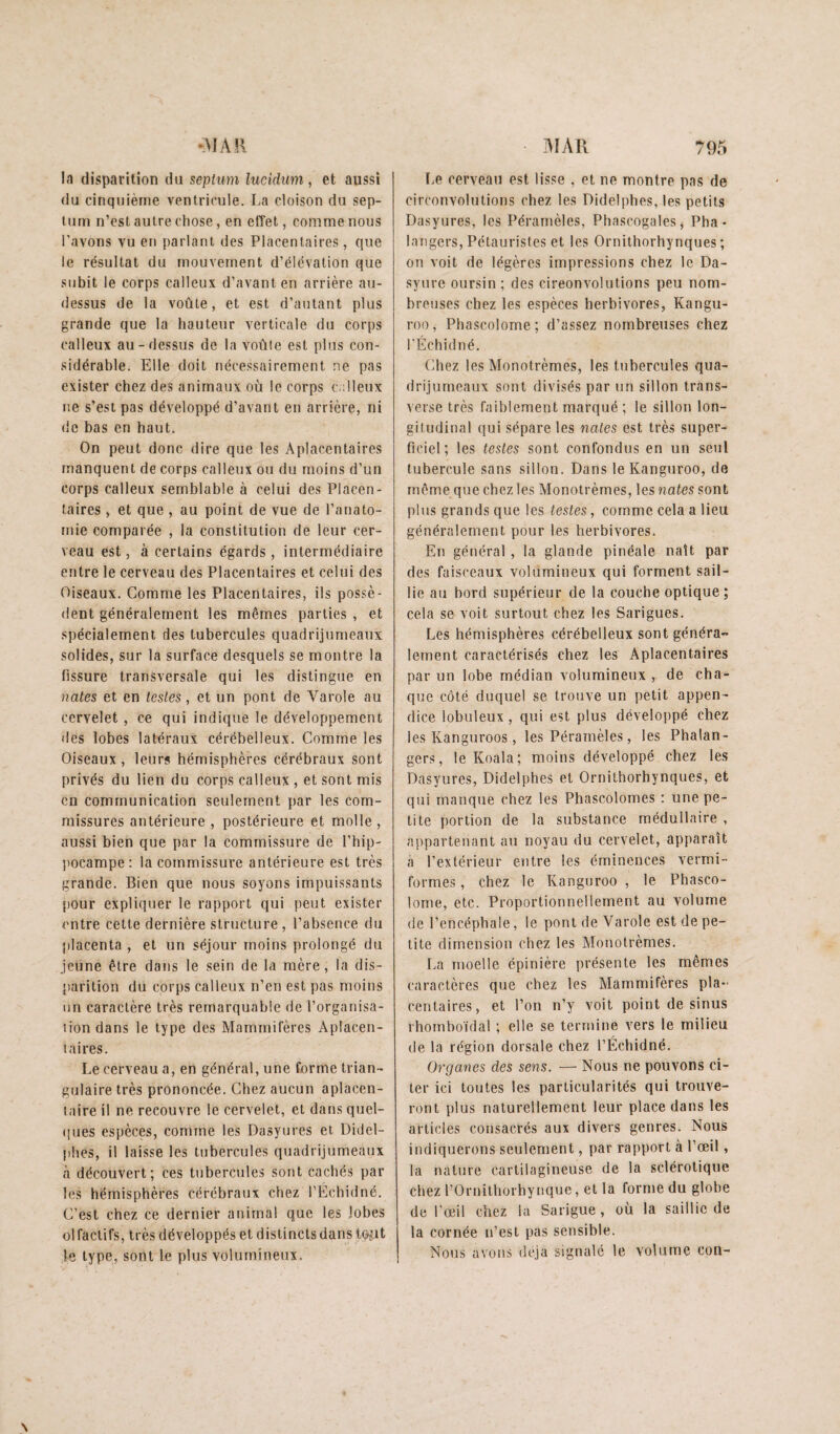 la disparition du septum lucidum, et aussi du cinquième ventricule. La cloison du sep¬ tum n’est autre chose, en effet, comme nous l’avons vu en parlant des Placentaires, que le résultat du mouvement d’élévation que subit le corps calleux d’avant en arrière au- dessus de la voûte, et est d’autant plus grande que la hauteur verticale du corps calleux au-dessus de la voûte est plus con¬ sidérable. Elle doit nécessairement ne pas exister chez des animaux où le corps c ;lieux ne s’est pas développé d’avant en arrière, ni de bas en haut. On peut donc dire que les Aplacentaires manquent de corps calleux ou du moins d’un corps calleux semblable à celui des Placen¬ taires > et que , au point de vue de l’anato- rnie comparée , la constitution de leur cer¬ veau est, à certains égards, intermédiaire entre le cerveau des Placentaires et celui des Oiseaux. Gomme les Placentaires, ils possè¬ dent généralement les mêmes parties , et .spécialement des tubercules quadrijumeaux solides, sur la surface desquels se montre la fissure transversale qui les distingue en nates et en testes, et un pont de Varole au cervelet, ce qui indique le développement des lobes latéraux cérébelleux. Comme les Oiseaux, leurs hémisphères cérébraux sont privés du lien du corps calleux , et sont mis en communication seulement par les com¬ missures antérieure , postérieure et molle , aussi bien que par la commissure de l’hip¬ pocampe: la commissure antérieure est très grande. Bien que nous soyons impuissants [)Our expliquer le rapport qui peut exister entre cette dernière structure , l’absence du placenta , et un séjour moins prolongé du Jeune être dans le sein de la mère, la dis¬ parition du corps calleux n’en est pas moins un caractère très remarquable de l’organisa- lion dans le type des Mammifères Aplacen¬ taires. Le cerveau a, en général, une forme trian¬ gulaire très prononcée. Chez aucun aplacen- laire il ne recouvre le cervelet, et dans quel- (lues espèces, comme les Dasyures et Didel- phes, il laisse les tubercules quadrijumeaux à découvert; ces tubercules sont cachés par les hémisphères cérébraux chez l’Échidué. C’est chez ce dernier animal que les lobes ol faclifs, très développés et distincts dans tqjit ie type, sont le plus volumineux. Le cerveau est lisse , et ne montre pas de circonvolutions chez les Didelphes, les petits Dasyures, les Pérarnèles, Phascogales, Pha • langers, Pétauristes et les Ornithorhynques ; on voit de légères impressions chez le Da- syure oursin ; des cireonvolutions peu nom¬ breuses chez les espèces herbivores, Kangu- roo, Phascolome; d’assez nombreuses chez l'Échid né. Chez les Monotrèmes, les tubercules qua¬ drijumeaux sont divisés par un sillon trans- verse très faiblement marqué ; le sillon lon¬ gitudinal qui sépare les nates est très super¬ ficiel ; les testes sont confondus en un seul tubercule sans sillon. Dans le Kanguroo, de même que chez les Monotrèmes, les nates sont plus grands que les testes, comme cela a lieu généralement pour les herbivores. En général , la glande pinéale naît par des faisceaux volumineux qui forment sail¬ lie au bord supérieur de la couche optique; cela se voit surtout chez les Sarigues, Les hémisphères cérébelleux sont généra¬ lement caractérisés chez les Aplacentaires par un lobe médian volumineux, de cha¬ que côté duquel se trouve un petit appen¬ dice lobuleux , qui est plus développé chez les Kanguroos, les Pérarnèles, les Phalan- gers, le Koala; moins développé chez les Dasyures, Didelphes et Ornithorhynques, et qui manque chez les Phascolomes : une pe¬ tite portion de la substance médullaire , appartenant au noyau du cervelet, apparaît à l’extérieur entre les éminences vermi- formes, chez le Kanguroo , le Phasco¬ lome, etc. Proportionnellement au volume (le l’encéphale, le pont de Varole est de pe¬ tite dimension chez les Monotrèmes. La moelle épinière présente les mêmes caractères que chez les Mammifères pla¬ centaires, et l’on n’y voit point de sinus rhomboïdal ; elle se termine vers le milieu de la région dorsale chez l’Échidné. Organes des sens. — Nous ne pouvons ci¬ ter ici toutes les particularités qui trouve¬ ront plus naturellement leur place dans les articles consacrés aux divers genres. Nous indiquerons seulement, par rapport à l’œil, la nature cartilagineuse de la sclérotique chez rOrnithorhynque, et la forme du globe de l’œil chez la Sarigue, où la saillie de la cornée n’est pas sensible. Nous avons déjà signalé le volume con-