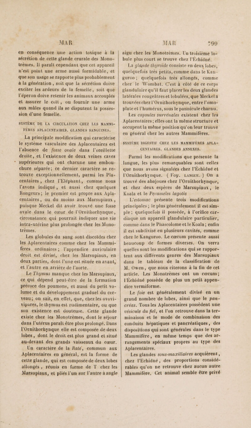 en conséquence une action toxique à la sécrétion de cette glande crurale des Mono- trènies. Il paraît cependant que cet appareil n’est point une arme aussi formidable, et que son usage se rapporte plus probablement à la génération , soit que la sécrétion doive exciter les ardeurs de la femelle, soit que l’éperon doive retenir les animaux accouplés et assurer le cuit, ou fournir une arme aux mâles quand ils se disputent la posses¬ sion d’une femelle. SYSTÈME DE LA CIRCULATION CHEZ LES MAMMI¬ FÈRES APLACENTAIRES. GLANDES SANGUINES. La principale modification qui caractérise le système vasculaire des Aplacentaires est l’absence de fosse ovale dans l’oreillette droite, et l’existence de deux veines caves • supérieures qui ont chacune une embou¬ chure séparée; ce dernier caractère se re¬ trouve exceptionnellement, parmi les Pla¬ centaires, chez l’Eléphant, comme nous l’avons indiqué, et aussi chez quelques Rongeurs; le premier est propre aux Apla¬ centaires, ou du moins aux Marsupiaux, puisque Meckel dit avoir trouvé une fosse ovale dans le cœur de l’Ornithorhynque, circonstance qui pourrait indiquer une vie intra-utérine plus prolongée chez les Mono- trèmes. Les globules du sang sont discoïdes chez les Aplacentaires comme chez les Mammi¬ fères ordinaires ; l’appendice auriculaire droit est divisé, chez les Marsupiaux, en deux parties, dont l’une est s-ituée en avant, et l’autre en arrière de l’aorte. Le Thymus manque chez les Marsupiaux, ce qui dépend peut-être de la formation précoce des poumons, et aussi du petit vo¬ lume et du développement graduel du cer¬ veau; on sait, en efiet, que, chez les ovovi¬ vipares, le thymus est rudimentaire, ou que son existence est douteuse. Cette glande existe chez les Monotrèmes, dont le séjour dans l’utérus paraît être plus prolongé. Dans rOrnithorhynque elle est composée de deux lobes, dont le droit est plus grand et situé au-devant des grands vaisseaux du cœur. Un caractère de la Rate, commun aux Aplacentaires en général, est la forme de cette glande, qui est composée de deux lobes allongés , réunis en forme de T chez les Marsupiaux, et pliés l’un sur l’autre à angle aigu chez les Monotrèmes. Un troisième lo¬ bule plus court se trouve chez l’Échidné. La gloûide thyroïde consiste en deux lobes, quelquefois très petits, comme dans le Kan - guroo ; quelquefois très allongés, comme chez le Wombat. C’est à côté de ce corps glandulaire qu’il faut placer les deux glandes latérales rougeâtres et lobulées, que Meckel a trouvées chez l’Ornithorhynque, entre l’omo¬ plate et l’humérus, sous le panniculecharnu. Les capsules surrénales existent chez les Aplacentaires; elles ont la même structure et occupent la même position qu’on leur trouve en général chez les autres Mammifères. SYSTÈME DIGESTIF CHEZ LES MAMMIFÈRES APLA¬ CENTAIRES. GLANDES ANNEXES. Parmi les modifications que présente la langue, les plus remarquables sont celles que nous avons signalées chez l’Échidné et rOrnithorhynque. ( Voy. langue. ) On a trouvé des abajoues chez l’Ornithorhynque, et chez deux espèces de Marsupiaux, le Koala et le Perameles lagotis L'estomac présente trois modifications principales ; le plus généralement il est sim¬ ple ; quelquefois il possède, à l’orifice car¬ diaque un appareil glandulaire particulier, comme dans le PhascolomeetleKoala; enfin il est subdivisé en plusieurs cavités, comme chez le Kanguroo. Le cæcum présente aussi beaucoup de formes diverses. On verra quelles sont les modifications qui se rappor¬ tent aux dilférents genres des Marsupiaux dans le tableau de la classification de M. Owen, que nous citerons à la fin de cet article. Les Monotrèmes ont un cæcum ; l’Échidné possède de plus un petit appen¬ dice vermiforme. Le foie est généralement divisé en un grand nombre de lobes, ainsi que le pan¬ créas. Tous les Aplacentaires possèdent une vésicule du fiel, et l’on retrouve dans la ter¬ minaison et le mode de combinaison des conduits hépatiques et pancréatiques, des dispositions qui sont générales dans le type Mammifère, en même temps que des ar¬ rangements spéciaux propres au type des Aplacentaires. Les glandes sous-maxillaires acquièrent, chez l’Echidiié, des proportions considé¬ rables qu’on ne retrouve chez aucun autre Mammifère. Cet animal semble être privé